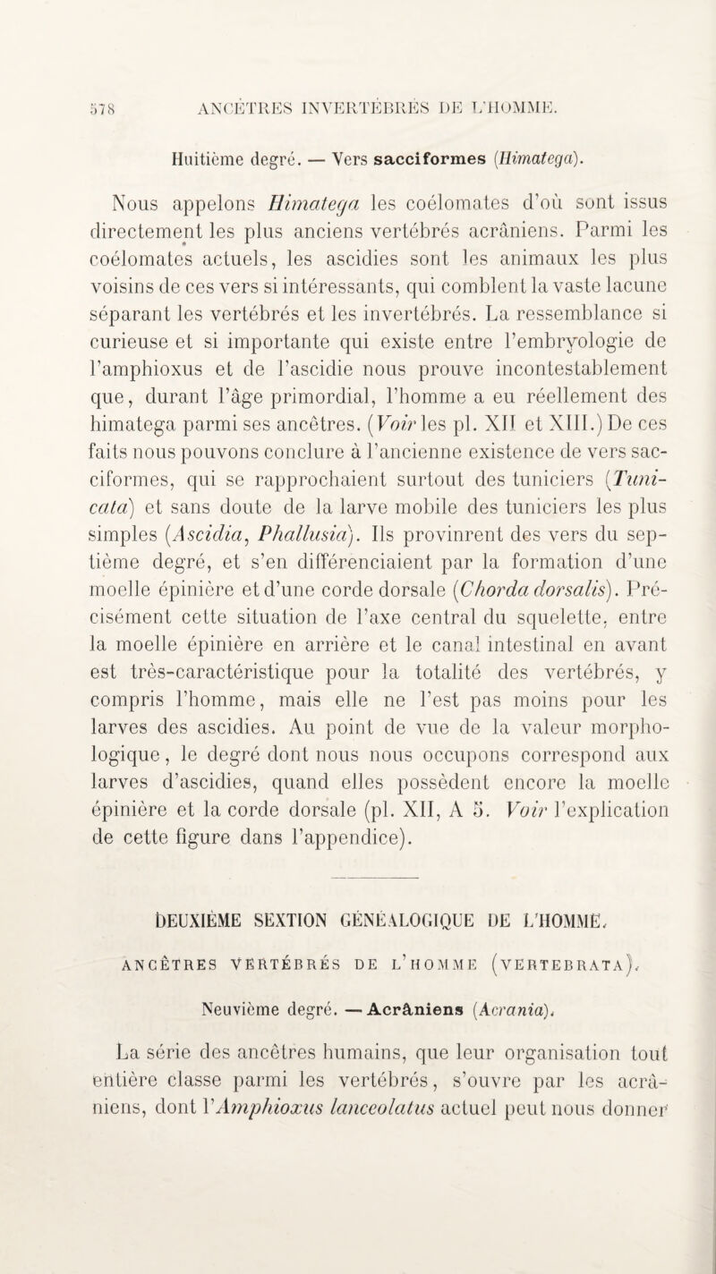 Huitième degré. — Vers sacciformes (Himatega). Nous appelons Himatega les coélomates d’où sont issus directement les plus anciens vertébrés acrâniens. Parmi les coélomates actuels, les ascidies sont les animaux les plus voisins de ces vers si intéressants, qui comblent la vaste lacune séparant les vertébrés et les invertébrés. La ressemblance si curieuse et si importante qui existe entre l’embryologie de l’amphioxus et de l’ascidie nous prouve incontestablement que, durant l’âge primordial, l’homme a eu réellement des himatega parmi ses ancêtres. [Voir les pl. XII et XIII.) De ces faits nous pouvons conclure à l’ancienne existence de vers sac¬ ciformes, qui se rapprochaient surtout des tuniciers (T uni- cala) et sans doute de la larve mobile des tuniciers les plus simples (Asciclia, Phallusia). Ils provinrent des vers du sep¬ tième degré, et s’en différenciaient par la formation d’une moelle épinière et d’une corde dorsale (Cfiorda dorsalis). Pré¬ cisément cette situation de l’axe central du squelette, entre la moelle épinière en arrière et le canal intestinal en avant est très-caractéristique pour la totalité des vertébrés, y compris l’homme, mais elle ne l’est pas moins pour les larves des ascidies. Au point de vue de la valeur morpho¬ logique , le degré dont nous nous occupons correspond aux larves d’ascidies, quand elles possèdent encore la moelle épinière et la corde dorsale (pl. XII, A h. Voir l’explication de cette figure dans l’appendice). DEUXIÈME SEXTION GÉNÉALOGIQUE DE L'HOMME, ANCÊTRES VERTÉBRÉS DE L’HOMME ( VERTEB RATA), Neuvième degré. — Acrâniens (Acrania), La série des ancêtres humains, que leur organisation tout entière classe parmi les vertébrés, s’ouvre par les acrà- niens, dont VAmphioxus lanceolatus actuel peut nous donner