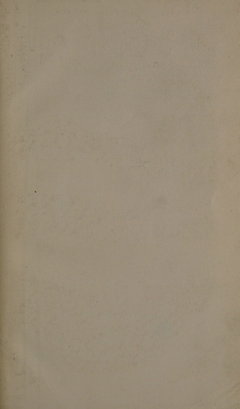 Tee Tae FEAR I Sy ty pay oe ; ‘ ‘> +