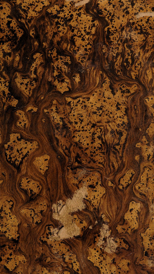 digitised image 1