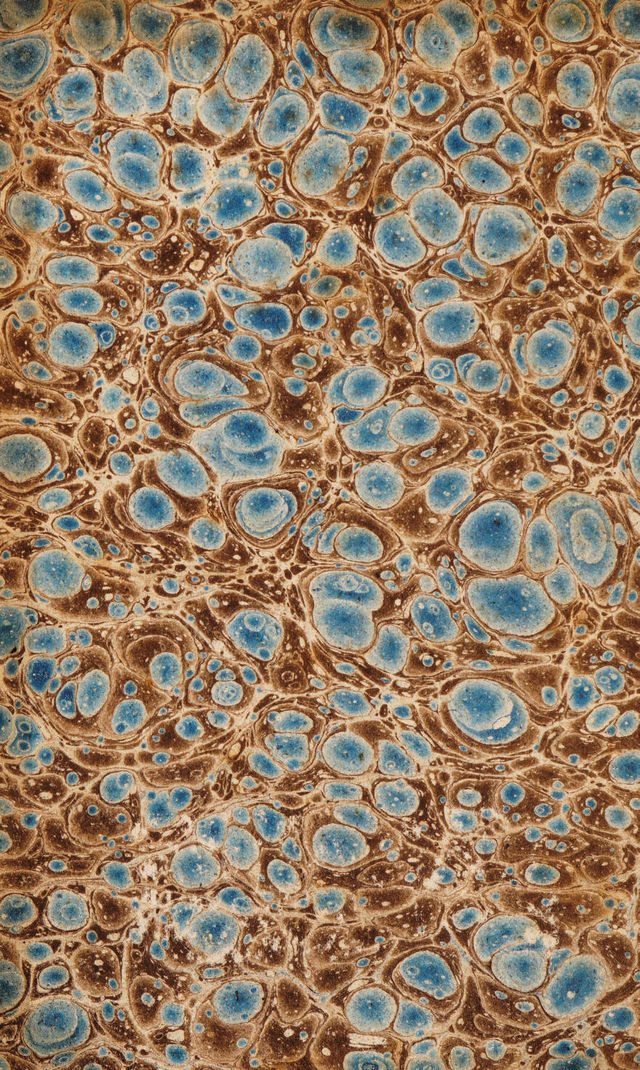 digitised image 2