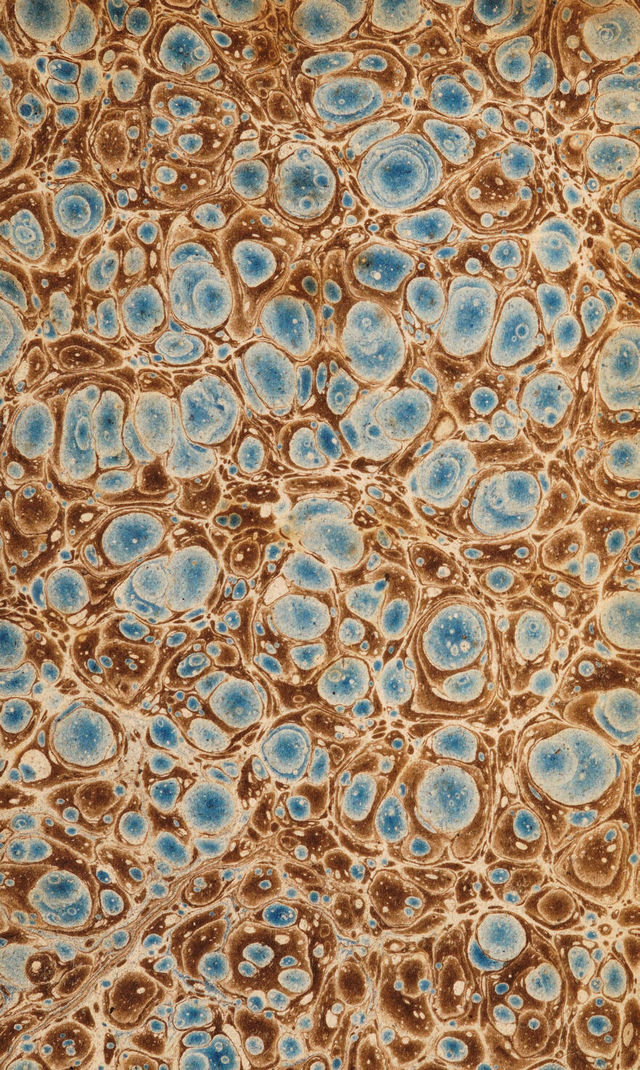 digitised image 3