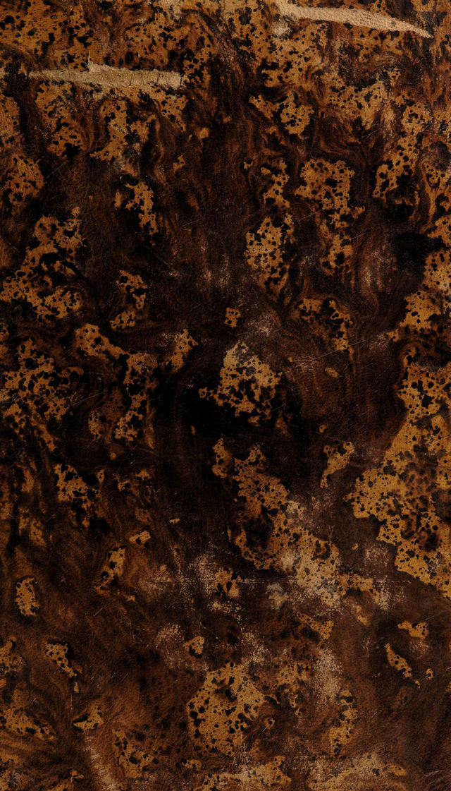 digitised image 1