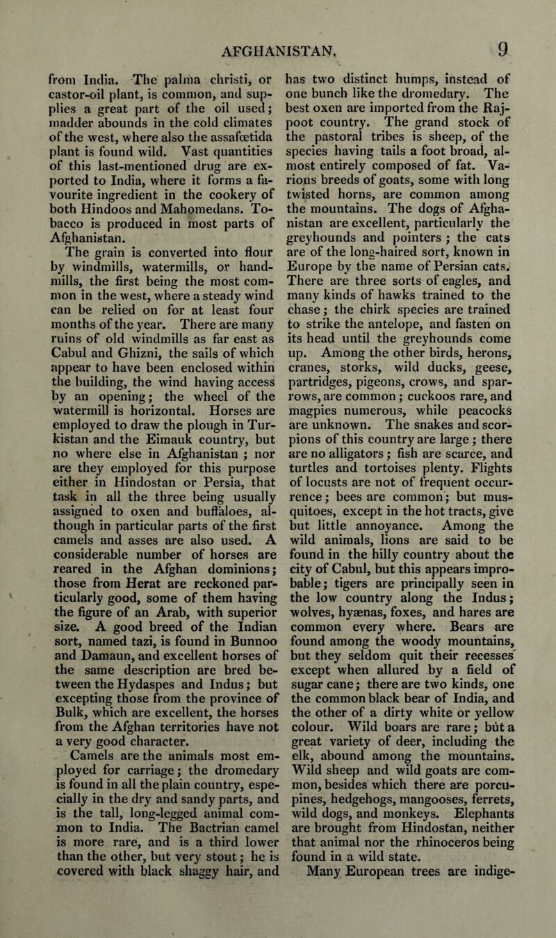 from India. The palma christi, or castor-oil plant, is common, and sup¬ plies a great part of the oil used; madder abounds in the cold climates of the west, where also the assafcetida plant is found wild. Vast quantities of this last-mentioned drug are ex¬ ported to India, where it forms a fa¬ vourite ingredient in the cookery of both Hindoos and Mahomedans. To¬ bacco is produced in most parts of Afghanistan. The grain is converted into flour by windmills, watermills, or hand- mills, the first being the most com¬ mon in the west, where a steady wind can be relied on for at least four months of the year. There are many ruins of old windmills as far east as Cabul and Ghizni, the sails of which appear to have been enclosed within the building, the wind having access by an opening; the wheel of the watermill is horizontal. Horses are employed to draw the plough in Tur- kistan and the Eimauk country, but no where else in Afghanistan ; nor are they employed for this purpose either in Hindostan or Persia, that task in all the three being usually assigned to oxen and buffaloes, al¬ though in particular parts of the first camels and asses are also used. A considerable number of horses are reared in the Afghan dominions; those from Herat are reckoned par¬ ticularly good, some of them having the figure of an Arab, with superior size. A good breed of the Indian sort, named tazi, is found in Bunnoo and Damaun, and excellent horses of the same description are bred be¬ tween the Hydaspes and Indus; but excepting those from the province of Bulk, which are excellent, the horses from the Afghan territories have not a very good character. Camels are the animals most em¬ ployed for carriage; the dromedary is found in all the plain country, espe¬ cially in the dry and sandy parts, and is the tall, long-legged animal com¬ mon to India. The Bactrian camel is more rare, and is a third lower than the other, but very stout; he is covered with black shaggy hair, and has two distinct humps, instead of one bunch like the dromedary. The best oxen are imported from the Raj¬ poot country. The grand stock of the pastoral tribes is sheep, of the species having tails a foot broad, al¬ most entirely composed of fat. Va¬ rious breeds of goats, some with long twisted horns, are common among the mountains. The dogs of Afgha¬ nistan are excellent, particularly the greyhounds and pointers ; the cats are of the long-haired sort, known in Europe by the name of Persian cats. There are three sorts of eagles, and many kinds of hawks trained to the chase; the chirk species are trained to strike the antelope, and fasten on its head until the greyhounds come up. Among the other birds, herons, cranes, storks, wild ducks, geese, partridges, pigeons, crows, and spar¬ rows, are common; cuckoos rare, and magpies numerous, while peacocks are unknown. The snakes and scor¬ pions of this country are large ; there are no alligators; fish are scarce, and turtles and tortoises plenty. Flights of locusts are not of frequent occur¬ rence ; bees are common; but mus- quitoes, except in the hot tracts, give but little annoyance. Among the wild animals, lions are said to be found in the hilly country about the city of Cabul, but this appears impro¬ bable ; tigers are principally seen in the low country along the Indus; wolves, hyaenas, foxes, and hares are common every where. Bears are found among the woody mountains, but they seldom quit their recesses' except when allured by a field of sugar cane; there are two kinds, one the common black bear of India, and the other of a dirty white or yellow colour. Wild boars are rare; but a great variety of deer, including the elk, abound among the mountains. Wild sheep and wild goats are com¬ mon, besides which there are porcu¬ pines, hedgehogs, mangooses, ferrets, wild dogs, and monkeys. Elephants are brought from Hindostan, neither that animal nor the rhinoceros being found in a wild state. Many European trees are indige-