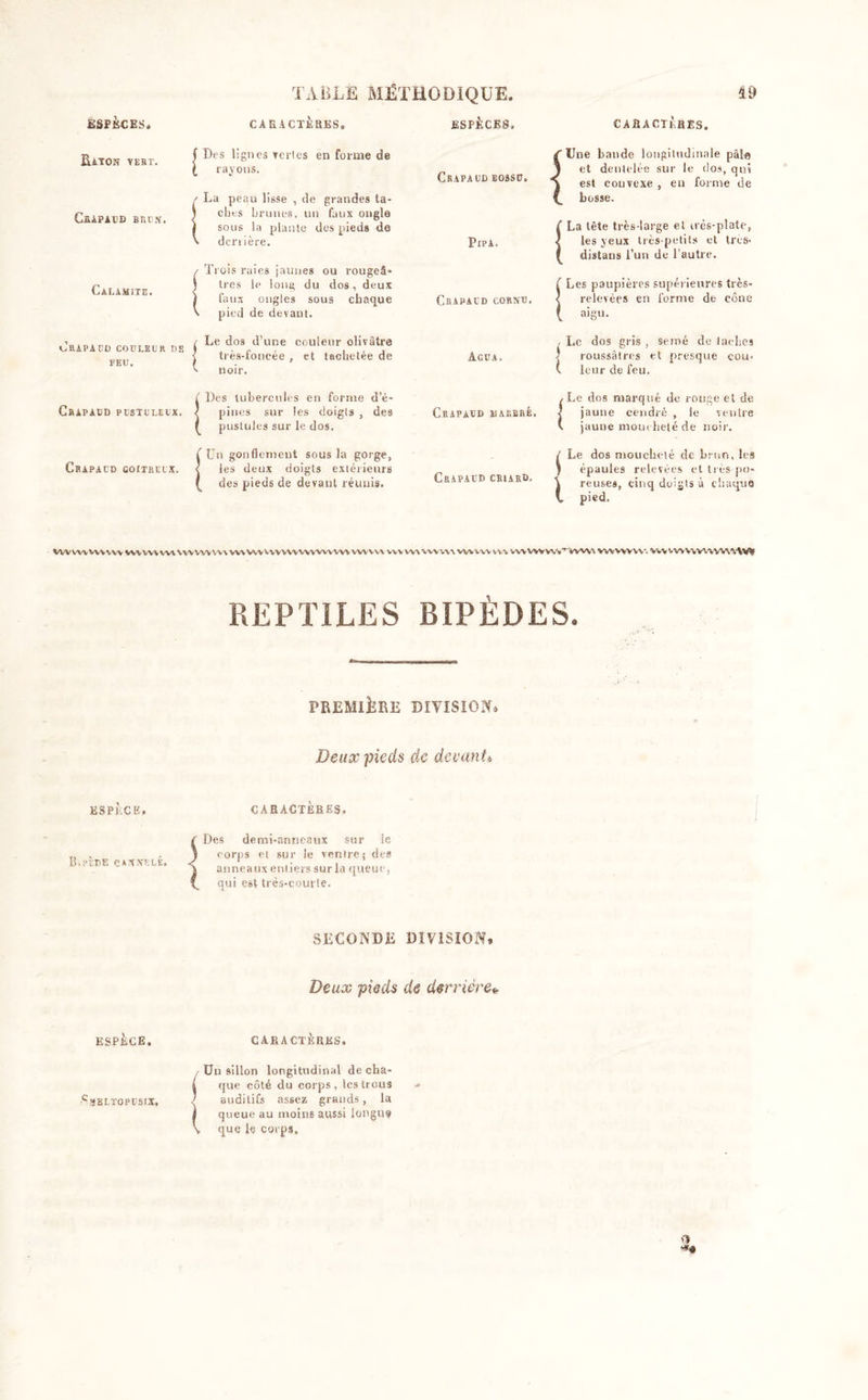 ESPECES. Raton vert. CsAPAUD BRUN. Calamité. A.RAPA DD COULEUR DS FEU. Crapaud pustuleux. Crapaud goitreux. CARACTERES. Dus lignes rcrlcs en forme de rayons. La peau lisse , de grandes ta- ches brunes, un faux ongle sous la plante des pieds de • derrière. • Trois raies jaunes ou rougeâ- tres le long du dos, deux faux ongles sous chaque &gt; pied de devant. Le dos d’une couleur olivâtre très-foncée , et tachetée de noir. é De I ! Des tubercules en forme d’é- pines sur les doigts , des pustules sur le dos. 'Un gonflement sous la gorge, les deux doigts extérieurs des pieds de devant réunis. ESPÈCES. Crapaud bossu. 1 Pipa. Crapaud cornu. ÂGUA. Crapaud ai arbre. Crapaud criard, CARACTERES. Une bande longitudinale pâle et dentelée sur le dos, qui est convexe , en forme de bosse. SLa tête très-large et ifès-plate» les yeux très-petits et très- distans l’un de l’autre. SLes paupières supérieures très- relevées en forme de cône aigu. , Le dos gris , semé de taches | roussâtres et presque cou- ( leur de feu. .Le dos marqué de rouge et de 1 jaune cendré , le ventre \ jaune moucheté de noir. Le dos moucheté de brun, les épaules relevées et très po- \ reuses, cinq doigts à chaque t pied. i VWVW WWW VW WV VU VWVW W\ W\ VWVW WV WWW WV VWVW WV vu WWW vu vw vw vw wv wV*Vvw\ vwwvvv. vw vwvwvwwvWp REPTILES BIPÈDES. PREMIÈRE DIVISION» Deux pieds de devant» ESPÈCE. CARACTÈRES. Bipède caxselé. X Des demi-anneaux sur le corps et sur le ventre ; des anneaux entiers sur la queue, qui est très-courte. .SECONDE DIVISION, Deux pieds de derrière* ESPÈCE. CARACTÈRES. / Un sillon longitudinal de cha- i que côté du corps, les trous auditifs assez grands, la ï queue au moins aussi longue \ que le corps. •c38LTOPUSIX.