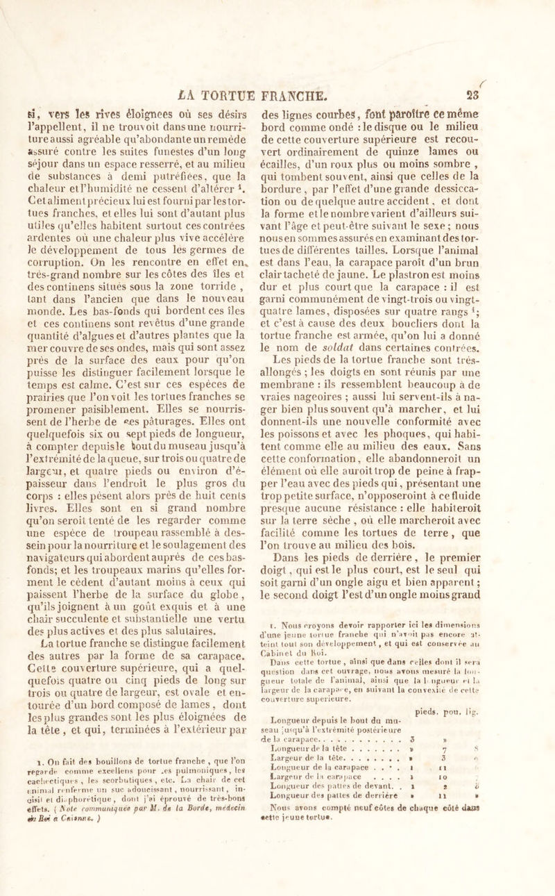 si, vers les rives éloignées où ses désirs l’appellent, il ne trou\oit dans une nourri- ture aussi agréable qu’abondante un remède assuré contre les suites funestes d’un long séjour dans un espace resserré, et au milieu de substances à demi putréfiées, que la chaleur et l’humidité ne cessent d’altérer b Cet aliment précieux lui est fourni par les tor- tues franches, et elles lui sont d’autant plus utiles qu’elles habitent surtout ces contrées ardentes où une chaleur plus vive accélère le développement de tous les germes de corruption. On les rencontre en effet en» très-grand nombre sur les côtes des îles et des continens situés sous la zone torride , tant dans l’ancien que dans le nom eau monde. Les bas-fonds qui bordent ces îles et ces continens sont revêtus d’une grande quantité d’algues et d’autres plantes que la mer couvre de scs ondes, mais qui sont assez près de la surface des eaux pour qu’on puisse les distinguer facilement lorsque le temps est calme. C’est sur ces espèces de prairies que l’on voit les tortues franches se promener paisiblement. Elles se nourris- sent de l’herbe de «.es pâturages. Elles ont quelquefois six ou sept pieds de longueur, à compter depuisle bout du museau jusqu’à l’extrémité de la queue, sur trois ou quatre de largeur, et quatre pieds ou environ d’é- paisseur dans l’endroit le plus gros du corps : elles pèsent alors près de huit cents livres. Elles sont en si grand nombre qu’on seroit tenté de les regarder comme une espèce de troupeau rassemblé à des- sein pour la nourriture et le soulagement des navigateurs qui abordent auprès de ces bas- fonds; et les troupeaux marins qu’elles for- ment le cèdent d’autant moins à ceux qui paissent l’herbe de la surface du globe , qu’ils joignent à un goût exquis et à une chair succulente et substantielle une vertu des plus actives et des plus salutaires. La tortue franche se distingue facilement des autres par la forme de sa carapace. Cette couverture supérieure, qui a quel- quefois quatre ou cinq pieds de long sur trois ou quatre de largeur, est ovale et en- tourée d’un bord composé de lames , dont les plus grandes sont les plus éloignées de la tète , et qui, terminées à l’extérieur par 1. On fait des bouillons de tortue franche , que l’on regarde comme excellons pour .es pulmoniques, les cachectiques , les scorbutiques , etc. La chair de cel t.nimal renferme un suc adoucissant, nourrissant, in- oisil et diaphonique, dont j’ai éprouvé de très-bons effets. ( Note communiquée par M. de la Borde, médecin ekiBoi a Cmiwe* ) des lignes courbes, font paroître ce même bord comme ondé : le disque ou le milieu de cette couverture supérieure est recou- vert ordinairement de quinze lames ou écailles, d’un roux plus ou moins sombre , qui tombent souvent, ainsi que celles de la bordure, par l’effet d’une grande dessicca- tion ou de quelque autre accident, ef dont la forme etle nombrevarient d’ailleurs sui- vant l’âge et peut-être suivant le sexe ; nous nous en sommes assurés en examinant des tor- tues de différentes tailles. Lorsque l’animal est dans l’eau, la carapace paroît d’un brun clair tacheté de jaune. Le plastron est moins dur et plus court que la carapace : il est garni communément de vingt-trois ou vingt- quatre lames, disposées sur quatre rangs l; et c’est à cause des deux boucliers dont la tortue franche est année, qu’on lui a donné le nom de soldat dans certaines contrées. Les pieds de la tortue franche sont trés- allongés ; les doigts en sont réunis par une membrane : ils ressemblent beaucoup à de vraies nageoires ; aussi lui servent-ils à na- ger bien plus souvent qu’à marcher, et lui donnent-ils une nouvelle conformité avec les poissons et avec les phoques, qui habi- tent comme elle au milieu des eaux. Sans cette conformation, elle abandonneroil un élément où elle auroittrop de peine à frap- per l’eau avec des pieds qui, présentant une trop petite surface, n’opposeroint à ce fluide presque aucune résistance : elle habiteroit sur la terre sèche , où elle marcheroit avec facilité comme les tortues de terre , que l’on trouve au milieu des bois. Dans les pieds de derrière , le premier doigt, qui est le plus court, est le seul qui soit garni d’un ongle aigu et bien apparent ; le second doigt l’est d’un ongle moins grand r. Nous croyons devoir rapporter ici les dimensions d’une jeune tonue franche qui n’avoit pas encore at- teint tout son développement, et qui est conservée au Cabinet du Koi. Dans cette tortue, ainsi que dans relies dont il serai question dans cet ouvrage, nous avons mesuré la lon- gueur totale du l'animal, ainsi que la b ligueur ei la largeur de la carapace, en suivant la convexité de cette couverture supérieure. pieds, pou. lig. Longueur depuis le bout du mu- seau jusqu’à l’extrémité postérieure fde la carapace 3 » Longueur de la tête » 7 S Largeur de la tête » 3 0 Longueur de la carapace . . • . 1 11 Largeur de la carapace .... » 10 Longueur des patles de devant. .1 î i. Longueur des pattes de derrière » 11 » Nous avons compté neuf côtes de chaque côté daflS «etle jeune tortue.