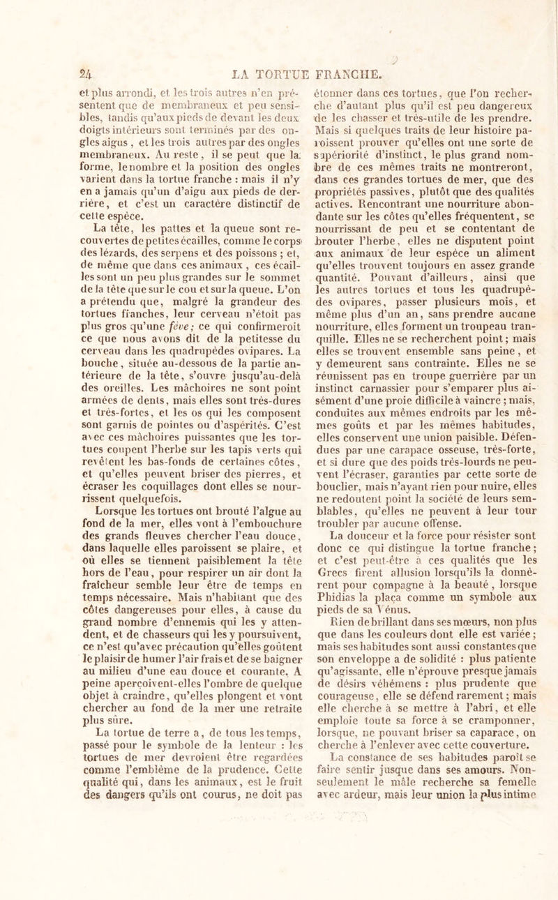 et plus arrondi, et les trois autres n’en pré- sentent que de membraneux et peu sensi- bles, tandis qu’auxpiedsde devant les deux doigts intérieurs sont terminés par des on- gles aigus , et les trois autres par des ongles membraneux. Au reste, il se peut que la. forme, le nombre et la position des ongles varient dans la tortue franche : mais il n’y en a jamais qu’un d’aigu aux pieds de der- rière, et c’est un caractère distinctif de cette espèce. La tête, les pattes et la queue sont re- couvertes de petites écailles, comme le corps' des lézards, des serpens et des poissons ; et, de même que dans ces animaux , ces écail- les sont un peu plus grandes sur le sommet de la tète que sur le cou et sur la queue. L’on a prétendu que, malgré la grandeur des tortues franches, leur cerveau n’étoit pas plus gros qu’une fève; ce qui confirmeroit ce que nous avons dit de la petitesse du cerveau dans les quadrupèdes ovipares. La bouche, située au-dessous de la partie an- térieure de la tête, s’ouvre jusqu’au-delà des oreilles. Les mâchoires ne sont point armées de dents, mais elles sont très-dures et très-fortes, et les os qui les composent sont garnis de pointes ou d’aspérités. C’est a\ec ces mâchoires puissantes que les tor- tues coupent l’herbe sur les tapis verts cjui revêtent les bas-fonds de certaines côtes, et qu’elles peuvent briser des pierres, et écraser les coquillages dont elles se nour- rissent quelquefois. Lorsque les tortues ont brouté l’algue au fond de la mer, elles vont à l’embouchure des grands fleuves chercher l’eau douce, dans laquelle elles paroissent se plaire, et où elles se tiennent paisiblement la tête hors de l’eau, pour respirer un air dont la fraîcheur semble leur être de temps en temps nécessaire. Mais n’habitant que des côtes dangereuses pour elles, à cause du grand nombre d’ennemis qui les y atten- dent, et de chasseurs qui les y poursuivent, ce n’est qu’avec précaution qu’elles goûtent le plaisir de humer l’air frais et de se baigner au milieu d’une eau douce et courante, A peine aperçoivent-elles l’ombre de quelque objet à craindre, qu’elles plongent et vont chercher au fond de la mer une retraite plus sûre. La tortue de terre a, de tous les temps, passé pour le symbole de la lenteur : les tortues de mer devroienl être regardées comme l’emblème de la prudence. Celte qualité qui, dans les animaux, est le fruit des dangers qu’ils ont courus, ne doit pas étonner dans ces tortues, que l’on recher- che d’autant plus qu’il est peu dangereux de les chasser et très-utile de les prendre, biais si quelques traits de leur histoire pa- roissent prouver qu’elles ont une sorte de supériorité d’instinct, le plus grand nom- bre de ces mêmes traits ne montreront, dans ces grandes tortues de mer, que des propriétés passives, plutôt que des qualités actives. Rencontrant une nourriture abon- dante sur les côtes qu’elles fréquentent, sc nourrissant de peu et se contentant de brouter l’herbe, elles ne disputent point aux animaux de leur espèce un aliment qu’elles trouvent toujours en assez grande quantité. Pouvant d’ailleurs, ainsi que les autres torlues et tous les quadrupè- des ovipares, passer plusieurs mois, et même plus d’un an, sans prendre aucune nourriture, elles forment un troupeau tran- quille. Elles ne se recherchent point ; mais elles se trouvent ensemble sans peine , et y demeurent sans contrainte. Elles ne se réunissent pas en troupe guerrière par un instinct carnassier pour s’emparer plus ai- sément d’une proie difficile à vaincre ; mais, conduites aux mêmes endroits par les mê- mes goûts et par les mêmes habitudes, elles conservent une union paisible. Défen- dues par une carapace osseuse, très-forte, et si dure que des poids très-lourds ne peu- vent l’écraser, garanties par cette sorte de bouclier, mais n’ayant rien pour nuire, elles ne redoutent point la société de leurs sem- blables, qu’elles ne peuvent à leur tour troubler par aucune offense. La douceur et la force pour résister sont donc ce qui distingue la tortue franche ; et c’est peut-être à ces qualités que les Grecs firent allusion lorsqu’ils la donnè- rent pour compagne à la beauté, lorsque Phidias la plaça comme un symbole aux pieds de sa b énus. Rien debrillant dans ses mœurs, non plus que dans les couleurs dont elle est variée ; mais ses habitudes sont aussi constantes que son enveloppe a de solidité : plus patiente qu’agissante, elle n’éprouve presque jamais de désirs véhémens : plus prudente que courageuse, elle se défend rarement ; mais elle cherche à se mettre à l’abri, et elle emploie toute sa force à se cramponner, lorsque, ne pouvant briser sa caparace, on cherche à l’enlever avec cette couverture. La constance de ses habitudes paroît se faire sentir jusque dans ses amours. Non- seulement le mâle recherche sa femelle avec ardeur, mais leur union la plus intime