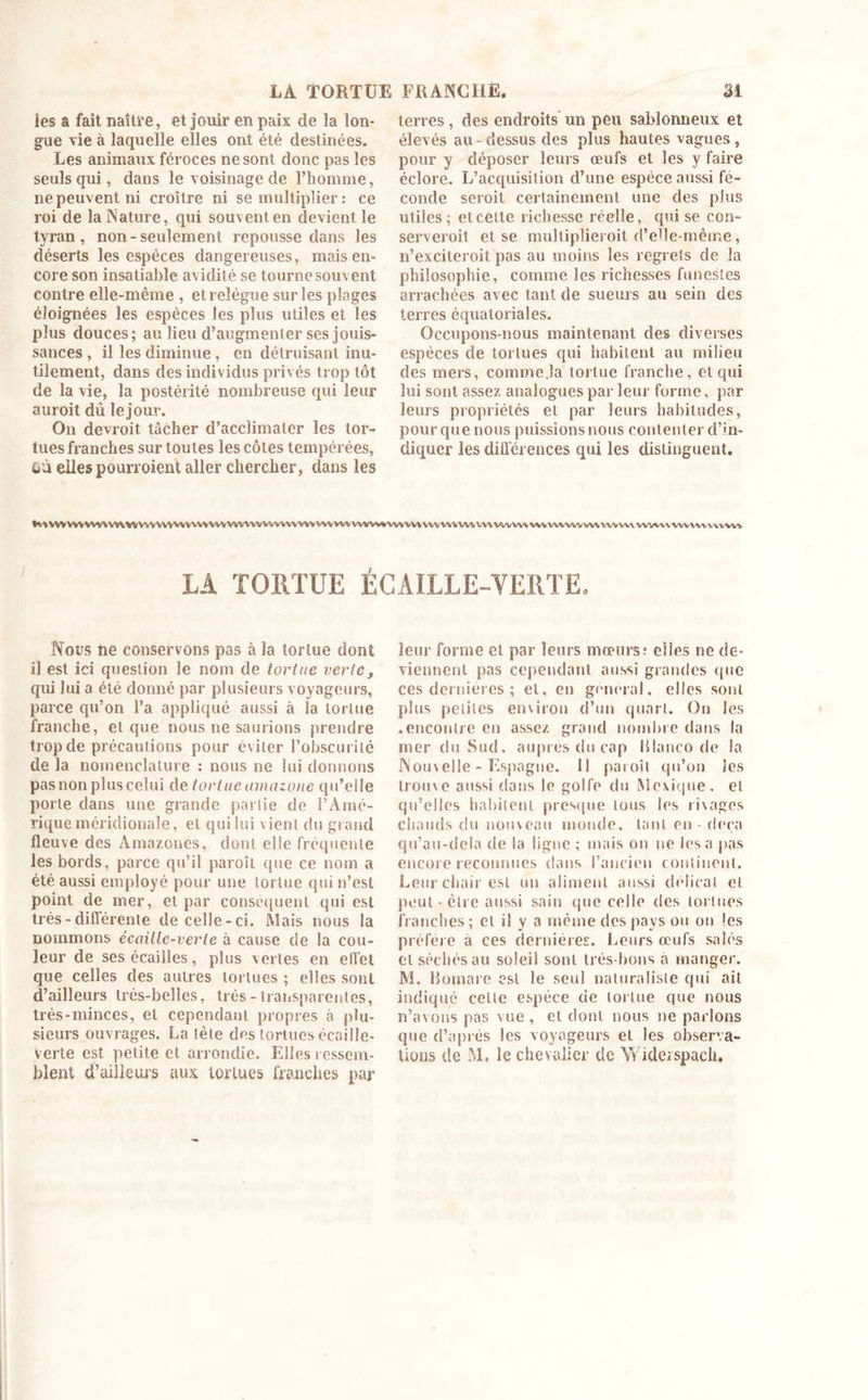 ies a fait naître, et jouir en paix de la lon- gue vie à laquelle elles ont été destinées. Les animaux féroces ne sont donc pas ies seuls qui, dans le voisinage de l’homme, ne peuvent ni croître ni se multiplier : ce roi de la Nature, qui souvent en devient le tyran, non-seulement repousse dans les déserts les espèces dangereuses, mais en- core son insatiable avidité se tourne souvent contre elle-même , et relègue sur les plages éloignées les espèces les plus utiles et les plus douces; au lieu d’augmenter ses jouis- sances , il les diminue, en détruisant inu- tilement, dans des individus privés trop tôt de la vie, la postérité nombreuse qui leur auroit dû le jour. On devroit tâcher d’acclimater les tor- tues franches sur toutes les côtes tempérées, où elles pourroient aller chercher, dans les terres, des endroits un peu sablonneux et élevés au - dessus des plus hautes vagues , pour y déposer leurs œufs et les y faire éclore. L’acquisition d’une espèce aussi fé- conde seroit certainement une des plus utiles; et cette richesse réelle, qui se con- serveroit et se multiplieroit d’elle-même, n’excileroit pas au moins les regrets de la philosophie, comme les richesses funestes arrachées avec tant de sueurs au sein des terres équatoriales. Occupons-nous maintenant des diverses espèces de tortues qui habitent au milieu des mers, comme.la tortue franche, et qui lui sont assez analogues par leur forme, par leurs propriétés et par leurs habitudes, pour que nous puissions nous contenter d’in- diquer les différences qui les distinguent. ^VV»VVVVVVVVV\VVVVVVVVVVVVVVVVVVWVVVVWVVVWVVVVVVVVVVV^%VVVVVVVVVVV'VVVVVVVVVVVVVVVVVVVVVVVVVVVVVV\VVV^V\VVVVVVV%'VVV> LA TORTUE ÉCAILLE-VERTE. Nous ne conservons pas à la tortue dont il est ici question le nom de tortue verte, qui lui a été donné par plusieurs voyageurs, parce qu’on l’a appliqué aussi à la tortue franche, et que nous ne saurions prendre trop de précautions pour éviter l’obscurité de la nomenclature : nous ne lui donnons pasnonpluscelui de tortue amazone qu’elle porte dans une grande partie de l’Amé- rique méridionale, et qui lui vient du grand fleuve des Amazones, dont elle fréquente les bords, parce qu’il paroît que ce nom a été aussi employé pour une tortue qui n’est point de mer, et par conséquent qui est très - différente de celle-ci. Mais nous la nommons écaille-verle à cause de la cou- leur de ses écailles, plus vertes en effet que celles des autres tortues ; elles sont d’ailleurs très-belles, très - transparentes, très-minces, et cependant propres tà plu- sieurs ouvrages. La tète des tortues écaille- verte est petite et arrondie. Elles ressem- blent d’ailleurs aux tortues franches par leur forme et par leurs mœurs: elles ne de- viennent pas cependant aussi grandes que ces dernières ; et, en général, elles sont plus petites environ d’un quart. On les .encontre en assez grand nombre dans la mer du Sud. auprès du cap Hlanco de la Nouvelle - Espagne. 11 paroît qu’on les trouve aussi dans le golfe du Mexique, et qu’elles habitent presque tous les rivages chauds du nouveau monde, tant en - deçà qu’au-dela de la ligne; mais on ne lésa pas encore reconnues dans l’ancien continent. Leur chair est un aliment aussi délicat et peut - être aussi sain que celle des tortues franches; et il y a même des pays ou on les préfère à ces dernières. Leurs œufs salés et séchés au soleil sont très-bons a manger. M. Homare est le seul naturaliste qui ait indiqué celle espèce de tortue que nous n’avons pas vue, et dont nous ne parlons que d’après les voyageurs et les observa- tions cle M. le chevalier de Yviderspach,