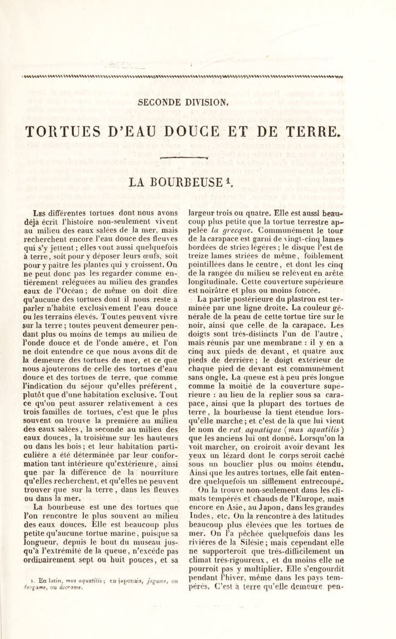 SECONDE DIVISION. TORTUES D'EAU DOUCE ET DE TERRE* LA BOURBEUSE 1. Les différentes tortues dont nous avons déjà écrit l’histoire non-seulement vivent au milieu des eaux salées de la mer, mais recherchent encore l’eau douce des fleuves qui s’y jettent ; elles vont aussi quelquefois à terre, soit pour y déposer leurs œufs, soit pour y paître les plantes qui y croissent. On ne peut donc pas les regarder comme en- tièrement reléguées au milieu des grandes eaux de l’Océan ; de même on doit dire qu’aucune des tortues dont il nous reste a parler n’habite exclusivement l’eau douce ou les terrains élevés. Toutes peuvent vivre sur la terre ; toutes peuvent demeurer pen- dant plus ou moins de temps au milieu de l’onde douce et de l’onde amére, et l’on ne doit entendre ce que nous avons dit de la demeure des tortues de mer, et ce que nous ajouterons de celle des tortues d’eau douce et des tortues de terre, que comme l’indication du séjour qu’elles préfèrent, plutôt que d’une habitation exclusive. Tout ce qu’on peut assurer relativement à ces trois familles de tortues, c’est que le plus souvent on trouve la première au milieu des eaux salées, la seconde au milieu des eaux douces, la troisième sur les hauteurs ou dans les bois ; et leur habitation parti- culière a été déterminée par leur confor- mation tant intérieure qu’extérieure, ainsi que par la différence de la nourriture qu’elles recherchent, et qu’elles ne peuvent trouver que sur la terre, dans les fleuves ou dans la mer. La bourbeuse est une des tortues que l’on rencontre le plus souvent au milieu des eaux douces. Elle est beaucoup plus petite qu’aucune tortue marine, puisque sa longueur, depuis le bout du museau jus- qu’à l’extrémité de la queue, n’excède pas ordinairement sept ou huit pouces, et sa j. En latin, mus aquaiilis-, en japonais, jogame, ou doogame, ou cloorame, largeur trois ou quatre. Elle est aussi beau- coup plus petite que la tortue terrestre ap- pelée la grecque. Communément le tour de la carapace est garni de vingt-cinq lames bordées de stries légères ; le disque l’est de treize lames striées de même, foiblement pointillées dans le centre, et dont les cinq de la rangée du milieu se relèv ent en arête longitudinale. Cette couverture supérieure est noirâtre et plus ou moins foncée. La partie postérieure du plastron est ter- minée par une ligne droite. La couleur gé- nérale de la peau de cette tortue tire sur le noir, ainsi que celle de la carapace. Les doigts sont très-distincts l’un de l’autre, mais réunis par une membrane : il y en a cinq aux pieds de devant, et quatre aux pieds de derrière ; le doigt extérieur de chaque pied de devant est communément sans ongle. La queue est à peu prés longue comme la moitié de la couverture supé- rieure : au lieu de la replier sous sa cara- pace, ainsi que la plupart des tortues de terre, la bourbeuse la tient étendue lors- qu’elle marche ; et c’est de là que lui vient le nom de rat aquatique (mus aquatilis) que les anciens lui ont donné. Lorsqu’on la voit marcher, on croiroit avoir devant les yeux un lézard dont le corps seroit caché sous un bouclier plus ou moins étendu. Ainsi que les autres tortues, elle fait enten- dre quelquefois un sifflement entrecoupé. On la trouve non-seulement dans les cli- mats tempérés et chauds de l’Europe, mais encore en Asie, au Japon, dans les grandes Indes, etc. On la rencontre à des latitudes beaucoup plus élevées que les tortues de mer. On l’a pêchée quelquefois dans les rivières de la Silésie ; mais cependant elle ne supporteroit que très-difficilement un climat très-rigoureux, et du moins elle ne pourroit pas y multiplier. Elle s’engourdit pendant l’hiver, même dans les pays tem- pérés. C’est à terre qu’elle demeure pen-