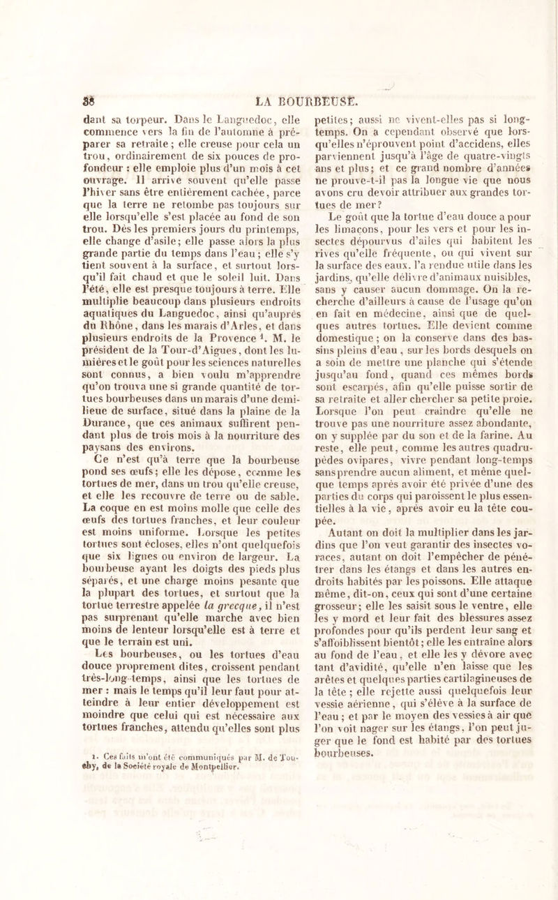 LA BOURBEUSE. 3ê dant sa torpeur. Dans le Languedoc, elle commence vers la fin de l’automne à pré- parer sa retraite ; elle creuse pour cela un trou, ordinairement de six pouces de pro- fondeur : elle emploie plus d’un mois à cet ouvrage. 11 arrive souvent qu’elle passe l’hiver sans être entièrement cachée, parce que la terre ne retombe pas toujours sur elle lorsqu’elle s’est placée au fond de son trou. Dés les premiers jours du printemps, elle change d’asile; elle passe alors la plus giande partie du temps dans l’eau ; elle s’v tient souvent à la surface, et surtout lors- qu’il fait chaud et que le soleil luit. Dans l’été, elle est presque toujours à terre. Elle multiplie beaucoup dans plusieurs endroits aquatiques du Languedoc, ainsi qu’auprès du Rhône, dans les marais d’Arles, et dans plusieurs endroits de la Provence i. M. le président de la Toui'-d’ Aigues, dont les lu- mières et le goût pour les sciences naturelles sont connus, a bien voulu m’apprendre qu’on trouva une si grande quantité de tor- tues bourbeuses dans un marais d’une demi- lieue de surface, situé dans la plaine de la Durance, que ces animaux suffirent pen- dant plus de trois mois à la nourriture des paysans des environs. Ce n’est qu’à terre que la bourbeuse pond ses œufs; elle les dépose, comme les tortues de mer, dans un trou qu’elle creuse, et elle les recouvre de terre ou de sable. La coque en est moins molle que celle des œufs des tortues franches, et leur couleur est moins uniforme. Lorsque les petites tortues sont écloses, elles n’ont quelquefois que six lignes ou environ de largeur. La bouibeuse ayant les doigts des pieds plus séparés, et une charge moins pesante que la plupart des tortues, et surtout que la tortue terrestre appelée la grecque, il n’est pas surprenant qu’elle marche avec bien moins de lenteur lorsqu’elle est à terre et que le terrain est uni. Les bourbeuses, ou les tortues d’eau douce proprement dites, croissent pendant très-long temps, ainsi que les tortues de mer : mais le temps qu’il leur faut pour at- teindre à leur entier développement est moindre que celui qui est nécessaire aux tortues franches, attendu qu’elles sont plus î. Ces faits m’ont été communiqués par M. de Xou* ®bye de !» Société royale de Montpellier. petites; aussi ne vivent-elles pas si long- temps. On a cependant observé que lors- qu’elles n’éprouvent point d’aceidens, elles parviennent jusqu’à l’âge de quatre-vingts ans et plus ; et ce grand nombre d’années ne prouve-t-il pas la longue vie que nous avons cru devoir attribuer aux grandes tor- tues de mer? Le goût que la tortue d’eau douce a pour les limaçons, pour les vers et pour les in- sectes dépourvus d’ailes qui habitent les rives qu’elle fréquente, ou qui vivent sur la surface des eaux, l’a rendue utile dans les jardins, qu’elle délivre d’animaux nuisibles, sans y causer aucun dommage. On la re- cherche d’ailleurs à cause de l’usage qu’on en fait en médecine, ainsi que de quel- ques autres tortues. Elle devient comme domestique ; on la conserve dans des bas- sins pleins d’eau , sur les bords desquels on a soin de mettre une planche qui s’étende jusqu’au fond, quand ces mêmes bords sont escarpés, afin qu’elle puisse sortir de sa retraite et aller chercher sa petite proie. Lorsque l’on peut craindre qu’elle ne trouve pas une nourriture assez abondante, on y supplée par du son et de la farine. Au reste, elle peut, comme les autres quadru- pèdes ovipares, vivre pendant long-temps sans prendre aucun aliment, et même quel- que temps après avoir été privée d’une des parties du corps qui paroissent le plus essen- tielles à la vie, après avoir eu la tète cou- pée. Autant on doit la multiplier dans les jar- dins que l’on veut garantir des insectes vo- races, autant on doit l’empêcher de péné- trer dans les étangs et dans les autres en- droits habités par les poissons. Elle attaque même, dit-on, ceux qui sont d’une certaine grosseur; elle les saisit sous le ventre, elle les y mord et leur fait des blessures assez profondes pour qu’ils perdent leur sang et s’afîoiblissent bientôt; elle les entraîne alors au fond de l’eau, et elle les y dévore avec tant d’avidité, qu’elle n’en laisse que les arêtes et quelques parties cartilagineuses de la tête; elle rejette aussi quelquefois leur vessie aérienne, qui s’élève à la surface de l’eau ; et par le moyen des vessies à air que l’on voit nager sur les étangs, l’on peut ju- ger que le fond est habité par des tortues bourbeuses.