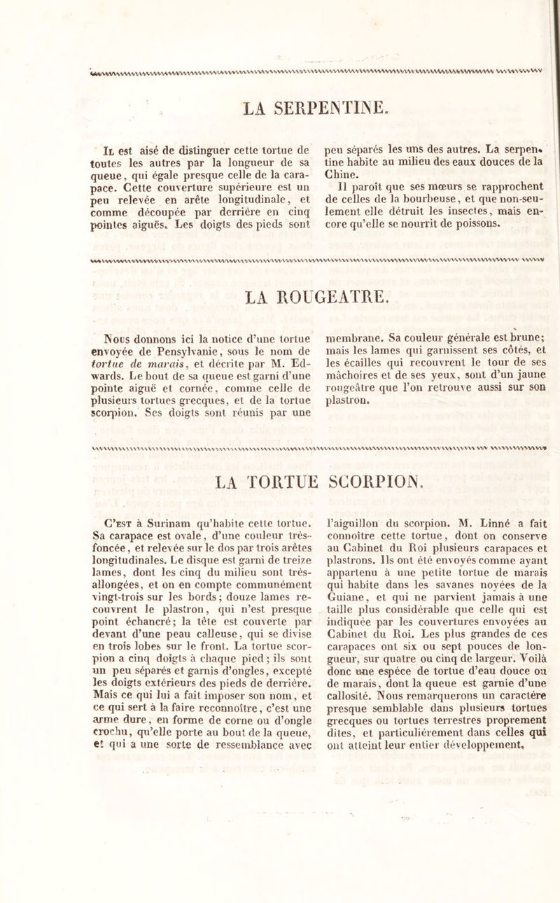 VrfW VVWVWW^ VVVVVVVVVVV VVVVVVVVVVW WWWVVVWvVWVW WWW WWWV HVU VWWWVWV\A/U\ WW WWWW VWWVWV VWVWVWWV LA SERPENTINE. Il est aisé de distinguer cette tortue de toutes les autres par la longueur de sa queue, qui égale presque celle de la cara- pace. Cette couverture supérieure est un peu relevée en arête longitudinale, et comme découpée par derrière en cinq pointes aiguës. Les doigts des pieds sont peu séparés les uns des autres. La serpen* tine habite au milieu des eaux douces de la Chine. Il paroît que ses mœurs se rapprochent de celles de la bourbeuse, et que non-seu- lement elle détruit les insectes, mais en- core qu’elle se nourrit de poissons. VS^VVVV\,^VVVVVVVA-^VVVV\^VVVVV\'V\/VVVVV\VV\'VVVVVVVVVVXVVVVVVVVVVVVVVVVVVV\IVV\/VV^V\A/VVVVVVVVVVVV\VVV^VVVV\X^/VV'VVVV www LA ROUGEATRE. Nous donnons ici la notice d’une tortue envoyée de Pensylvanie, sous le nom de tortue de marais, et décrite par M. Ed- wards. Le bout de sa queue est garni d’une pointe aiguë et cornée, comme celle de plusieurs tortues grecques, et de la tortue scorpion. Ses doigts sont réunis par une membrane. Sa couleur générale est brune; mais les lames qui garnissent ses côtés, et les écailles qui recouvrent le tour de ses mâchoires et de ses yeux, sont d’un jaune rougeâtre que l’on retrouve aussi sur son plastron. VWWWVVVVUnUHnUY VWWVW%WVW\ VWWVWVVVVVWWVWVWWVVVV/WVWVWVVVVVV'VVWWVWVYVVVVVVVV wv wvvwvwwwv» LA TORTUE SCORPION. C’est à Surinam qu’habite cette tortue. Sa carapace est ovale, d’une couleur très- foncée , et relevée sur le dos par trois arêtes longitudinales. Le disque est garni de treize lames, dont les cinq du milieu sont très- allongées, et on en compte communément vingt-trois sur les bords ; douze lames re- couvrent le plastron, qui n’est presque point échancré; la tête est couverte par devant d’une peau calleuse, qui se divise en trois lobes sur le front. La tortue scor- pion a cinq doigts à chaque pied ; ils sont un peu séparés et garnis d’ongles, excepté les doigts extérieurs des pieds de derrière. Mais ce qui lui a fait imposer son nom, et ce qui sert à la faire reconnoître, c’est une arme dure, en forme de corne ou d’ongle crochu, qu’elle porte au bout de la queue, eî qui a une sorte de ressemblance avec l’aiguillon du scorpion. M. Linné a fait connoître cette tortue, dont on conserve au Cabinet du Roi plusieurs carapaces et plastrons. Ils ont été envoyés comme ayant appartenu à une petite tortue de marais qui habite dans les savanes noyées de la Guiane, et qui ne parvient jamais à une taille plus considérable que celle qui est indiquée par les couvertures envoyées au Cabinet clu Roi. Les plus grandes de ces carapaces ont six ou sept pouces de lon- gueur, sur quatre ou cinq de largeur. Voilà donc une espèce de tortue d’eau douce ou de marais, dont la queue est garnie d’une callosité. Nous remarquerons un caractère presque semblable dans plusieurs tortues grecques ou tortues terrestres proprement dites, et particulièrement dans celles qui ont atteint leur entier développement.