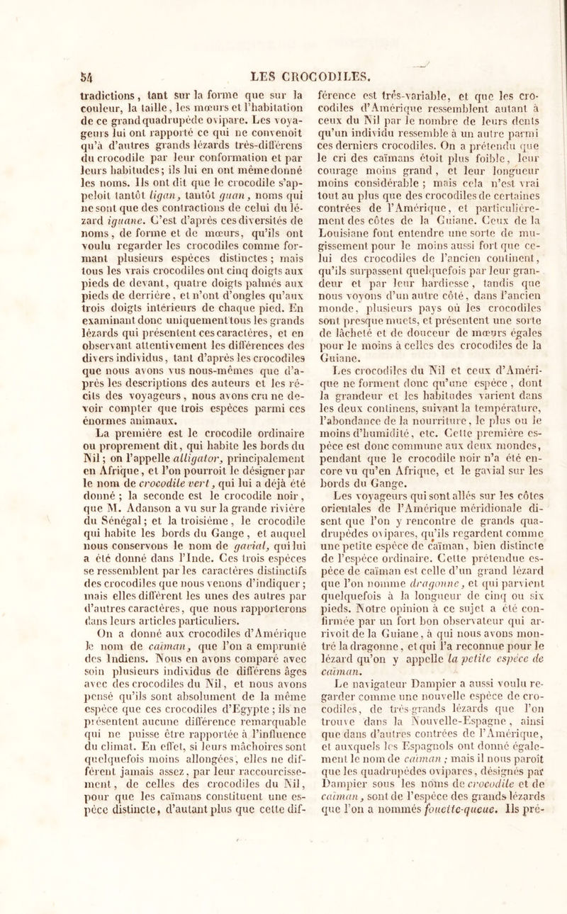 tradictions, tant sur la forme que sur la couleur, la taille, les mœurs et l’habitation de ce grand quadrupède ovipare. Les voya- geurs lui ont rapporté ce qui ne convenoit qu’à d’autres grands lézards très-dilierons du crocodile par leur conformation et par leurs habitudes; ils lui en ont même donné les noms. Us ont dit que le crocodile s’ap- peloit tantôt liga7i, tantôt gitan, noms qui ne sont que des contractions de celui du lé- zard iguane. C’est d’après ces diversités de noms, de forme et de mœurs, qu’ils ont voulu regarder les crocodiles comme for- mant plusieurs espèces distinctes ; mais tous les vrais crocodiles ont cinq doigts aux pieds de devant, quatre doigts palmés aux pieds de derrière, et n’ont d’ongles qu’aux trois doigts intérieurs de chaque pied. En examinant donc uniquement tous les grands lézards qui présentent ces caractères, et en observant attentivement les différences des divers individus, tant d’après les crocodiles que nous avons vus nous-mêmes que d’a- près les descriptions des auteurs et les ré- cits des voyageurs , nous avons cru ne de- voir compter que trois espèces parmi ces énormes animaux. La première est le crocodile ordinaire ou proprement dit, qui habite les bords du Nil; on l'appelle alligator, principalement en Afrique, et l’on pourvoit le désigner par le nom de crocodile vert, qui lui a déjà été donné ; la seconde est le crocodile noir, que M. Adanson a vu sur la grande rivière du Sénégal ; et la troisième , le crocodile qui habite les bords du Gange , et auquel nous conservons le nom de gavial, qui lui a étc donné dans l’Inde. Ces trois espèces se ressemblent par les caractères distinctifs des crocodiles que nous venons d’indiquer ; mais elles différent les unes des autres par d’autres caractères, que nous rapporterons dans leurs articles particuliers. On a donné aux crocodiles d’Amérique Je nom de caïman, que l’on a emprunté des Indiens. Nous en avons comparé avec soin plusieurs individus de différons âges avec des crocodiles du Nil, et nous avons pensé qu’ils sont absolument de la même espèce que ces crocodiles d’Egypte ; ils ne présentent aucune différence remarquable qui ne puisse être rapportée à l’influence du climat. En effet, si leurs mâchoires sont quelquefois moins allongées, elles ne dif- férent jamais assez, par leur raccourcisse- ment, de celles des crocodiles du Nil, pour que les caïmans constituent une es- pèce distincte, d’autant plus que celte dif- férence est trés-variable, et que les cro- codiles d’Amérique ressemblent autant à ceux du Nil par le nombre de leurs dents qu’un individu ressemble à un autre parmi ces derniers crocodiles. On a prétendu que le cri des caïmans étoit plus foible, leur courage moins grand, et leur longueur moins considérable ; mais cela n’est vrai tout au plus que des crocodiles de certaines contrées de l’Amérique, et particulière- ment des côtes de la Guiane. Ceux delà Louisiane font entendre une sorte de mu- gissement pour le moins aussi fort que ce- lui des crocodiles de l’ancien continent, qu’ils surpassent quelquefois par leur gran- deur et par leur hardiesse , tandis que nous voyons d’un autre côté, dans l’ancien monde, plusieurs pays où les crocodiles sont presque muets, et présentent une sorte de lâcheté et de douceur de mœurs égales pour le moins à celles des crocodiles de la Guiane. Les crocodiles du Nil et ceux d’Améri- que ne forment donc qu’une espèce , dont la grandeur et les habitudes varient dans les deux confinons, suivant la température, l’abondance de la nourriture, le plus ou le moins d’humidité, etc. Celte première es- pèce est donc commune aux deux mondes, pendant que le crocodile noir n’a été en- core vu qu’en Afrique, et le gavial sur les bords du Gange. Les voyageurs qui sont allés sur les côtes orientales de l’Amérique méridionale di- sent que l’on y rencontre de grands qua- drupèdes ovipares, qu’ils regardent comme une petite espèce de caïman, bien distincte de l’espèce ordinaire. Cette prétendue es- pèce de caïman est celle d’un grand lézard que l’on nomme dragonne, et qui parvient quelquefois à la longueur de cinq ou six pieds. Notre opinion à ce sujet a été con- firmée par un fort bon observateur qui ar- rivoit de la Guiane, à qui nous avons mon- tré la dragonne, et qui l’a reconnue pour le lézard qu’on y appelle la petite espèce de caïman. Le navigateur Dampier a aussi voulu re- garder comme une nouvelle espèce de cro- codiles, de très grands lézards que l’on trouve dans la Nouvelle-Espagne, ainsi que dans d’autres contrées de l’Amérique, et auxquels les Espagnols ont donné égale- ment le nom de caïman ; mais il nous paroît que les quadrupèdes ovipares, désignés par Dampier sous les noms de crocodile et de caïman, sont de l’espèce des grands lézards que l’on a nommés fouette-queue. Us pré-