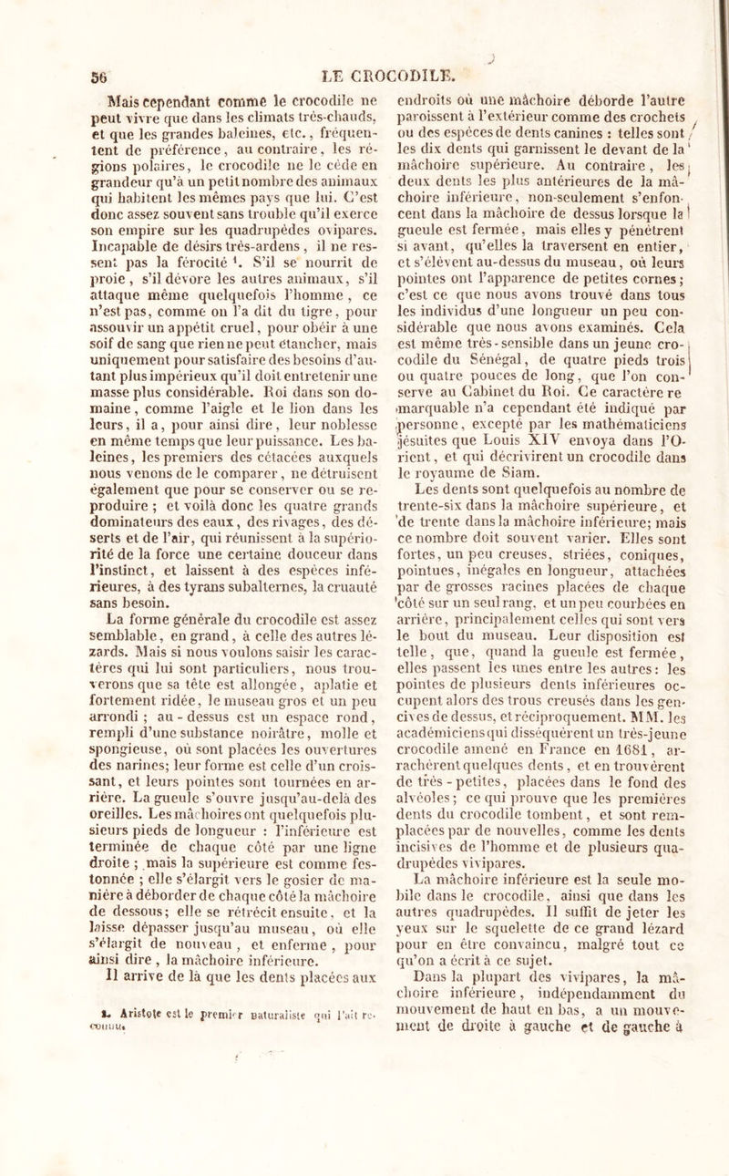 Mais cependant comme le crocodile ne peut vivre que dans les climats très-chauds, et que les grandes baleines, etc., fréquen- tent de préférence, au contraire, les ré- gions polaires, le crocodile ne le cède en grandeur qu’à un petit nombre des animaux qui habitent les mêmes pays que lui. C’est donc assez souvent sans trouble qu’il exerce son empire sur les quadrupèdes ovipares. Incapable de désirs très-ardens , il ne res- sent pas la férocité i. S’il se nourrit de proie , s’il dévore les autres animaux, s’il attaque même quelquefois l’homme , ce n’est pas, comme on l’a dit du tigre, pour assouvir un appétit cruel, pour obéir à une soif de sang que rien ne peut étancher, mais uniquement pour satisfaire des besoins d’au- tant plus impérieux qu’il doit entretenir une masse plus considérable. Roi dans son do- maine , comme l’aigle et le lion dans les leurs, il a, pour ainsi dire, leur noblesse en même temps que leur puissance. Les ba- leines, les premiers des cétacées auxquels nous venons de le comparer, ne détruisent également que pour se conserver ou se re- produire ; et voilà donc les quatre grands dominateurs des eaux, des rivages, des dé- serts et de l’air, qui réunissent à la supério- rité de la force une certaine douceur dans l’instinct, et laissent à des espèces infé- rieures, à des tyrans subalternes, la cruauté sans besoin. La forme générale du crocodile est assez semblable, en grand, à celle des autres lé- zards. Mais si nous voulons saisir les carac- tères qui lui sont particuliers, nous trou- verons que sa tête est allongée, aplatie et fortement ridée, le museau gros et un peu arrondi ; au - dessus est un espace rond, rempli d’une substance noirâtre, molle et spongieuse, où sont placées les ouvertures des narines; leur forme est celle d’un crois- sant, et leurs pointes sont tournées en ar- rière. La gueule s’ouvre jusqu’au-delà des oreilles. Les mâchoires ont quelquefois plu- sieurs pieds de longueur : l’inférieure est terminée de chaque côté par une ligne droite ; mais la supérieure est comme fes- tonnée ; elle s’élargit vers le gosier de ma- nière à déborder de chaque côté la mâchoire de dessous; elle se rétrécit ensuite, et la laisse dépasser jusqu’au museau, où elle s’élargit de nom eau , et enferme , pour ainsi dire , la mâchoire inférieure. Il arrive de là que les dents placées aux t. Aristott est le premier saturaiisle qui l'ait rc- cduuiu endroits où une mâchoire déborde l’autre paroissent à l’extérieur comme des crochets ou des espèces de dents canines : telles sont, les dix dents qui garnissent le devant de la1 mâchoire supérieure. Au contraire, Jesj deux dents les plus antérieures de la mâ- choire inférieure, non-seulement s’enfon- cent dans la mâchoire de dessus lorsque la ! gueule est fermée, mais elles y pénètrent si avant, qu’elles la traversent en entier, et s’élèvent au-dessus du museau, où leurs pointes ont l’apparence de petites cornes ; c’est ce que nous avons trouvé dans tous les individus d’une longueur un peu con- sidérable que nous avons examinés. Gela est même très-sensible dans un jeune cro-, codile du Sénégal, de quatre pieds trois ou quatre pouces de long, que l’on con- serve au Cabinet du Roi. Ce caractère re marquable n’a cependant été indiqué par /personne, excepté par les mathématiciens jésuites que Louis XIV envoya dans l’O- rient, et qui décrivirent un crocodile dans le royaume de Siam. Les dents sont quelquefois au nombre de trente-six dans la mâchoire supérieure, et de trente dans la mâchoire inférieure; mais ce nombre doit souvent varier. Elles sont fortes, un peu creuses, striées, coniques, pointues, inégales en longueur, attachées par de grosses racines placées de chaque 'côté sur un seul rang, et un peu courbées en arrière, principalement celles qui sont vers le bout du museau. Leur disposition est telle, que, quand la gueule est fermée, elles passent les unes entre les autres : les pointes de plusieurs dents inférieures oc- cupent alors des trous creusés dans les gen- cives de dessus, et réciproquement. MM. les académiciens qui disséquèrent un très-jeune crocodile amené en France en 1681, ar- rachèrent quelques dents, et en trouvèrent de très - petites, placées dans le fond des alvéoles; ce qui prouve que les premières dents du crocodile tombent, et sont rem- placées par de nouvelles, comme les dénis incisives de l’homme et de plusieurs qua- drupèdes vivipares. La mâchoire inférieure est la seule mo- bile dans le crocodile, ainsi que dans les autres quadrupèdes. Il suffit de jeter les yeux sur le squelette de ce grand lézard pour en être convaincu, malgré tout cc qu’on a écrit à ce sujet. Dans la plupart des vivipares, la mâ- choire inférieure, indépendamment du mouvement de haut en bas, a un mouve- ment de droite à gauche et de gauche à