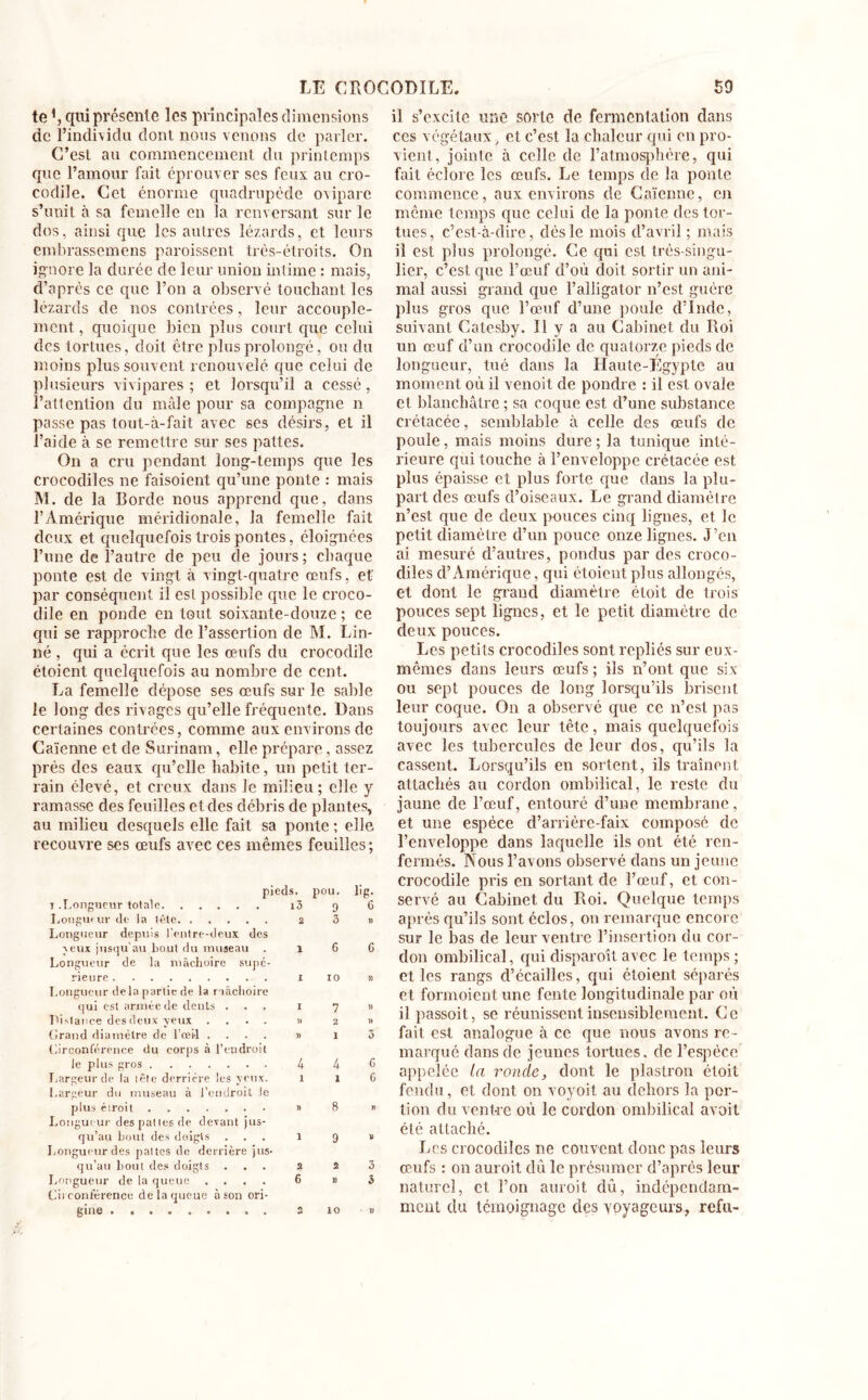 te qui présente les principales dimensions de l’individu dont nous venons de parler. C’est au commencement du printemps que l’amour fait éprouver ses feux au cro- codile. Cet énorme quadrupède ovipare s’unit à sa femelle en la renversant sur le dos, ainsi que les autres lézards, et leurs embrassemens paroissent très-étroits. On ignore la durée de leur union intime : mais, d’après ce que l’on a observé touchant les lézards de nos contrées, leur accouple- ment, quoique bien plus court que celui des tortues, doit être plus prolongé, ou du moins plus souvent renouvelé que celui de plusieurs vivipares ; et lorsqu’il a cessé, l’attention du mâle pour sa compagne n passe pas tout-à-fait avec ses désirs, et il l’aide à se remettre sur ses pattes. On a cru pendant long-temps que les crocodiles ne faisoient qu’une ponte : mais M. de la Borde nous apprend que, dans l’Amérique méridionale, la femelle fait deux et quelquefois trois pontes, éloignées l’une de l’autre de peu de jours; chaque ponte est de vingt à vingt-quatre œufs, et par conséquent il est possible que le croco- dile en ponde en tout soixante-douze ; ce qui se rapproche de l’assertion de M. Lin- né , qui a écrit que les œufs du crocodile étoient quelquefois au nombre de cent. La femelle dépose ses œufs sur le sable le long des rivages qu’elle fréquente. Dans certaines contrées, comme aux environs de Caïenne et de Surinam, elle prépare, assez prés des eaux qu’elle habite, un petit ter- rain élevé, et creux dans le milieu; elle y ramasse des feuilles et des débris de plantes, au milieu desquels elle fait sa ponte ; elle recouvre ses œufs avec ces mêmes feuilles; pieds. i .Longueur totale i3 Longueur de la tête 2 Longueur depuis l’entre-deux des jeux jusqu’au bout du museau . 1 Longueur de la mâchoire supé- rieure 1 Longueur delà partie de la mâchoire qui est armée de dents ... 1 Listance des deux yeux .... « Grand diamètre de l’œil .... » Circonférence du corps à l’endroit le plus gros 4 Largeur de la tête derrière les yeux. 1 Largeur du museau à l’endroit le plus étroit » Longueur des pattes de devant jus- qu’au bout des doigts ... 1 Longueur des pattes de derrière jus- qu’au bout des doigts ... 2 Longueur de la queue .... 6 Cii conférence de la queue à son ori- gine ......... 2 pou. 9 3 6 10 7 2 1 4 1 8 9 2 » 10 lig- 6 » 6 n » » 3 6 6 » s 3 3 1! il s’excite une sorte de fermentation dans ces végétaux , et c’est la chaleur qui en pro- vient, jointe à celle de l’atmosphère, qui fait éclore les œufs. Le temps de la ponte commence, aux environs de Caïenne, en même temps que celui de la ponte des tor- tues, c’est-à-dire, dès le mois d’avril ; mais il est plus prolongé. Ce qui est très-singu- lier, c’est que l’œuf d’où doit sortir un ani- mal aussi grand que l’alligator n’est guère plus gros que l’œuf d’une poule d’Inde, suivant Catesby. Il y a au Cabinet du Roi un œuf d’un crocodile de quatorze pieds de longueur, tué dans la Haute-Egypte au moment où il venoil de pondre : il est ovale et blanchâtre ; sa coque est d’une substance crétacée, semblable à celle des œufs de poule, mais moins dure ; la tunique inté- rieure qui touche à l’enveloppe crétacée est plus épaisse et plus forte que dans la plu- part des œufs d’oiseaux. Le grand diamètre n’est que de deux pouces cinq lignes, et le petit diamètre d’un pouce onze lignes. J’en ai mesuré d’autres, pondus par des croco- diles d’Amérique, qui étoient plus allongés, et dont le grand diamètre étoit de trois pouces sept lignes, et le petit diamètre de deux pouces. Les petits crocodiles sont repliés sur eux- mêmes dans leurs œufs ; ils n’ont que six ou sept pouces de long lorsqu’ils brisent leur coque. On a observé que ce n’est pas toujours avec leur tête, mais quelquefois avec les tubercules de leur dos, qu’ils la cassent. Lorsqu’ils en sortent, ils traînent attachés au cordon ombilical, le reste du jaune de l’œuf, entouré d’une membrane, et une espèce d’arrière-faix composé de l’enveloppe dans laquelle ils ont été ren- fermés. Nous l’avons observé dans un jeune crocodile pris en sortant de l’œuf, et con- servé au Cabinet du Roi. Quelque temps après qu’ils sont éclos, on remarque encore sur le bas de leur ventre l’insertion du cor- don ombilical, qui disparoît avec le temps ; et les rangs d’écailles, qui étoient séparés et formoient une fente longitudinale par où il passoit, se réunissent insensiblement. Ce fait est analogue à ce que nous avons re- marqué dans de jeunes tortues, de l’espèce appelée la ronde, dont le plastron étoit fendu, et dont on voyoit au dehors la por- tion du vent-re où le cordon ombilical avoit été attaché. Les crocodiles ne couvent donc pas leurs œufs : on auroit dû le présumer d’après leur naturel, et l’on auroit dû, indépendam- ment du témoignage des voyageurs, refit-