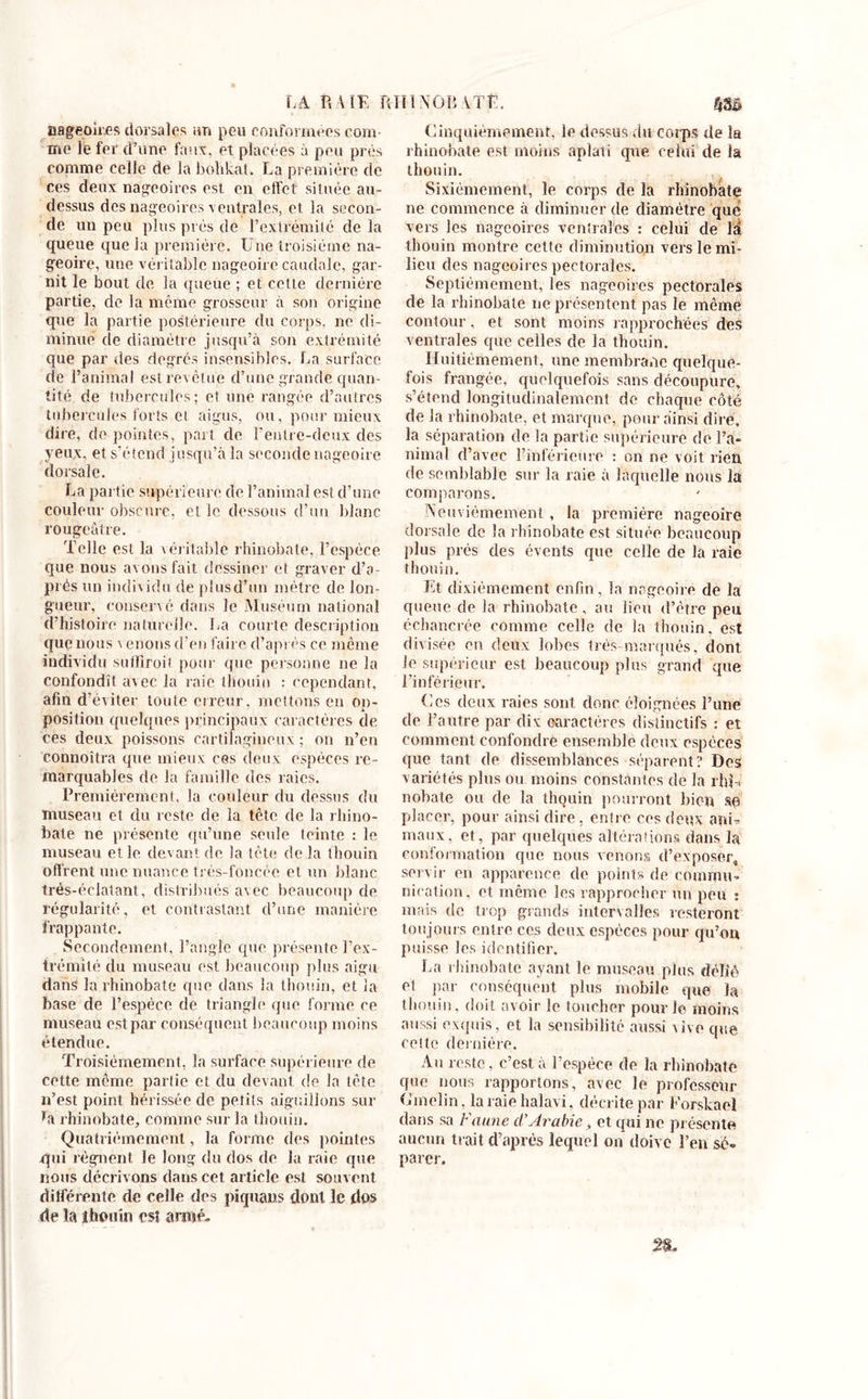 LA P» VIE r nageoires dorsales an peu conformées corn- me le fer d’une faux, et placées à peu près comme celle de la bohkat. La première de ces deux nageoires est en effet située au- dessus des nageoires ventrales, et la secon- de un peu plus prés de l’extrémité de la queue que la première. Une troisième na- geoire, une véritable nageoire caudale, gar- nit le bout de la queue ; et cette dernière partie, de la même grosseur à son origine que la partie postérieure du corps, ne di- minue de diamètre jusqu’à son extrémité que par des degrés insensibles. La surface de l’animal est revêtue d’une grande quan- tité de tubercules; et une rangée d’autres tubercules forts cl aigus, ou, pour mieux dire, de pointes, part de l’entre-deux des yeux, et s’étend jusqu’à la seconde nageoire dorsale. La partie supérieure de l’animal est d’une couleur obscure, et le dessous d’un blanc rougeâtre. Telle est la véritable rhinobate, l’espèce que nous avons fait dessiner et graver d’a- pi'és un individu de plus d’un mètre de lon- gueur, conservé dans le Muséum national d’histoire naturelle. La courte description que nous \ enons d’en faire d’après ce môme individu suffiroil pour que personne ne la confondît avec la raie thouin : cependant, afin d’éviter toute cireur, mettons en op- position quelques principaux caractères de ces deux poissons cartilagineux; on n’en connoîtra que mieux ces deux espèces re- marquables de la famille des raies. Premièrement, la couleur du dessus du museau et du reste de la tête de la rhino- bate ne présente qu’une seule teinte : le museau et le devant de la tête de la thouin offrent une nuance très-foncée et un blanc trés-éclatant, distribués avec beaucoup de régularité, et contrastant d’une manière frappante. Secondement, l’angle que présente l’ex- trémité du museau est beaucoup plus aigu dans la rhinobate que dans la thouin, et la hase de l’espèce de triangle que forme ce museau est par conséquent beaucoup moins étendue. Troisièmement, la surface supérieure de cette meme partie et du devant de la tète n’est point hérissée de petits aiguillons sur ta rhinobate, comme sur la thouin. Quatrièmement, la forme des pointes qui régnent le long du dos de la raie que nous décrivons dans cet article est souvent dilférente de celle des piquants dont le dos de la thouin est armé. lil .Nôîi VI E. UU Cinquièmement, le dessus du corps de la rhinobate est moins aplati que celui de la thouin. Sixièmement, le corps de la rhinobate ne commence à diminuer de diamètre que vers les nageoires ventrales : celui de M thouin montre cette diminution vers le mi- lieu des nageoires pectorales. Septièmement, les nageoires pectorales de la rhinobate 11e présentent pas le même contour, et sont moins rapprochées des ventrales que celles de la thouin. Huitièmement, une membrane quelque- fois frangée, quelquefois sans découpure, s’étend longitudinalement de chaque côté de la rhinobate, et marque, pour ainsi dire, la séparation de la partie supérieure de l’a- nimal d’avec l’inférieure : on ne voit rien de semblable sur la raie à laquelle nous la comparons. Neuvièmement, la première nageoire dorsale de la rhinobate est située beaucoup plus prés des évents que celle de la raie thouin. Et dixièmement enfin , la nageoire de la queue de la rhinobate, au lion d’être peu échancrée comme celle de la thouin, est divisée en deux lobes très-marqués, dont. Je supérieur est beaucoup plus grand que l’inférieur. Ces deux raies sont donc éloignées l’une de l’autre par dix caractères distinctifs : et comment confondre ensemble deux espèces que tant de dissemblances séparent? Des variétés plus ou moins constantes de la rhU nobate ou de la thouin pourront bien se placer, pour ainsi dire, entre ces deux apU maux, et, par quelques altérations dans la conformation que nous venons d’exposer, servir en apparence de points de commu- nication, et même les rapprocher un peu : mais de trop grands intervalles resteront toujours entre ces deux espèces pour qu’on puisse les identifier. La rhinobate ayant le museau plus délié et par conséquent plus mobile que la thouin, doit avoir le toucher pour le moins aussi exquis, et la sensibilité aussi vive que cette dernière. An reste, c’est à l’espèce de la rhinobate que nous rapportons, avec le professeur Umelin, la raie halavi, décrite par Forskaeî dans sa Faune cï Arabie, et qui ne présente aucun trait d’après lequel on doive l’en sé» parer. 28.