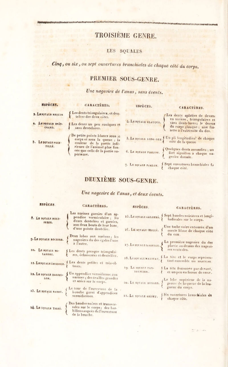 iVMWWUUUHWtWMM !Ml»**%MMW**VVM*V4*AAVVV4*A*VV*vA^vvVvi\*vvvv^v*vwviA.iA,vvw.vwi^vvvv>AartvvVvvVNv\M*<v*VVV TROISIÈME GENRE. LES SQUALES Cinq, ou six, ou sept ouvertures branchiales de chaque côté du corps. PREMIER SOUS-GENRE. Une nageoire de l’anus, sans évents. espions. CARACTÈRES* ESPECES. a. Lbsqualb requin | Les fents triangulaire., et deu- 1 telees des deux eûtes. I Les dents un peu coniques et | sans dentelures. 'De petits points Lianes sous je corps et sous la queue ; la couleur de la partie infé- rieure de l'animal plus fon- cée que celle de la partie su- périeure. »• ht SQUALS ir.is- GRAND. R. Le SQUALE HOIN- TILLE. CARACTÈRES. 'Les dents aplaties de devant , T „ * en arrière, triangulaires et 4* Le squale glauque, s sans dentelures; le dessus f du corps glauque ; une fos- ' selle à l’extrémité du dos. 5. Le squale long-nez f P*j longitudina’ de chaque l côté de la queue - r ( Quelques dents arrondies : un 6. Le squale philipp. j fort aiguillon à chaque na- (. geoire dorsale. 7. Le squale pbrlon, f Sept ouvertures branchiales dj l chaque côté. DEUXIÈME SOUS-GENRE, Une nageoire de l’anus, et deux éeents. ESPECES Ls SQUALE SOUS SE1TE. §.Lï SQUALE ROCUISi. S O. Le SQUALE MI- LANDRE. CARACTÈRES, Les narines garnies d’un ap- pendice vermiculaire ; les dcnls dentelées et garnies, aux deux bouts de leur base, d’une pointe dentelée. / Deux lobes aux narines ; les ’ nageoires du dos égales!’une à l’autre. i Les dents presque triangulnî res, échancrées et dentelées, XI.Lbsqualeémissole. I ^es ^enls petites et très-ob ( Inses. ïi. Le SQUALE BARBIL- LON. ( Un appendice vermiforme an: X narines ; des écailles grande ' «I unies sur le corps^ , , ( Le tour de l’ouverture de la • Le squale rarbu. , Louche garni d’appendices vermiformes. *4- Lb squ4le Tigré. (Des de Des bandes noires et transver- iles sur le corps; des bar- illonsauprès de l’ouverture de la bouche. «SPÈCES: CARACTÈRES. 15. Le squale galonné, f Sept bandes noirâtres et long!» ( tudinales sur le corps. .Une tache noire entourée d’un it. Le squale QEjllé. j cercle blanc de chaque côté ( du cou. 17< Le squale Isabelle / La première nageoire du dos s placée au-dessus des nageoi- res ventrales. J8. Lesqualemarteau. I La )filu ct le uorps représeu- ( tant ensemble un marteau. 19 Ll square pan- I La tète festonnée par-devant, touflier. i et un peu en forme de cœur. .Le lobe supérieur de la ua- 20. Le squale renard. J geoire de la queue de la lou- v gueur du corps. 21. Le squale g ri set. I Six ouvertures branchiales de ( chaque côte.