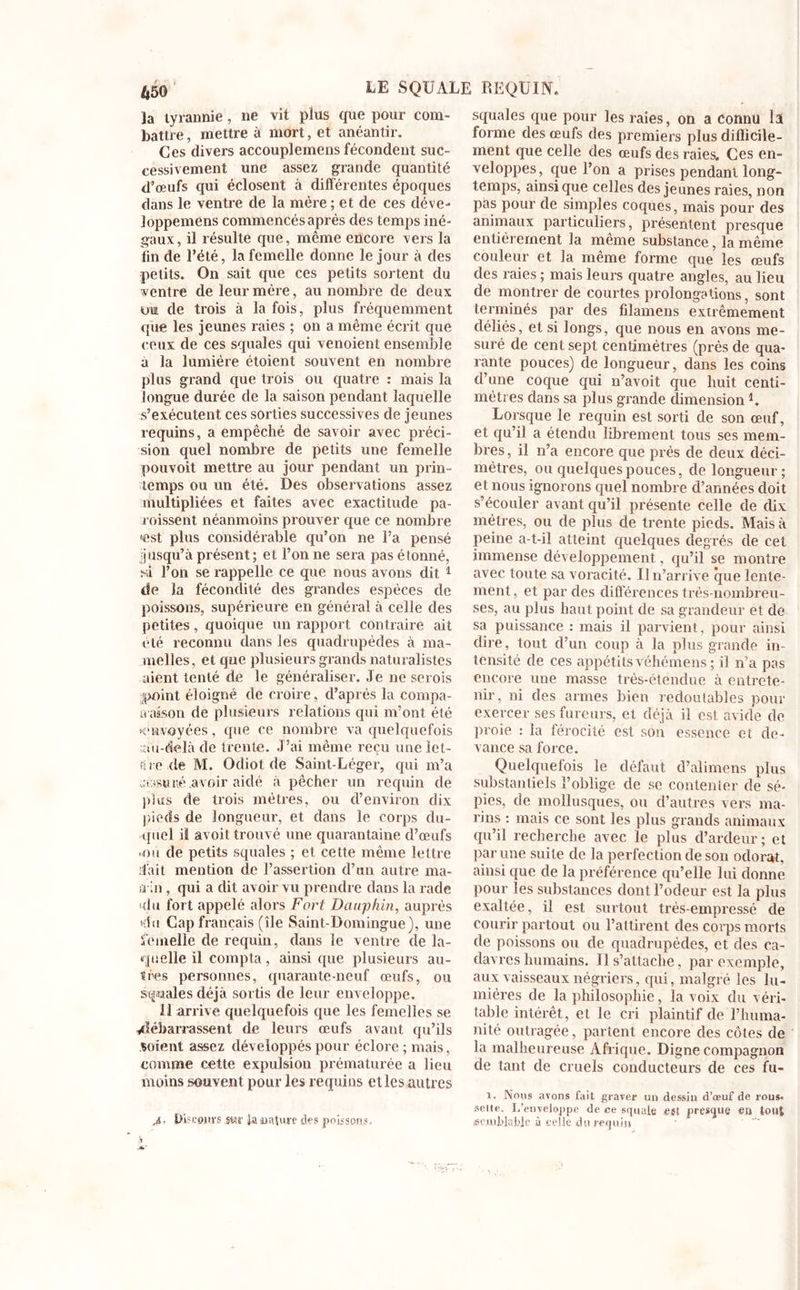 la tyrannie, ne vit plus que pour com- battre , mettre à mort, et anéantir. Ces divers accouplemens fécondent suc- cessivement une assez grande quantité d’œufs qui éclosent à différentes époques dans le ventre de la mère; et de ces déve- loppemens commencés après des temps iné- gaux, il résulte que, même encore vers la lin de l’été, la femelle donne le jour à des petits. On sait que ces petits sortent du ventre de leur mère, au nombre de deux ou de trois à la fois, plus fréquemment que les jeunes raies ; on a même écrit que ceux de ces squales qui venoient ensemble a la lumière étoient souvent en nombre plus grand que trois ou quatre : mais la longue durée de la saison pendant laquelle s’exécutent ces sorties successives de jeunes requins, a empêché de savoir avec préci- sion quel nombre de petits une femelle pouvoit mettre au jour pendant un prin- temps ou un été. Des observations assez multipliées et faites avec exactitude pa- raissent néanmoins prouver que ce nombre «st plus considérable qu’on ne l’a pensé jusqu’à présent; et l’on ne sera pas étonné, sa l’on se rappelle ce que nous avons dit 1 de la fécondité des grandes espèces de poissons, supérieure en général à celle des petites, quoique un rapport contraire ait été reconnu dans les quadrupèdes à ma- melles, et que plusieurs grands naturalistes aient tenté de le généraliser. Je ne serais point éloigné de croire, d’après la compa- raison de plusieurs relations qui m’ont été «envoyées, que ce nombre va quelquefois .au-delà de trente. J’ai même reçu une lot- it re de M. Odiot de Saint-Léger, qui m’a rai s u né avoir aidé à pêcher un requin de plus de trois mètres, ou d’environ dix pieds de longueur, et dans le corps du- quel il avoit trouvé une quarantaine d’œufs iou de petits squales ; et cette même lettre liait mention de l’assertion d’un autre ma- is in , qui a dit avoir vu prendre dans la rade 'du fort appelé alors Fort Dauphin, auprès du Gap français (île Saint-Domingue), une femelle de requin, dans le ventre de la- quelle il compta, ainsique plusieurs au- ïées personnes, quarante-neuf œufs, ou squales déjà sortis de leur enveloppe. il arrive quelquefois que les femelles se ^débarrassent de leurs œufs avant qu’ils soient assez développés pour éclore ; mais, comme cette expulsion prématurée a lieu moins souvent pour les requins elles autres .4 • l>\ 'cours star fa nature des poissons. squales que pour les raies, on a Connu la forme des œufs des premiers plus difficile- ment que celle des œufs des raies. Ces en- veloppes, que l’on a prises pendant long- temps, ainsique celles des jeunes raies, non pas pour de simples coques, mais pour des animaux particuliers, présentent presque entièrement la même substance, la même couleur et la même forme que les œufs des raies ; mais leurs quatre angles, au lieu de montrer de courtes prolongations, sont terminés par des filamens extrêmement déliés, et si longs, que nous en avons me- suré de cent sept centimètres (près de qua- rante pouces) de longueur, dans les coins d’une coque qui n’avoit que huit centi- mètres dans sa plus grande dimension1. Lorsque le requin est sorti de son œuf, et qu’il a étendu librement tous ses mem- bres, il n’a encore que prés de deux déci- mètres, ou quelques pouces, de longueur; et nous ignorons quel nombre d’années doit s’écouler avant qu’il présente celle de dix mètres, ou de plus de trente pieds. Mais à peine a-t-il atteint quelques degrés de cet immense développement, qu’il se montre avec toute sa voracité. Il n’arrive que lente- ment , et par des différences très-nombreu- ses, au plus haut point de sa grandeur et de sa puissance : mais il parvient, pour ainsi dire, tout d’un coup à la plus grande in- tensité de ces appétits véhémens; il n’a pas encore une masse très-étendue à entrete- nir, ni des armes bien redoutables pour exercer ses fureurs, et déjà il est avide de proie : la férocité est son essence et de- vance sa force. Quelquefois le défaut d’alimens plus substantiels l’oblige de se contenter de sé- pies, de mollusques, ou d’autres vers ma- rins : mais ce sont les plus grands animaux qu’il recherche avec le plus d’ardeur; et par une suite de la perfection de son odorat, ainsi que de la préférence qu’elle lui donne pour les substances dont l’odeur est la plus exaltée, il est surtout très-empressé de courir partout ou l’attirent des corps morts de poissons ou de quadrupèdes, et des ca- davres humains. Il s’attache, par exemple, aux vaisseaux négriers, qui, malgré les lu- mières de la philosophie, la voix du véri- table intérêt, et le cri plaintif de l’huma- nité outragée, partent encore des côtes de la malheureuse Afrique. Digne compagnon de tant de cruels conducteurs de ces fu- ï. Nous avons fait graver un dessin d’œuf de rous. seite. L’enveloppe de ce squale est presque en tout «eiup]al>le à celle du requin