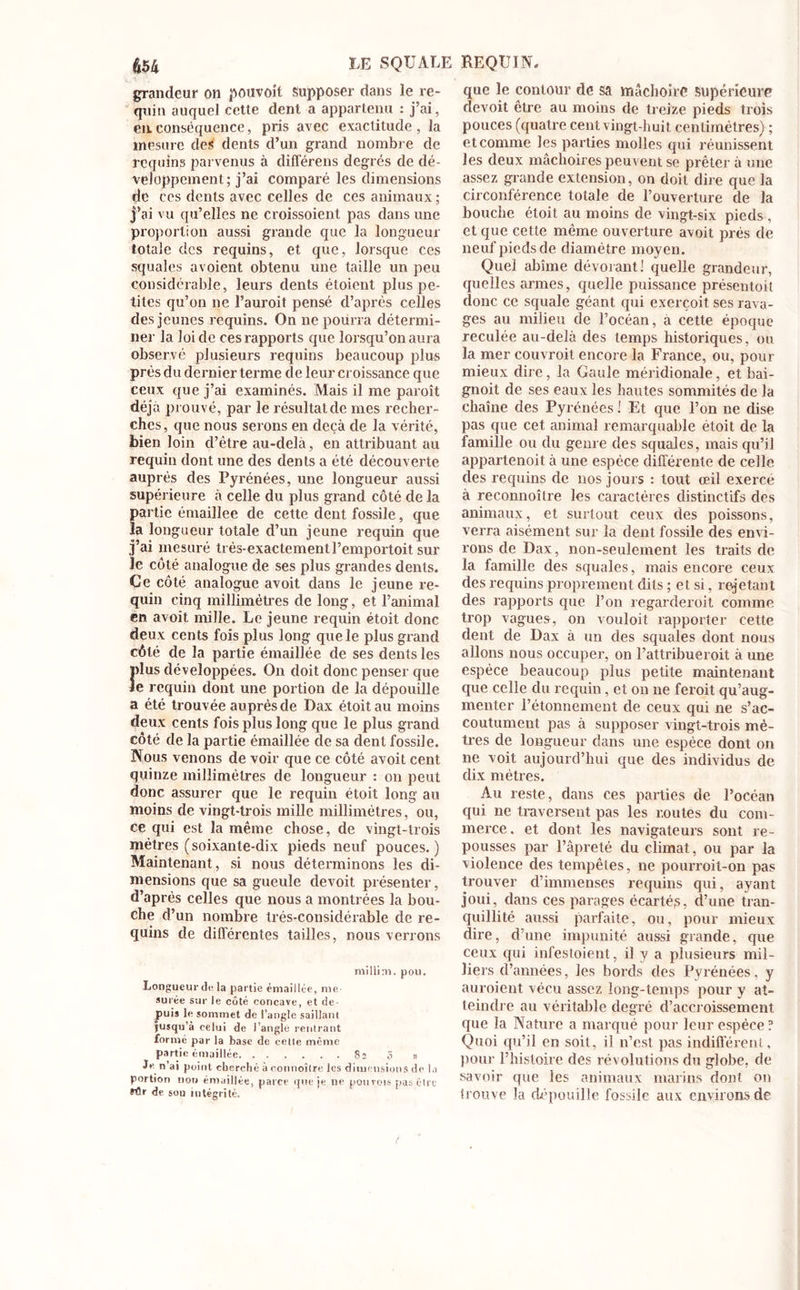 grandeur on pouvoit supposer dans le re- quin auquel cette dent a appartenu : j’ai, ea conséquence, pris avec exactitude , la mesure des dents d’un grand nombre de requins parvenus à différens degrés de dé- veloppement; j’ai comparé les dimensions de ces dents avec celles de ces animaux ; j’ai vu qu’elles ne croissoient pas dans une proportion aussi grande que la longueur totale des requins, et que, lorsque ces squales avoient obtenu une taille un peu considérable, leurs dents étoient plus pe- tites qu’on ne l’auroit pensé d’après celles des jeunes requins. On ne pourra détermi- ner la loi de ces rapports que lorsqu’on aura observé plusieurs requins beaucoup plus près du dernier terme de leur croissance que ceux que j’ai examinés. Mais il me paroît déjà prouvé, par le résultat de mes recher- ches, que nous serons en deçà de la vérité, bien loin d’être au-delà, en attribuant au requin dont une des dents a été découverte auprès des Pyrénées, une longueur aussi supérieure à celle du plus grand côté de la partie émaillee de cette dent fossile, que la longueur totale d’un jeune requin que j’ai mesuré très-exactement l’emportoit sur le côté analogue de ses plus grandes dents. Ce côté analogue avoit dans le jeune re- quin cinq millimètres de long, et l’animal en avoit mille. Le jeune requin étoit donc deux cents fois plus long que le plus grand côté de la partie émaillée de ses dents les dus développées. On doit donc penser que e requin dont une portion de la dépouille a été trouvée auprès de Dax étoit au moins deux cents fois plus long que le plus grand côté de la partie émaillée de sa dent fossile. Nous venons de voir que ce côté avoit cent quinze millimètres de longueur : on peut donc assurer que le requin étoit long au moins de vingt-trois mille millimètres, ou, ce qui est la même chose, de vingt-trois mètres (soixante-dix pieds neuf pouces.) Maintenant, si nous déterminons les di- mensions que sa gueule devoit présenter, d’après celles que nous a montrées la bou- che d’un nombre trés-considérable de re- quins de différentes tailles, nous verrons millim. pou. Longueur de la partie émaillée, me sucée sur le côté concave, et de- puis le sommet de l’angle saillant jusqu’à celui de l’angle rentrant formé par la base de celle même partie émaillée 82 ô » Je n’ai point cherché à connoître les dimensions de la portion non émaillée, parce que je ne pou vois pas être fôr de sou intégrité. que le contour de sa mâchoire supérieure devoit être au moins de treize pieds trois pouces (quatre cent vingt-huit centimètres) ; et comme les parties molles qui réunissent les deux mâchoires peuvent se prêter à une assez grande extension, on doit dire que la circonférence totale de l’ouverture de la bouche étoit au moins de vingt-six pieds, et que cette même ouverture avoit prés de neuf pieds de diamètre moyen. Quel abîme dévorant! quelle grandeur, quelles armes, quelle puissance présentoit clone ce squale géant qui exerçoit ses rava- ges au milieu de l’océan, à cette époque reculée au-delà des temps historiques, ou la mer couvroit encore la France, ou, pour mieux dire, la Gaule méridionale, et bai- gnoit de ses eaux les hautes sommités de la chaîne des Pyrénées ! Et que l’on ne dise pas que cet animal remarquable étoit de la famille ou du genre des squales, mais qu’il appartenait à une espèce différente de celle des requins de nos jours : tout œil exerce à reconnoître les caractères distinctifs des animaux, et surtout ceux des poissons, verra aisément sur la dent fossile des envi- rons de Dax, non-seulement les traits de la famille des squales, mais encore ceux des requins proprement dits ; et si, rejetant des rapports que l’on regarderoit comme trop vagues, on vouloit rapporter cette dent de Dax à un des squales dont nous allons nous occuper, on l’attribueroit à une espèce beaucoup plus petite maintenant que celle du requin, et on ne feroit qu’aug- menter l’étonnement de ceux qui ne s’ac- coutument pas à supposer vingt-trois mè- tres de longueur dans une espèce dont on ne voit aujourd’hui que des individus de dix mètres. Au reste, dans ces parties de l’océan qui ne traversent pas les routes du com- merce . et dont les navigateurs sont re- pousses par l’âpreté du climat, ou par la violence des tempêtes, ne pourroit-on pas trouver d’immenses requins qui, ayant joui, dans ces parages écartés, d’une tran- quillité aussi parfaite, ou, pour mieux dire, d’une impunité aussi grande, que ceux qui infestoient, il y a plusieurs mil- liers d’années, les bords des Pyrénées, y auroient vécu assez long-temps pour y at- teindre au véritable degré d’accroissement que la Nature a marqué pour leur espèce ? Quoi qu’il en soit, il n’est pas indifférent, pour l’histoire des révolutions du globe, de savoir que les animaux marins dont on trouve la dépouille fossile aux environs de