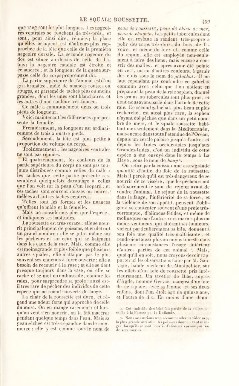 LE SQUALE ROUSSETTE, que* rang1 SOM les jrlus longues. Les nageoi- res ventrales se touchent de très-près, et sont, pour ainsi dire, réunies; la place qu’elles occupent est d’ailleurs plus rap- prochée de la tête que celle de la première nageoire dorsale. La seconde nageoire du dos est située au-dessus de celle de l’a- nus; la nageoire caudale est étroite et échancrée ; et la longueur de la queue sur- passe celle du corps proprement dit. La partie supérieure de l’animal est d’un gris brunâtre, mêlé de nuances rousses ou rouges, et parsemé de taches plus ou moins grandes, dont les unes sont blanchâtres, et les autres d’une couleur très-foncée. Ce mâle a communément deux ou trois pieds de longueur. Voici maintenant les différences que pré- sente la femelle. Premièrement, sa longueur est ordinai- rement de trois a quatre pieds. Secondement, la tète est plus petite à proportion du volume du corps. Troisièmement, les nageoires ventrales ne sont pas réunies. Et quatrièmement, les couleurs de la partie supérieure du corps ne sont pas tou- jours distribuées comme celles du mâle : les taches que cette partie présente res- semblent quelquefois davantage à celles que l’on voit sur la peau d’un léopard ; et ces taches sont souvent rousses ou noires,* mêlées à d’autres taches cendrées. Telles sont les formes et les nuances qu’offrent le mâle et la femelle. Mais ne considérons plus que l’espèce , et indiquons ses habitudes. La roussette est très-vorace : elle se nour- rit principalement de poissons, et en détruit un grand nombre ; elle se jette même sur les pêcheurs et sur ceux qui se baignent dans les eaux delà mer. Mais, comme elle est moins grande etplus foibleque plusieurs autres squales, elle n’attaque pas le plus souvent ses ennemis à force ouverte ; elle a besoin de recourir à la ruse ; et elle se tient presque toujours dans la vase, où elle se cache et se met en embuscade, comme les raies, pour surprendre sa proie : aussi est- il très-rare de pêcher des individus de cette espèce qui ne soient couverts de fange. La chair de la roussette est dure, et ré- pand une odeur forte qui approche de celle du musc. On en mange rarement; et lors- qu’on veut s’en nourrir, on la fait macérer pendant quelque temps dans l’eau. Mais sa peau séchée est très-répandue dans le com- merce ; elle y est connue sous le nom de 45f? peau de roussette, peau de chien de mer, peaude chagrin. Lespetits tubercules dont elle est revêtue la rendent très-propre à polir des corps très-durs, du bois, de l’i- voire, et même du fer ; et, comme celle du requin, elle est employée non-seule- ment à faire des liens, mais encore à cou- vrir des malles . et après avoir été peinte en vert, ou en d’autres couleurs, à garnir des étuis sous le nom de galuchat. Il ne faut cependant pas confondre ce galuchat commun avec celui que l’on obtient en préparant la peau delà raie sephen, duquel les grains ou tubercules sont plus gros, et dont nous avons parlé dans l’article de cette raie. Ce second galuchat, plus beau et plus recherché, est aussi plus rare, la sephen n’ayant été pêchée que dans un petit nom- bre de mers, et le squale roussette habi- tant non-seulement dans la Méditerranée, mais encore dans toute l’étendue de l’Océan, depuis un cercle polaire jusqu’à l’autre, et depuis les Indes occidentales jusqu’aux Grandes-Indes, d’où un individu de cette espèce a été envoyé dans le temps à La Haye, sous le nom de haay \ On retire parla cuisson une assez grande quantité d’huile du foie de la roussette. Mais il paroît qu’il est très-dangereux de se nourrir de ce viscère, que les pêcheurs ont ordinairement le soin de rejeter avant de vendre l’animal. Le séjour de la roussette dans la fange, l’infériorité de sa force, et la violence de son appétit, peuvent l’obli- ger à se contenter souvent d’une proie très- corrompue, d’alimcns fétides, et même de mollusques ou d’autres vers marins plus ou moins venimeux, qui altèrent ses humeurs, vicient particulièrement sa bile, donnent à son foie une qualité très-malfaisante , et rendroient aussi plus ou moins funeste dans plusieurs circonstances l’usage intérieur d’autres parties de cet animal \ Mais, quoiqu’il en soit, nous croyons devoir rap- porter ici les observations faitespar M. Sau- vage, habile médecin de Montpellier, sur les effets d’un foie de roussette pris inté- rieurement. Un savetier de Lias, auprès d’Agde, nommé Gervais, mangea d’un foie de ce squale, avec sa femme et ses deux enfans, dont l’un étoit âgé de quinze ans, et l’autre de dix. En moins d’une demi- 1. Cet individu desséché fuit partie de ta collectio cédée à la France parla Hollande. 2. Nous ne saurions trop recommander de vider avec la plus grande attention les poissons dont on veut man- ger, lorsqu’ils se son( nourris d’alirnens corrompus ou de vers marins.