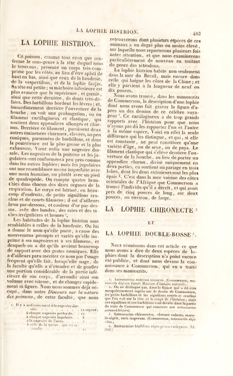 LA LOfHIE ÎUSTKION. LA LOPHIE HISTRION. Ce poisson, comme tous ceux que ren- ferme le sous-genre à la tête duquel nous le trouvons, présente un corps très-com- primé par les côtés, au lieu d’être aplati de nauten bas, ainsi que ceux de la baudroie, de la vespertilion, et de la lophie faujas. ^ète est petite ; sa mâchoire inférieure est plus avancée que la supérieure , et garnie, ainsi que cette dernière, de dents trés-dé- liées. Des barbillons bordent les lèvres ; et. immédiatement derrière l’ouverture de la bouche , on voit une prolongation, ou un filament cartilagineux et élastique, qui soutient deux appendices allongés et char- nus. Derrière ce filament, paraissent deux autres éminences charnues, élevées, un peu coniques, parsemées de barbillons, et dont la postérieure est la plus grosse et la plus exhaussée. Tient enfin une nageoire dor- sale. Les nageoires de la poitrine et les ju- gulaires sont conformées à peu près comme dans les autres lophies; mais les jugulaires ont une resemblaoee moins imparfaite avec une main humaine, ou plutôt avec un pied de quadrupède. On compte quatre bran- chies dans chacun des deux organes de la respiration. Le corps est hérissé, en beau- coup d’endroits, de petits aiguillons cro- chus et de courts filainens ; il est d’ailleurs brun par-dessous, et couleur d’or par-des- sus, avêc des bandes, des raies et des ta elles irrégulières et brunes L Les habitudes de la lophie histrion sont semblables à celles de la baudroie. On lui a donné le nom qu’elle porte, à cause des mouvemens prompts et variés qu’elle im- prime à ses nageoires et a ses lilamens, et desquels on a dit qu’ils avoient beaucoup de rapport avec des gestes comiques. Elle a d’ailleurs paru mériter ce nom par l’usage fréquent qu’elle fait, lorsqu’elle nage, de la faculté qu’elle a d’étendre et de gonfler une portion considérable de la partie infé- rieure de son corps, d’arrondir ainsi son volume avec vitesse, et de changer rapide- ment sa figure. Nous nous sommes déjà oc- cupé , dans notre Discours sur la nature des poissonsj de cette faculté, que nous !• H y a ordinairement à la nageoire dor- sale. u. rayons; à chaque nageoire pectorale. . ri à chaque nageoire jugulaire. . S à la nageoire de l’anus. . à celle de la queue , qui est ar roudie retrouverons dans plusieurs espèces de ces animaux à un degré plus ou moins élevé, sur laquelle nous reporterons plusieurs fois notre attention, et que nous examinerons particulièrement de nouveau en traitant du genre des tétrodons. La lophie histrion habite non-seulement dans la mer du Brésil, mais encore dans celle qui baigne les côtes de la Chine ; et elie y parvient à la longueur de neuf ou dix pouces. Nous avons trouvé, dans les manuscrits de Commerson, la description d’une lophie dont nous avons fait graver la figure d’a- pres un des dessins de ce célèbre voya- geui . Ce cartilagineux a de trop grands rapports avec l’histrion pour que nous n’ayons pas dù les rapporter l’un et l’autre à la même espèce. \ oici en effet la seule différence qui les distingue , et qui, si elle est constante, ne peut constituer qu’une variétéd’age, ou de sexe, ou de pays. Le filament élastique qui s’élève derrière l’ou- verture de la bouche, au lieu de porter un appendice charnu , divisé uniquement en deux parties, en soutient un partagé en trois lobes, dont les deux extérieurs sont les plus épais 2. C’est dans la mer voisine des côtes orientales de l’Afrique que Commerson a trouvé l’individu qu’il a décrit, et qui avoir, prés de cinq pouces de long, sur deux pouces, ou environ, de large. LA LOPHIE CHIRONECTE 3 ET LA LOPHIE DOUBLE-BOSSE 4. Nous réunissons dans cet article ce que nous avons à dire de deux espèces de lo- phies dont la description n’a point encore été publiée, et dont nous devons la con- noissance à Commerson, qui en a traité dans ses manuscrits. r. Aulennarius autennâ tricorni. (Commerson, ma- nuscrits déposés dansle Muséum d'Iûatuire naturelle. 2. On ne distingue pas. dans la ligure qui a dû être setupuleusement copiée sur le dessin de Cominerscu, les petits barbillous et les aiguillons courts et crochus que l’on voit sur la tête et le corps de 1 histrion ; mais ces aiguillons et ces barbillons sont décrits dans lapartie du texte de Commerson qui concerne son aulennarius anlennâ tricorni. 3. Antennarius chironectes, obscure rubens, macu- iis aigris, raris inspersus. (Commerson, manuscrits déjà cités./ 4- Anlenuarius bigibbus. nigro gt isco vâriegatus. HJ. Ibid.) VJ