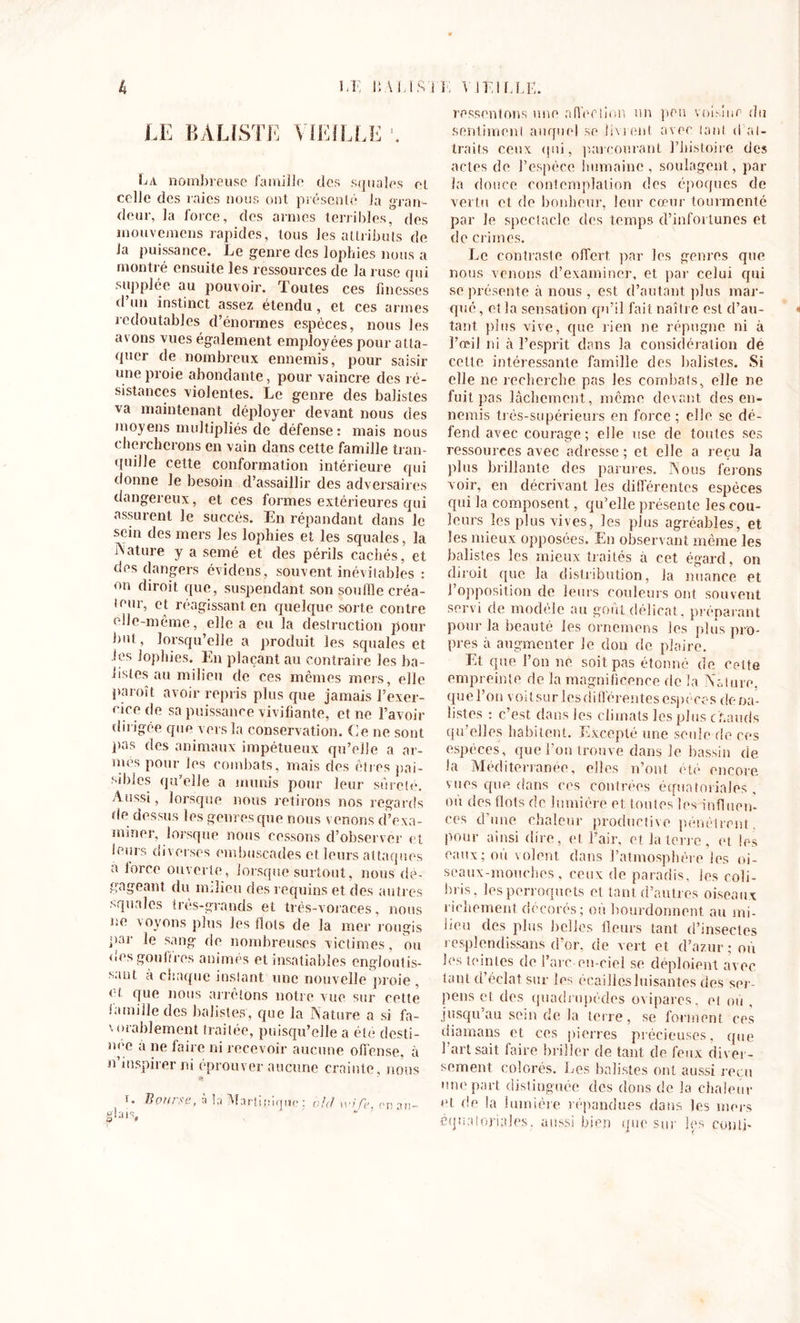LE BALÏSTE VIEILLE La nombreuse famille des squales et celle des raies nous ont présenté la gran- deur, la force, des armes terribles, des rnouvemens rapides, tous les attributs de Ja puissance. Le genre des lophies nous a montré ensuite les ressources de la ruse qui supplée au pouvoir. Toutes ces finesses d un instinct assez étendu, et ces armes redoutables d’énormes espèces, nous les avons vues également employées pour atta- quer de nombreux ennemis, pour saisir une proie abondante, pour vaincre des ré- sistances violentes. Le genre des baîistes va maintenant déployer devant nous des moyens multipliés de défense : mais nous chercherons en vain dans cette famille tran- quille cette conformation intérieure qui donne le besoin d’assaillir des adversaires dangereux, et ces formes extérieures qui assurent le succès. En répandant dans le sein des mers les lophies et les squales, la Nature y a semé et des périls cachés, et des dangers évidens, souvent inévitables : on diroit que, suspendant son souille créa- teur, et réagissant en quelque sorte contre elle-même, elle a eu la destruction pour but, lorsqu’elle a produit les squales et les lophies. En plaçant au contraire les ba- lisles au milieu de ces mêmes mers, elle paroit avoir repris plus que jamais l’exer- cice de sa puissance vivifiante, et ne l’avoir dirigée que vers la conservation. Ce ne sont pas des animaux impétueux qu’elle a ar- mes pour les combats, mais des êtres pai- sibles qu’elle a munis pour leur sûreté. A ussi, lorsque nous retirons nos regards de dessus les genres que nous venons d’exa- miner, lorsque nous cessons d’observer et leurs diverses embuscades et leurs attaques a lorce ouverte, lorsque surtout, nous dé- gageant du mdieu des requins et des autres squales très-grands et très-voraces, nous ne voyons plus les flots de la mer rougis par le sang de nombreuses victimes, ou des gouffres animés et insatiables engloutis- sant à chaque instant une nouvelle proie , et. que nous arrêtons notre vue sur cette la mille des baîistes, que la Nature a si fa- vorablement traitée, puisqu’elle a été desti- née a ne faire ni recevoir aucune offense, à n inspirer ni éprouver aucune crainte, nous i. B ours s, a b Martinique; bld wife onan- S'Cis, ressentons une a fief lion un pou voisine du sentiment auquel se livrent avec tant d at- traits ceux qui, parcourant l’histoire des actes de l’espèce humaine, soulagent, par la douce contemplation des époques de vertu et de bonheur, leur cœur tourmenté par le spectacle des temps d’infortunes et de crimes. Le contraste offert par les genres que nous venons d’examiner, et par celui qui se présente à nous, est d’autant plus mar- qué , et la sensation qu’il fait naître est d’au- « tant plus vive, que rien ne répugne ni à l’œil ni à l’esprit dans la considération de cette intéressante famille des baîistes. Si elle ne recherche pas les combats, elle ne fuit pas lâchement, même devant des en- nemis très-supérieurs en force ; elle se dé- fend avec courage; elle use de toutes ses ressources avec adresse; et elle a reçu Ja plus brillante des parures. Nous ferons voir, en décrivant les différentes espèces qui la composent, qu’elle présente les cou- leurs les plus vives, les plus agréables, et les mieux opposées. En observant même les baîistes les mieux traités à cet égard, on diroit que la distribution, la nuance et l’opposition de leurs couleurs ont souvent servi de modèle au goût délicat, préparant pour Ja beauté les ornemens les plus pro- pres à augmenter le don de plaire. Et que l’on ne soit pas étonné de ceLte empreinte de la magnificence de la Nature, que l’on voltsurles différentes espèces dena- listes : c’est dans les climats les plus chauds qu’elles habitent. Excepté une seule de ces espèces, que l’on trouve dans le bassin de la Méditerranée, elles n’ont été encore vues que dans ces contrées équatoriales , ou des flots de lumière et toutes les influen- ces d’une chaleur productive pénètrent, pour ainsi dire, et l’air, et la terre, et les eaux; ou volent dans l’atmosphère les oi- seaux-mouches, ceux de paradis, les coli- bris, les perroquets et tant d’autres oiseaux richement décorés; où bourdonnent au mi- lieu des plus belles fleurs tant d’insectes resplcndissans d’or, de vert et d’azur; où les teintes de l’arc en-ciel se. déploient avec tant d’éclat sur les écailles luisantes des ser- pens et des quadrupèdes ovipares, et où , jusqu’au sein de la terre, se forment ces diamans et ces pierres précieuses, que 1 art sait faire briller de tant de feux diver- sement colorés. Les baîistes ont aussi reçu une part distinguée des dons de la chaleur et de la lumière répandues dans les mers équatoriales, aussi bien que sur les conli-