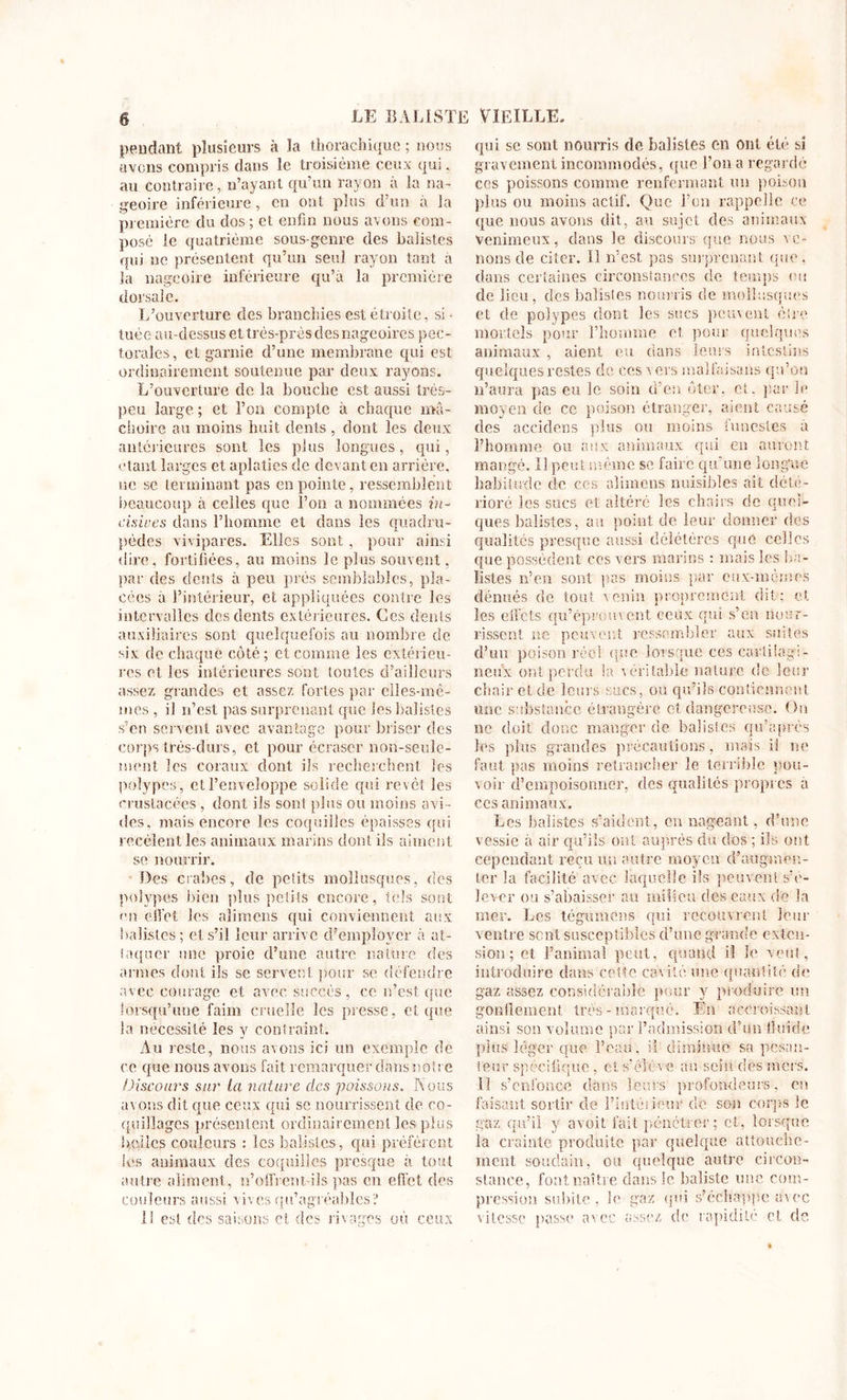 pendant plusieurs à la thorachiquc ; nous avons compris dans le troisième ceux qui. au contraire, n’ayant qu’un rayon a la na- geoire inférieure, en ont plus d’un a la première du dos; et enfin nous avons com- posé le quatrième sous-genre des balistes qui ne présentent qu’un seul rayon tant à la nageoire inférieure qu’a la première dorsale. L’ouverture des branchies est étroite, si • tuée au-dessus et très-près des nageoires pec- torales, et garnie d’une membrane qui est ordinairement soutenue par deux rayons. L’ouverture de la bouche est aussi très- peu large ; et l’on compte à chaque mâ- choire au moins huit dents , dont les deux anterieures sont les plus longues, qui, étant larges et aplaties de devant en arrière, ne se terminant pas en pointe, ressemblent beaucoup à celles que l’on a nommées in- cisives dans l’homme et dans les quadru- pèdes vivipares. Elles sont , pour ainsi dire, fortifiées, au moins le plus souvent, par des dents à peu près semblables, pla- cées à l’intérieur, et appliquées contre les intervalles des dents extérieures. Ces dents auxiliaires sont quelquefois au nombre de six de chaque côté ; et comme les extérieu- res et les intérieures sont toutes d’ailleurs assez grandes et assez fortes par elles-mê- mes , il n’est pas surprenant que les balistes s’en servent avec avantage pour briser des corps très-durs, et pour écraser non-seule- ment les coraux dont ils recherchent les polypes , et l’enveloppe solide qui revêt les mislacées , dont ils sont plus ou moins avi- des, mais encore les coquilles épaisses qui recèlent les animaux marins dont ils aiment se nourrir. Des crabes, de petits mollusques, des polypes bien plus petits encore, tels sont en elfet les aîimcns qui conviennent aux balistes; et s’il leur arrive d’employer à at- taquer une proie d’une autre nature des armes dont ils se servent pour se défendre avec courage et avec succès, ce n’est que lorsqu’une faim cruelle les presse, et que la nécessité les y contraint. Au reste, nous avons ici un exemple de ce que nous avons fait remarquer dans notre Discours sur la nature des poissons. Nous avons dit que ceux qui sc nourrissent de co- quillages présentent ordinairement les plus belles couleurs : les balistes, qui préfèrent les animaux des coquilles presque à tout autre aliment, n’offrent-ils pas en effet des couleurs aussi vives qu’agréables? 11 est des saisons et des rivages où ceux qui sc sont nourris de balistes en ont été si gravement incommodés, que l’on a regardé ces poissons comme renfermant un poison plus ou moins actif. Que l’on rappelle ce que nous avons dit, au sujet des animaux venimeux, dans le discours que nous ve- nons de citer. Il n’est pas surprenant que. dans certaines circonstances de temps ou de lieu, des balistes nourris de mollusques et de polypes dont les sucs peuvent être mortels pour l’homme et pour quelques animaux , aient eu dans leurs intestins quelques restes de ces vers malfaisans qu’on n’aura pas eu le soin d’en ôter. et. pur le moyen de ce poison étranger, aient causé des accidens plus ou moins funestes a l’homme ou aux animaux qui en auront mangé. Il peut même se faire qu’une longue habitude de ces aîimcns nuisibles ait dété- rioré les sucs et altéré les chairs de quel- ques balistes, au point de leur donner des qualités presque aussi délétères que celles que possèdent ces vers marins : mais les ba- listes n’en sont pas moins par eux-mèmes dénués de tout venin proprement dit; et les effets qu’éprouvent ceux qui s’en nour- rissent ne peuvent ressembler aux suites d’un poison réel que lorsque ces cartilagi- neux ont perdu Sa véritable nature de leur chair et de leurs sucs, ou qu’ils contiennent une substance étrangère et dangereuse. On ne doit donc manger de balistes qu’a près les plus grandes précautions, mais il ne faut pas moins retrancher le terrible pou- voir d’empoisonner, des qualités propres a ces animaux. Les balistes s’aident, en nageant, d'une vessie à air qu’ils ont auprès du dos ; ils ont cependant reçu un autre moyen d’augmen- ter la facilité avec laquelle ils peuvent s'é- lever ou s’abaisser au milieu des eaux de la mer. Les tégumens qui recouvrent leur ventre sent susceptibles d’une grande exten- sion; et l’animal peut, quand il le veut, introduire dans cette cav ité une quantité de gaz assez considérable pour y produire un gonflement très - marqué. En accroissant ainsi son volume par l’admission d’un fluide plus léger que l’eau, il diminue sa pesan- teur spécifique , et s'élève au sein des mers. 11 s’enfonce dans leurs profondeurs , en faisant sortir de l’intéjieur de son corps le gaz qu’il y avoit fait pénétrer; et, lorsque la crainte produite par quelque attouche- ment soudain, ou quelque autre circon- stance, font naître dans le baîiste une com- pression subite . le gaz qui s’échappe avec vitesse passe avec assez de. rapidité cl de