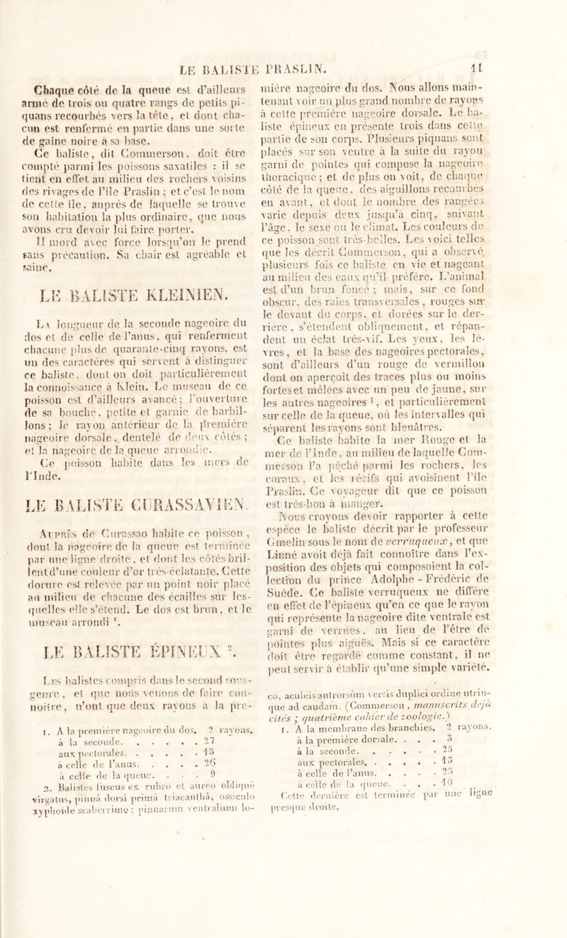 Chaque colt* de. la queue est d’ailleurs armé de trois ou quatre rangs de petits pi- quans recourbés vers la tète, et dont cha- cun est renfermé en partie dans une sorte de gaine noire à sa base. Ce baliste, dit Commerson, doit être compté parmi les poissons saxatilcs : ii se tient en effet au milieu des rochers voisins des rivages de î’îie Praslin ; et c’est le nom de cette île, auprès de laquelle se trouve son habitation la plus ordinaire, que nous avons cru devoir lui faire porter. Il mord avec force lorsqu’on le prend sans précaution. Sa chair est agréable et saine. La longueur de la seconde nageoire du dos et de celle de l’anus, qui renferment chacune plus de quarante-cinq rayons, est un des caractères qui servent à distinguer ce baliste, dont on doit particulièrement la connoissance à Klein. Le museau de ce poisson est d’ailleurs avancé; l’ouverture de sa bouche, petite et garnie de barbil- lons ; le rayon antérieur de la première nageoire dorsaledentelé de deux cotés; et la nageoire delà queue arrondie. Ce poisson habite dans les mers de l'Inde. Auprès de Gurassao habite ce poisson , dont la nageoire de la queue est terminée par une ligne droite, et dont les côtésbrii- icntd’une couleur d’or Irés-éciatante. Cette dorure est relevée par un point noir placé au milieu de chacune des écailles sur les- quelles elle s’étend. Le dos est brun, et le museau arrondi K Les balisles compris dans le second sous- mière nageoire du dos. Aious allons main- tenant voir un plus grand nombre de rayons à celte première nageoire dorsale. Le ba- liste épineux en présente trois dans celte partie de son corps. Plusieurs piquans sont placés sur son ventre à la suite du rayon garni de pointes qui compose la nageoire thoracique; et de plus on voit, de chaque coté de la queue, des aiguillons recourbés en avant, et dont le nombre des rangées varie depuis deux, jusqu’à cinq, suivant l’âge, le sexe ou le climat. Les couleurs de ce poisson sont très-belles. Les voici telles que les décrit Commerson, quia observé, plusieurs fois ce baliste en vie et nageant au milieu des eaux qu’il préfère. L’animal est d’un brun foncé; mais, sur ce fond obscur, des raies transversales , rouges sur le devant du corps, et dorées sur le der- rière, s’étendent obliquement, et répan- dent un éclat très-vif. Les yeux, les lè- vres, et la base des nageoires pectorales, sont d’ailleurs d’un rouge de vermillon dont on aperçoit des traces plus ou moins fortes et mêlées avec un peu de jaune, sur les autres nageoires 1 2, et particulièrement sur celle de la queue, où les intervalles qui séparent les rayons sont bleuâtres. Ce baliste habite la mer Rouge et la mer de l’Inde, au milieu de laquelle Com- merson Fa péché parmi les rochers, les coraux, et les iédite qui avoisinent File Praslin. Ce voyageur dit que ce poisson est très-bon à manger. Nous croyons devoir rapporter à cette espèce le baliste décrit par le professeur Gmelin sous le nom de verraqueux, et que Linné avoit déjà fait connoître dans l’ex- position des objets qui composoient la col- lection du prince Adolphe - Frédéric de Suède. Ce baliste verruqueux ne diffère en effet de l’épineux qu’en ce que le rayon qui représente la nageoire dite ventrale est garni de verrues, au lieu de l’être de pointes plus aiguës. Mais si ce caractère doit être regardé comme constant, il ne. peut servir à établir qu’une simple variété. genre, et que nous venons de faire etm- noitre, n’ont que deux rayons à la pre- 1. A la première nageoire du dos. 2 rayons, à la seconde 27 aux pectorales. .... * 13 à celle de l’anus. . ... 26 à celle de la queue. ... 9 2. Balisles fuscus ex rubro et aureo oblique virgatus, pimra dorsi prima triacanlba, ossicuio co, aculeis antrorsùm versis duplici ordine utrin- que ad caudam. (Commerson, manu s dits déjà cites ‘ quatrième cahier de zoologie.) i. A la membrane des branchies. 2 rayons, à la première dorsale. ...•'&gt; à la seconde. . .... 25 aux pectorales 13 à celle de l’anus 2.&gt; à celle de la queue. . . . fù Cette dernière est terminée par une ligue