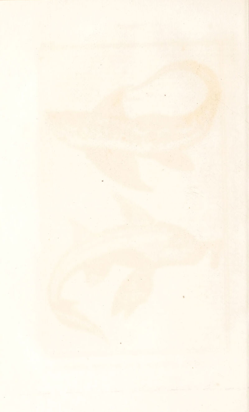 «