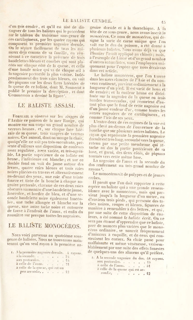 LE LÀ LISTE CENDRE. d’un gris cendré, et qu’il est aisé de dis- tinguer de tous les balistes qui le précèdent sur le tableau du troisième sous-genre de ces cartilagineux, par les quatre rayons qui composent sa première nageoire dorsale. On le sépare facilement de tous les ani- maux déjà connus de sa famille, eu réu- nissant à ce caractère la présence de trois bandelettes bleues et courbes qui sont pla- cées sur chaque côté de la queue, et celle d’une bande noire qui va de chaque œil à la nageoire pectorale la plus voisine. Indé- pendamment des trois raies bleues, on voit despiquans sur les deux faces latérales de la queue de ce balisle, dont M. Sonncrafa publié le premier la description , et dont Commerson a dessiné la figure’. LE BALISTE ASSASL Fosskael a observé sur les rivages de l’Arabie ce poisson de la mer Rouge, qui montre sur son corps un grand nombre de verrues brunes. et, sur chaque face laté- rale de sa queue, trois rangées de verrues noires. Cet animal, dont on mange la chair, quoiqu’elle ne soit pas trés-succulcnte, pré- sente d’ailleurs une disposition de couleurs assez régulière, assez variée, et très-agréa- ble. La partie supérieure de ce batiste est brune, l’inférieure est blanche ; et sur ce double fond on voit du jaune autour des lèvres, quatre raies bleues et trois raies noires placées en travers et alternativement au-devant des yeux, une raie d’une teinte foncée et tirée de la bouche à chaque na- geoire pectorale, chacune de ces deux raies obscures surmontée d’une bandelette jaune, lancéolée, et bordée de bleu, et d’une se- conde bandelette noire également lancéo- lée , une tache allongée et blanche sur la queue, une autre tache noire et entourée de fauve à l’endroit de l’anus, et enfin du roussâtre sur presque toutes les nageoires. LE BALISTE MONOCÉROS. Nous voici parvenus au quatrième sous- genre de balistes. Nous ne trouverons main- tenant qu’un seul rayon à la première na- i. A la première nageoire dorsale. 4 rayon*. à la seconde 24 aux pectorales 14 à celle de l’anus 21 à celle de la queue, qui est un peu arrondie, , . . . .12 15 geoire dorsale et à la thorachique. A la tète de ce sous-genre, nous avons inscrit Je monocéros. Ce nom de monocéros, qui dé- signe la sorte de corne unique que l'on voit sur le dos du poisson, a été donné à plusieurs balistes. vous avons déjà vu que Plumier l’avoit appliqué au chinois; mais, a l’exemple de Linné et d’un grand nombt e o autres naturalistes, nous Remployons uni- quement pour l’espèce que nous décrivons dans cet article. Le baliste monocéros, que l’on trouve dans les mers chaudes de l’Asie el du nou- veau continent, parvient ordinairement à la longueur d’un pied. Il est varié de brun et de cendré ; et la couleur brune est distri- buée sur la nageoire de la queue en trois bandes transversales, qui ressortent d’au- iant plus que le fond de cette nageoire est d un jaune couleur d’or, comme toutes les autres nageoires de ce cartilagineux, et comme l’iris de ses yeux. L’entre-deux de ces organes de la vue est plus élevé au-dessus de l’ouverture de la bouche que sur plusieurs autres balistes. Le rayon qui représente la première nageoire dorsale est très-long, recourbé vers la queue, retenu par une petite membrane qui at- tache au dos la partie postérieure de sa hase, et garni, des deux côtés, de piquans tournés vers cette même base. La nageoire de l’anus et la seconde du dos renferment un très-grand nombre de rayons L Le monocéros vit de polvpes et de jeunes crabes. ' Il paroît que l’on doit rapporter à cette espèce un baliste qui a une grande ressem- blance avec le monocéros, mais qui par- vient jusqu’à la longueur d’un mètre, ou d’environ trois pieds, qui présente des ta- cuos noires, rouges et bleues, figurées de manière à ressembler à des lettres, et qui, par une suite de cette disposition de cou- leurs, a été nommé le balisle écrit. On ne scia pas étonné d apprendre que ce baliste, paré de nuances plus variées que le mono- ceros ordinaire, se nourrit fréquemment d. animaux à coquille, et de ceux qui con- struisent les coraux. Sa chair passe pour malfaisante et même vénéneuse, vraisem- blablement par une suite des effets funestes de quelques-uns des alimens qu’il préfère. i- A la seconde nageoire du dos. 48 rayons, aux pectorales 15 à celle de l’anus 51 a celle de la queue qui est ar- rondie IJ