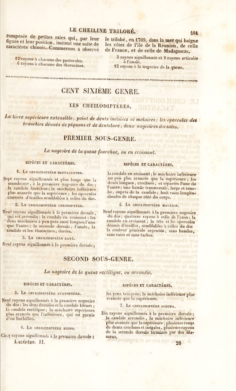 LE CHEILINE TRILOBÉ. m %uiPe°e Ueurpos^üon mitenf ’ Par- le?r |e trilobé » en 1769’ dans la mer qui baigne caractères“Es CnnZ. ™ Tte de lcs CÔtes de nie de la Réunion de celle caracteies chinois..Commerson a observé de France, et de celle de Madagascar. Î2- rayons à chacune des pectorales. 0 rayons à chacune des thoracines. 3 rayons aiguillonnés et 9 rayons articulés à l’anale. 12 rayons a la nageoire de la queue. CENT SIXIÈME GENRE. CES CIIEILODIPTÈRES. La lèvre supérieure extensible; point de dents incisives ni molaires; les opercules des branchies dénués dépiquons et de dentelure; deux nageoires dorsales. PREMIER SOUS-GENRE. La nageoire de la queue fourchue} ou en croissant. ESPÈCES ET CARACTÈRES. 1. Le cheilodiptère heptacanthe. Sept rayons aiguillonnés et plus longs que la membrane , a la première nageoire du dos ; la caudale fourchue; la mâchoire inférieure plus avancée que la supérieure ; les opercules couverts d écaillés semblables à celles du dos. 2. Le cheilodiptère chrysoptère. Neuf rayons aiguillonnés h la première dorsale , qui est arrondie ; la caudale en croissant ; les deux mâchoires à peu près aussi longues l’une que l’autre ; la seconde dorsale , l’anale, la caudale et les thoracines, dorées. 3. Le cheilodiptère rayé. Neuf rayons aiguillonnés à la première dorsale; ESPÈCES ET CARACTÈRES. la caudale en croissant ; le mâchoire inférieure un peu plus avancée que la supérieure ; les dents longues , crochues , et séparées l’une de l’autre ; une bande transversale, large et cour- be , auprès de la caudale ; huit raies longitu- dinales de chaque côté du corps. 4» Le cheilodiptère Maurice. Neuf rayons aiguillonnés h la première nageoire du dos; quatorze rayons h celle de l’anus; la caudale en croissant ; la tête et les opercules dénués d écaillés , semblables à celles du dos la couleur générale argentée, sans bandes, sans raies et sans taches. SECOND SOUS-GENRE. La nageoire de la queue rectiligne, ou arrondie. ESPÈCES ET CARACTÈRES. 5. Le cheilodiptère cyanoptère. Neuf rayons aiguillonnés à la première nageoire du dos ; les deux dorsales et la caudale bleues ; la caudale rectiligne ; la mâchoire supérieure plus avancée que l’inférieure, qui est garnie d’un barbillon. 6. Le cheilodiptère eoops. Cinq rayons aiguillonnés à la première dorsale j Lacépède. IL ESPÈCES ET CARACTÈRES. les yeux très-gros; la mâchoire inférieure plus- avancée que la supérieure. 7. Le CnEILODIPTÈRE ACOUPA. Dix rayons aiguillonnés à la première dorsale ; la caudale arrondie , la mâchoire inférieure plus avancée que la supérieure ; plusieurs rangs de dents crochues et inégales , plusieurs rayons de la seconde dorsale terminés par des fila* meus. 2S