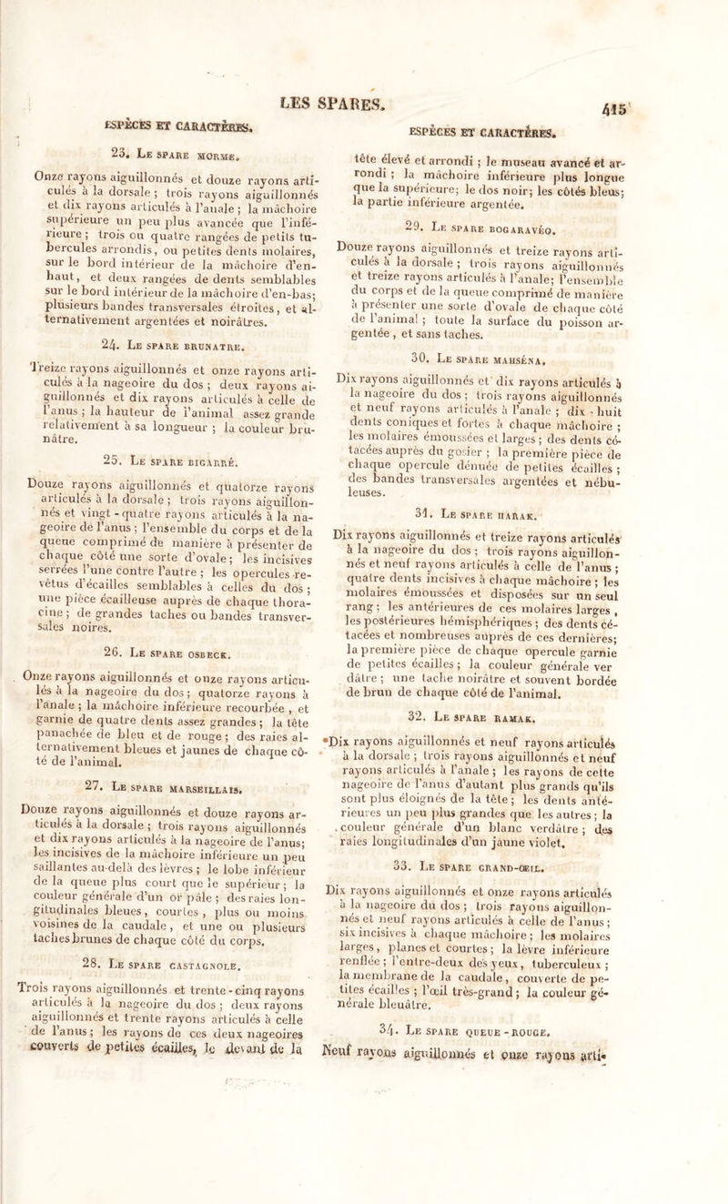ESPÈCES Eï CARACTÈRES. ESPÈCES ET CARACTÈRES, ,1 23. Le spare horme. Onze rayons aiguillonnes et douze rayons arti- cules à la dorsale ; trois rayons aiguillonnés et dix rayons articulés à l’anale ; la mâchoire supérieure un peu plus avancée que l’infé- îieure ; trois ou quatre rangées de petits tu- bercules arrondis, ou petites dents molaires, sur le bord intérieur de la mâchoire d’en- haut, et deux rangées de dents semblables sur le bord intérieur de la mâchoire d'en-bas; plusieurs bandes transversales étroites, et al- ternativement argentées et noirâtres. 24. Le SPARE BRUNATRE. Treize rayons aiguillonnés et onze rayons arti- cules à la nageoire du dos ; deux rayons ai- guillonnés et dix rayons articulés à celle de l’anus ; la hauteur de l’animal assez grande 1 elativement a sa longueur ; la couleur bru- nâtre. 25. Le SPARE BIGARRÉ. Douze rayons aiguillonnés et quatorze rayons articules a la dorsale ; trois rayons aiguillon- nés et vingt - quatre rayons articulés à la na- geoire de l’anus ; l’ensemble du corps et de la queue comprimé de manière à présenter de chaque côté une sorte d ovale; les incisives serrées l’une contre l’autre ; les opercules re- vêtus d’écailles semblables à celles du dos ; une pièce ecailleuse auprès de chaque thora- cine ; de grandes taches ou bandes transver- sales noires. 26. Le SPARE OSBECK. Onze rayons aiguillonnés et onze rayons articu- les a la nageoire du dos ; quatorze rayons à l’anale ; la mâchoire inférieure recourbée , et garnie de quatre dents assez grandes; la tête panachée de bleu et de rouge ; des raies al- ternativement bleues et jaunes de chaque cô- té de l’animal. 27. Le spare marseillais. Douze layons aiguillonnés et douze rayons ar- ticulés à la dorsale ; trois rayons aiguillonnés et dix rayons articulés à la nageoire de l’anus; les incisives de la mâchoire inférieure un peu saillantes au-delà des lèvres ; le lobe inférieur de la queue plus court que le supérieur ; la couleur générale d’un or pâle ; des raies lon- gitudinales bleues, courtes , plus ou moins voisines de la caudale , et une ou plusieurs taches brunes de chaque côté du corps. 28. Le SPARE CASTAGNOLE. Trois rayons aiguillonnés et trente - cinq rayons articulés à la nageoire du dos ; deux rayons aiguillonnés et trente rayons articulés à celle de l’anus; les rayons de ces deux nageoires couverts de petites écailles, le devant de la 415 tête élevé et arrondi ; le museau avancé et ar- rondi ; la mâchoire inférieure plus longue que la supérieure; le dos noir; les côtés bleus; la partie inférieure argentée. 29. Le spare bogaravéq. Douze rayons aiguillonnés et treize rayons arti- cules à la dorsale ; trois rayons aiguillonnés et treize rayons articulés à l’anale; l’ensemble du corps et de la queue comprimé de manière a présenter une sorte d’ovale de chaque côté de 1 animal ; toute la surface du poisson ar- gentée , et sans taches. 30. Le spare maiiséna. Dix rayons aiguillonnés et dix rayons articulés à la nageoire du dos ; trois rayons aiguillonnés et neuf rayons articulés à l’anale ; dix - huit dents coniques et fortes à chaque mâchoire ; les molaires émoussées et larges ; des dents co- tacees auprès du gosier ; la première pièce de chaque opercule dénuée de petites écailles ; des bandes transversales argentées et nébu- leuses. 31. Le spare iiarak. Dix rayons aiguillonnés et treize rayons articulés à la nageoire du dos ; trois rayons aiguillon- nes et neuf rayons articules a colle de l’anus ; quatre dents incisives à chaque mâchoire ; les molaires émoussées et disposées sur un seul rang; les antérieures de ces molaires larges , les postérieures hémisphériques; des dents cé- tacees et nombreuses auprès de ces dernières; la première pièce de chaque opercule garnie de petites écailles ; la couleur générale ver dâlre ; une tache noirâtre et souvent bordée de brun de chaque côté de l’animal. 32. Le spare ramak. Dix rayons aiguillonnés et neuf rayons articulés à la dorsale ; trois rayons aiguillonnés et neuf rayons articulés à l’anale ; les rayons de cette nageoire de l’anus d’autant plus grands qu’ils sont plus éloignés de la tête ; les dents anté- rieures un peu plus grandes que les autres ; la &gt;couleur générale d’un blanc verdâtre; des raies longitudinales d’un jaune violet. 33. Le spare grand-oeil. Dix rayons aiguillonnés et onze rayons articulés à la nageoire du dos ; trois rayons aiguillon- nés et neuf rayons articulés à celle de l’anus; six incisives a chaque mâchoire ; les molaires laiges, planes et courtes; la lèvre inférieure renflee ; 1 entre-deux des yeux, tuberculeux; la membrane de la caudale, couverte de pe- tites écailles ; l’œil très-grand ; la couleur gé- nérale bleuâtre. 34. Le spare queue-rouge. Neuf rayons aiguillonnés et onze rayons arti«