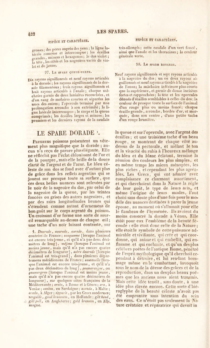 esfèce et caractères» crosses ; des pores auprès des jeux ; la ligne la- térale rameuse et interrompue; les écailles crandes, minces et hexagones; le dos violet ; la tête , les côtés et les nageoires variés de vio- let et de jaune. 97. Le spare queue-verte. Dix rayons aiguillonnés et neuf rayons articulés à la dorsale ; les rayons aiguillonnés de la dor- sale filamenteux; trois rayons aiguillonnés et huit rayons articulés à l’anale ; chaque mâ- choire garnie de deux laniaires recourbées, et d’un rang de molaires courtes et séparées les unes des autres; l’opercule terminé par une prolongation arrondie à son extrémité ; la li- gne latérale interrompue ; le corps et la queue comprimés ; les écailles larges et minces ; les premiers et les derniers rayons de la caudale LE SPARE DORADE Plusieurs poissons présentent un vête- ment plus magnifique que la dorade ; au- cun n’a reçu de parure plus élégante. Elle ne réfléchit pas l’éclat éblouissant de l’or et de la pourpre, mais elle brille delà douce clarté de l’argent et de l’azur. Le bleu cé- leste de son dos se fond avec d’autant plus de grâce dans les reflets argentins qui se jouent sur presque toute sa surface, que ces deux belles nuances sont relevées par le noir de la nageoire du dos, par celui de la nageoire de la queue, par les teintes foncées ou grises des autres nageoires, et par des raies longitudinales brunes qui s’étendent comme autant d’ornemens de bon goût sur le corps argenté du poisson. Un croissant d’or forme une sorte de sour- cil remarquable au-dessus de chaque œil ; une tache d’un noir luisant contraste, sur 1. Daurade, aourade, aurado, dans plusieurs contrées de France; sauquesme (lorsque l’animal est encore très-jeune , et qu’il n’a pas deux déci- mètres de long), mèjane (lorsque l’animal est moins jeune, mais qu’il n’a pas encore quatre décimètres de longueur) , subre daurade (lorsque l’animal est très-grand), dans plusieurs dépar- temens méridionaux de France ; saucanclle (lors- que l’animal est encore très-jeune, et qu’il n’a pas deux décimètres de long) , poumerengue, ou paumergrav (lorsque l’animal est moins jeune, mais qu’il n’a pas encore quatre décimètres de longueur) , sur quelques côtes françaises de la Méditerranée ; orata, à Rome et à Gênes ; or a, à Venise ; canina, en Sardaigne ; aurada, h Malte ; orada, K Alger ; sippuris , par les Grecs modernes; ver guide, gond braassem, en Hollande ; gilt head, giltpoll, en Angleterre; gold brassem, en Aile, magne. ESPÈCE ET CARACTÈRES. très-allongés ; cette caudale d’un vert foncé , ainsi que l’anale et les thoracines ; la couleur générale verte. 98. Le spare rouceor. Neuf rayons aiguillonnés et sept rayons articulés à la nageoire du dos ; un ou deux rayons ai- guillonnés et neuf rayons articulés à la nageoire de l’anus; la mâchoire inférieure plus courte que la supérieure , et garnie de douze incisives fortes et rapprochées ; la tête et les opercules dénués d’écailles semblables à celles du dos; la couleur de presque toute la surface de l’animal d’un rouge plus ou moins foncé ; chaque écaille grande , arrondie, bordée d’or, et mar- quée , dans son centre , d’une petite tache d’un rouge brunâtre. la queue et sur l’opercule, avec l’argent des écailles ; et une troisième tache d’un beau rouge, se montrant de chaque côté au- dessus de la pectorale, et mêlant le ton et la vivacité du rubis à l’heureux mélange du bleu et du blanc éclatant, termine la réunion des couleurs les plus simples, et en même temps les mieux ménagées, les plus riches , et cependant les plus agréa- bles. Les Grecs, qui ont admiré avec complaisance ce charmant assortiment, et qui cherchoient dans la Nature la règle de leur goût, le type de leurs arts, et même l’origine de leurs modes, l’ont choisi sans doute plus d’une fois pour le mo- dèle des nuances destinées à parer la jeune épouse, au moment où s’allumait pour elle le flambeau de Phyménée. Us avoient du moins consacré la dorade à Vénus. Elle étoit pour eux l’emblème delà beauté fé- conde : elle étoit donc celle de la Nature ; elle étoit le symbole de cetle puissance ad- mirable et vivifiante, qui crée et qui coor- donne, qui anime et qui embellit, qui en- flamme et qui enchante, et qu’un desplus célèbres poètes de l’antique Rome, pénétré de l’esprit mythologique qu’il clicrchoit ce- pendant à détruire, et lui rendant hom- mage même en le combattant , invoquait sous le nom de la déesse des grâces et de la reproduction, dans un desplus beaux poè- mes que les anciens nous aient transmis. Mais celte idée tenoit, sans doute, à une idée plus élevée encore. Cetle sorte d’hié- roglyphe de la beauté céleste n’avoit pas été empruntée sans intention du sein des eaux. Ce n’étoit pas seulement la Na- ture créatrice et réparatrice qui devoit in