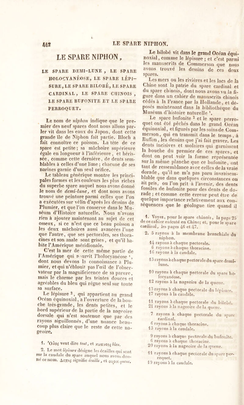 M2 LE SPARE NIPHON. LE SPARE NIPHON, LE SPARE DEMI-LUNE , LE SPARE IIOLOGYANÉOSE, LE SPARE LÉPI- SURE, LESPARE BILOBÉ, LE SPARE CARDINAL, LE SPARE CHINOIS, LE SPARE BUFONITE ET LE SPARE PERROQUET. Le nom de niphon indique que le pre- mier des neuf spares dont nous allons par- ler vit dans les eaux du Japon, dont cette grande île de Niphon fait partie. Bloch a fait connoître ce poisson. La tête de ce spare est petite ; sa mâchoire supérieure égale en longueur à l’inférieure , et héris- sée , comme cette dernière, de dents sem- blables à celles d’une lime ; chacune de ses narines garnie d’un seul orifice. Le tableau générique montre les princi- pales formes et les couleurs les plus riches du superbe spare auquel nous avons donné le nom de demi-lune, et dont nous avons trouvé une peinture parmi celles que l’on a exécutées sur vélin d’après les dessins de Plumier, et que l’on conserve dans le Mu- séum d’Histoire naturelle. Nous n’avons rien à ajouter maintenant au sujet de cet osseux, si ce n’est que ce beau poisson a les deux mâchoires aussi avancées l’une que l’autre, que ses pectorales, ses thora- cines et son anale sont grises , et qu’il ha- bite l’Amérique méridionale. C’est la mer de cette même partie de l’Amérique qui nmrrit l’holocyanéose 1, dont nous devons la connoissance à Plu- mier, et qui n’éblouit pas l’œil de l’obser- vateur par la magnificicence de sa parure, mais le charme par les teintes douces et agréables du bleu qui règne seul sur toute sa surface. Le lépisure 2, qui appartient au grand Océan équinoxial, a l’ouverture de la bou- che très-grande, les dents petites, et le bord supérieur de la partie de la nageoire dorsale qui n’est soutenue que par des rayons aiguillonnés, d’une nuance beau- coup plus claire que le reste de cette na- geoire. !• ’Oâoç veut dire tout, et xuaveoç bleu. 2. Le mot lépisure désigne les écailles qui sont sur la caudale du spare auquel nous avons don- né ce nom. Ae7T»S signifie écaille , et ovpu. queue. Le bilobé vit dans le grand Océan équi- noxial , comme le lépisure ; et c’est parmi les manuscrits de Commerson que nous avons trouvé les dessins de ces deux spares. Les mers ou les rivières et les lacs de la Chine sont la patrie du spare cardinal et du spare chinois, dont nous avons vu la fi- gure dans un cahier de manuscrits chinois cédés à la France par la Hollande, et dé- posés maintenant dans la bibliothèque du Muséum d’histoire naturelle 4. Le spare bufonite 2 et le spare perro- quet ont été pêchés dans le grand Océan équinoxial, et figurés par les soins de Coin- merson, qui en transmit dans le temps, à Bulfon, les dessins que j’ai fait graver. Les dents incisives et molaires qui garnissent la bouche du premier de ces spares, et dont on peut voir la forme représentée sur la même planche que ce bufonite, ont tant de ressemblance avec celles de la vraie dorade, qu’il ne m’a pas paru invraisem- blable que dans quelques circonstances on âit pris, ou l’on prît à l’avenir, des dents fossiles de bufonite pour des dents de do- rade ; et comme cette erreur peut être de quelque importance relativement aux con- séquences que le géologue tire quand il 1. Voyez, pour le spare chinois, la page 25 de ce cahier exécuté en Chine; et, pour le spare cardinal, les pages 46 et 47. 2. 5 rayons à la membrane branchiale du niphon. 14 rayons à chaque pectorale. 6 rayons à chaque thoracine. 16 rayons à la caudale. 13 rayons à chaque pectorale du spare demi- lune. 10 rayons h chaque pectorale du spare ho- locyanéose. 12 rayons à la nageoire de la queue. 13 rayons à chaque pectorale du lépisure. 17 rayons h la caudale. 11 rayons à chaque pectorale du bilobé. 21 rayons à la nageoire delà queue. 7 rayons h chaque pectorale du spare cardinal. 6 rayons à chaque thoracine. 13 rayons à la caudale. 9 rayons h chaque pectorale du bufonite. 6 rayons à chaque thoracine. 20 rayons à la nageoire de la queue. 11 rayons â chaque pectorale du spare per- roquet.