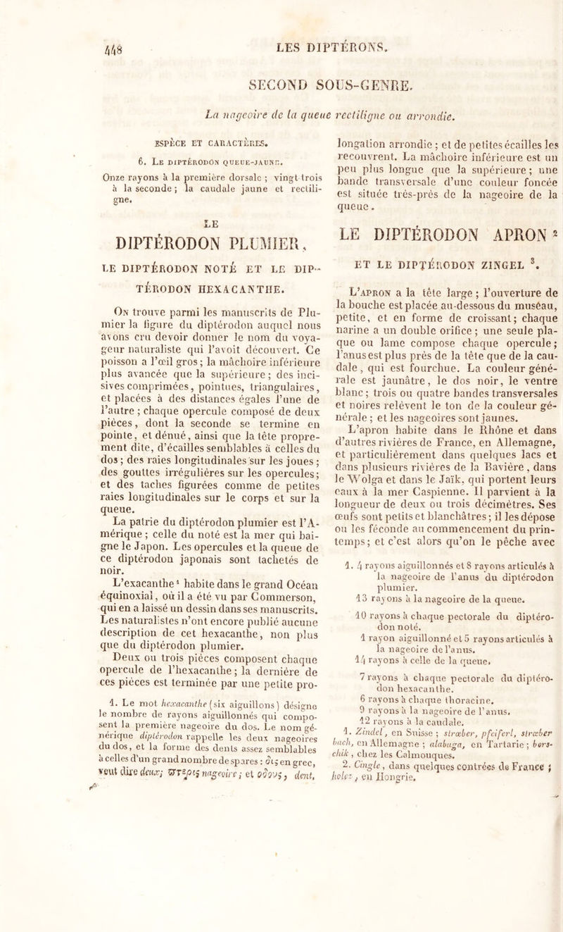 LES DI PTÉRONS. /)48 SECOND S O US-GENRE. La nageoire de la queue rectiligne ou arrondie. ESPÈCE ET CARACTÈRES. 6. Le diptérodon queue-jaune. Onze rayons à la première dorsale ; vingt trois à la seconde ; la caudale jaune et rectili- gne. LE DIPTÉRODON PLUMIER, LE DIPTÉRODON NOTE ET LE DIP- TÉRODON HEXACANTHE. On trouve parmi les manuscrits de Plu- mier la ligure du diptérodon auquel nous avons cru devoir donner le nom du voya- geur naturaliste qui l’avoit découvert. Ce poisson a l’œil gros ; la mâchoire inférieure plus avancée que la supérieure ; des inci- sives comprimées, pointues, triangulaires, et placées à des distances égales l’une de l’autre ; chaque opercule composé de deux pièces, dont la seconde se termine en pointe, et dénué, ainsi que la tête propre- ment dite, d’écailles semblables à celles du dos ; des raies longitudinales sur les joues ; des gouttes irrégulières sur les opercules; et des taches figurées comme de petites raies longitudinales sur le corps et sur la queue. La patrie du diptérodon plumier est l’A- mérique ; celle du noté est la mer qui bai- gne le Japon. Les opercules et la queue de ce diptérodon japonais sont tachetés de noir. L’exacanthe1 habite dans le grand Océan équinoxial, où il a été vu par Gommerson, qui en a laissé un dessin dans ses manuscrits. Les naturalistes n’ont encore publié aucune description de cet hexacanthe, non plus que du diptérodon plumier. Deux ou trois pièces composent chaque opercule de l’hexacanthe ; la dernière de ces pièces est terminée par une petite pro- 4. Le mot hexacanthe [six aiguillons) désigne le nombre de rayons aiguillonnés qui compo- sent la première nageoire du dos. Le nom gé- nérique diptérodon rappelle les deux nageoires du dos, et la forme des dents assez semblables à celles d'un grand nombre de spares : &lt;?ig en grec, veut dire deux; UTnageoire; et Q'h'j;} dent, longalion arrondie ; et de petites écailles les recouvrent. La mâchoire inférieure est un peu plus longue que la supérieure; une bande transversale d’une couleur foncée est située très-près de la nageoire de la queue. LE DIPTÉRODON APRON4 5 ET LE DIPTÉRODON ZINGEL 3. L’apron a la tête large ; l’ouverture de la bouche est placée au-dessous du muséau, petite, et en forme de croissant; chaque narine a un double orifice ; une seule pla- que ou lame compose chaque opercule ; l’anus est plus près de la tête que de la cau- dale , qui est fourchue. La couleur géné- rale est jaunâtre, le dos noir, le ventre blanc; trois ou quatre bandes transversales et noires relèvent le ton de la couleur gé- nérale ; et les nageoires sont jaunes. L’apron habite dans le Rhône et dans d’autres rivières de France, en Allemagne, et particulièrement dans quelques lacs et dans plusieurs rivières de la Bavière , dans le Wolga et dans le Jaïk, qui portent leurs eaux à la mer Caspienne. Il parvient à la longueur de deux ou trois décimètres. Ses œufs sont petits et blanchâtres ; il les dépose ou les féconde au commencement du prin- temps; et c’est alors qu’on le pêche avec 1. 4 rayons aiguillonnés et 8 rayons articulés à la nageoire de l’anus du diptérodon plumier. 13 rayons à la nageoire de la queue. 10 rayons à chaque pectorale du diptéro- don noté. 1 rayon aiguillonné el 5 rayons articulés à la nageoire de l’anus. 14 rayons à celle de la queue. 7 rayons à chaque pectorale du diptéro- don hexacanthe. 6 rayons a chaque thoracine. 9 rayons à la nageoire de l’anus. 12 rayons à la caudale. 1. Zindel, en Suisse ; strœber, pfciferl, strœber bach, en Allemagne ; alabuga, en Tartarie ; bars- chik , chez les Calmouques. 2. Cingle, dans quelques contrées ds France ; ho 1er j çu Hongrie,