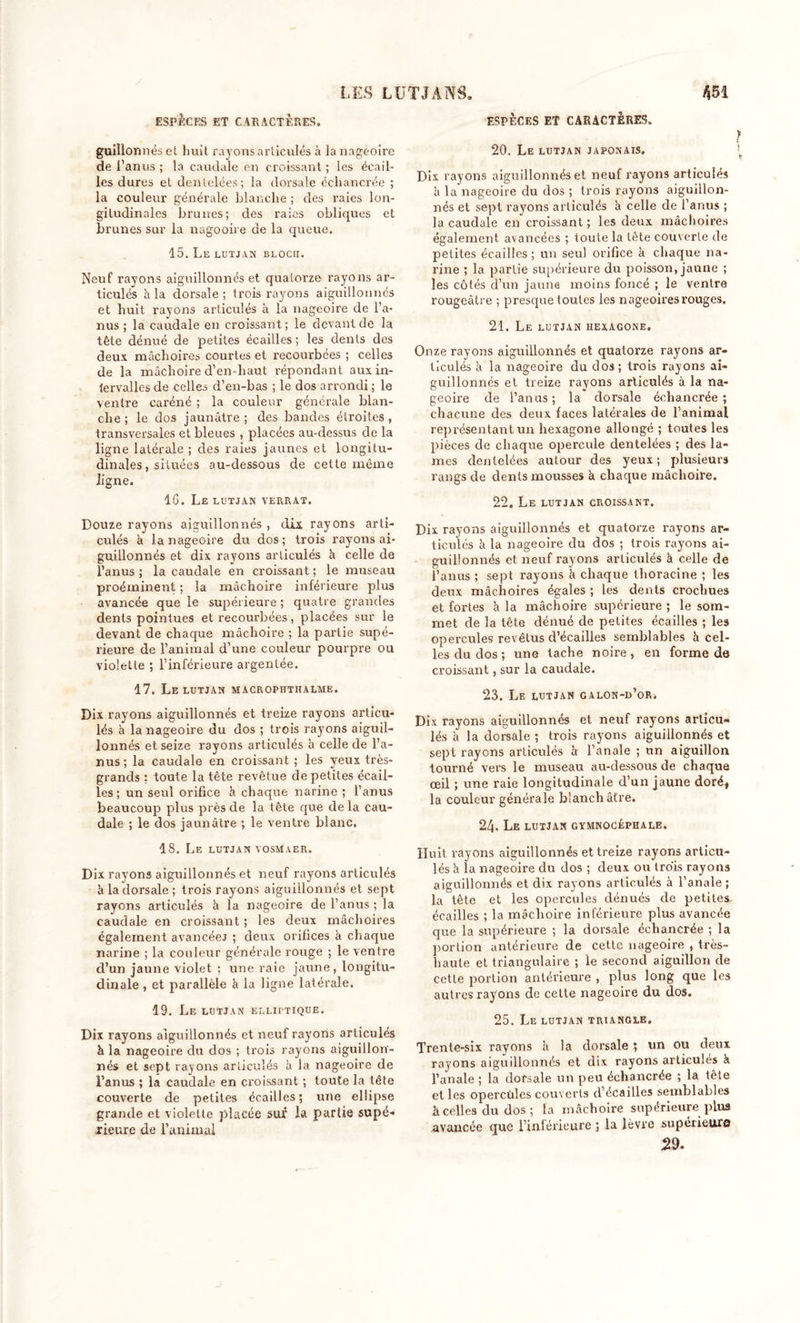 ESPÈCES ET CARACTÈRES. guillonnés et huit rayons articulés à la nageoire de l'anus ; la caudale en croissant ; les écail- les dures et dentelées; la dorsale échancrée ; la couleur générale blanche ; des raies lon- gitudinales brunes; des raies obliques et brunes sur la nagooire de la queue. 15. Le LUTJAN BLOCII. Neuf rayons aiguillonnés et quatorze rayons ar- ticulés h la dorsale; trois rayons aiguillonnés et huit rayons articulés à la nageoire de l’a- nus ; la caudale en croissant; le devant de la tête dénué de petites écailles ; les dents des deux mâchoires courtes et recourbées ; celles de la mâchoire d’en-haut répondant aux in- tervalles de celles d’en-bas ; le dos arrondi ; le ventre caréné ; la couleur générale blan- che ; le dos jaunâtre ; des bandes étroites , transversales et bleues , placées au-dessus de la ligne latérale ; des raies jaunes et longitu- dinales , situées au-dessous de cette même ligne. 16. Le lutjan verrat. Douze rayons aiguillonnés, dix rayons arti- culés à la nageoire du dos; trois rayons ai- guillonnés et dix rayons articulés à celle de l’anus; la caudale en croissant; le museau proéminent ; la mâchoire inférieure plus avancée que le supérieure ; quatre grandes dents pointues et recourbées, placées sur le devant de chaque mâchoire ; la partie supé- rieure de l’animal d’une couleur pourpre ou violette ; l’inférieure argentée. 17. Le lutjan macrophthalme. Dix rayons aiguillonnés et treize rayons articu- lés à la nageoire du dos ; trois rayons aiguil- lonnés et seize rayons articulés à celle de l’a- nus; la caudale en croissant ; les yeux très- grands : toute la tête revêtue de petites écail- les; un seul orifice k chaque narine ; l’anus beaucoup plus près de la tête que delà cau- dale ; le dos jaunâtre ; le ventre blanc, 18. Le lutjan vosmaer. Dix rayons aiguillonnés et neuf rayons articulés à la dorsale; trois rayons aiguillonnés et sept rayons articulés à la nageoire de l’anus ; la caudale en croissant ; les deux mâchoires également avancéej ; deux orifices à chaque narine ; la couleur générale rouge ; le ventre d’un jaune violet : une raie jaune, longitu- dinale , et parallèle à la ligne latérale. 19. Le lutjan elliptique. Dix rayons aiguillonnés et neuf rayons articulés à la nageoire du dos ; trois rayons aiguillon- nés et sept rayons articulés à la nageoire de l’anus ; la caudale en croissant ; toute la tête couverte de petites écailles; une ellipse grande et violette placée sur l»a partie supé- rieure de l’animal ESPÈCES ET CARACTERES, 20. Le lutjan japonais. Dix rayons aiguillonnés et neuf rayons articulés à la nageoire du dos ; trois rayons aiguillon- nés et sept rayons articulés à celle de l’anus ; la caudale en croissant; les deux mâchoires également avancées ; toute la tête couverte de petites écailles; un seul orifice k chaque na- rine ; la partie supérieure du poisson, jaune ; les côtés d’un jaune moins foncé ; le ventre rougeâtre ; presque toutes les nageoires rouges. 21. Le lutjan hexagone. Onze rayons aiguillonnés et quatorze rayons ar- ticulés k la nageoire du dos; trois rayons ai- guillonnés et treize rayons articulés à la na- geoire de l’anus ; la dorsale échancrée ; chacune des deux faces latérales de l’animal représentant un hexagone allongé ; toutes les pièces de chaque opercule dentelées ; des la- mes dentelées autour des yeux; plusieurs rangs de dents mousses k chaque mâchoire. 22. Le lutjan croissant. Dix rayons aiguillonnés et quatorze rayons ar- ticulés k la nageoire du dos ; trois rayons ai- guillonnés et neuf rayons articulés à celle de l’anus ; sept rayons k chaque thoracine ; les deux mâchoires égales ; les dents crochues et fortes k la mâchoire supérieure ; le som- met de la tête dénué de petites écailles ; les opercules revêtus d’écailles semblables k cel- les du dos ; une tache noire, en forme de croissant, sur la caudale. 23. Le lutjan galon-d’or-. Dix rayons aiguillonnés et neuf rayons articu- lés k la dorsale ; trois rayons aiguillonnés et sept rayons articulés k l’anale ; un aiguillon tourné vers le museau au-dessous de chaque œil ; une raie longitudinale d’un jaune doré^ la couleur générale blanchâtre. 21\. Le lutjan gïmnocéphale. Huit rayons aiguillonnés et treize rayons articu- lés k la nageoire du dos ; deux ou trois rayons aiguillonnés et dix rayons articulés à l’anale ; la tête et les opercules dénués de petites écailles ; la mâchoire inférieure plus avancée que la supérieure ; la dorsale échancrée ; la portion antérieure de cette nageoire , très- haute et triangulaire ; le second aiguillon de cette portion antérieure , plus long que les autres rayons de cette nageoire du dos. 25. Le lutjan triangle. Trente-six rayons k la dorsale ; un ou deux rayons aiguillonnés et dix rayons articulés à l’anale ; la dorsale un peu échancrée ; la tête et les opercules couverts d’écailles semblables à celles du dos ; la mâchoire supérieure plus avancée que l’inférieure ; la lèvre supérieure 29.