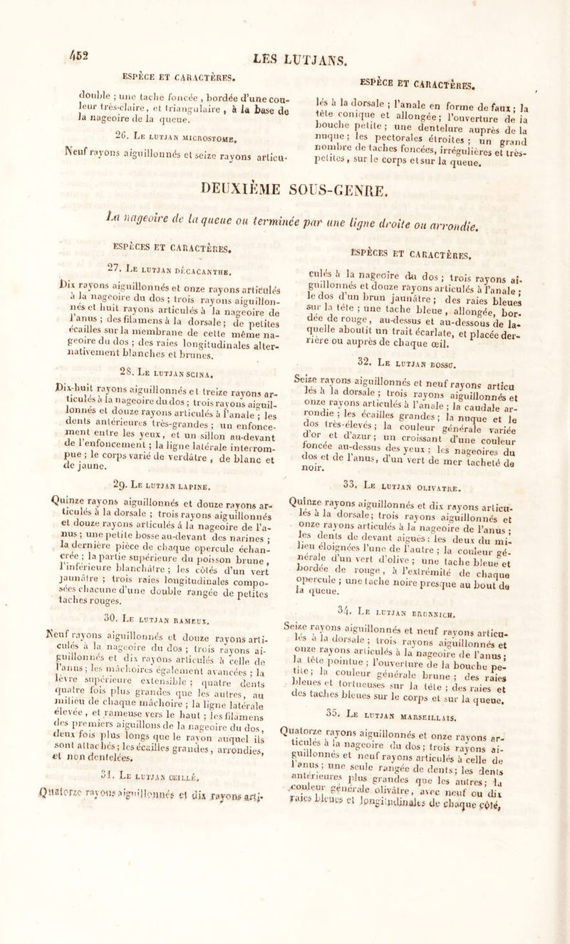ESPÈCE ET CARACTÈRES. double ; une tache foncée , bordée d’une cou- leur très-claire, et triangulaire , à la base de la nageoire de la queue. 26. Le lutjan microstome, Neuf rayons aiguillonnés et seize rayons articu- ESPÈCE ET CARACTÈRES. ^ 1 v tète conique et allongée; l’ouverture de ia bouche petite ; une dentelure auprès de la nuque ; les pectorales étroites ; un grand nombre de taches foncées, irrégulières ettrès- petites, sur le corps etsur la queue. DEUXIÈME SOUS-GENRE. Îm 'nageoire de la queue ou terminée par une ligne droite ou arrondie. espèces et caractères. -7. Le lutjan bécacantije. Dix rayons aiguillonnés et onze rayons articulés a la nageoire du dos ; trois rayons aiguillon- nes et huit rayons articulés à la nageoire de lanus; des filamens à la dorsale; de petites écaillés sur la membrane de cette même na- geoire du dos ; des raies longitudinales alter- nativement blanches et brunes* 28. Le lutjan scina. D'x-huit rayons aiguillonnés et treize rayons ar- ticulés a la nageoire du dos ; trois rayons aiguil- lonnes et douze rayons articulés à l’anale • les dents antérieures très-grandes ; un enfonce- ment entre les yeux, et un sillon au-devant de 1 enfoncement ; la ligne latérale interrom- pue ; le corps varié de verdâtre , de blanc et de jaune. 29. Le lutjan lapine. Quinze rayons aiguillonnés et douze rayons ar- ticules à la dorsale ; trois rayons aiguillonnés et douze rayons articulés â la nageoire de l’a- nus ; une petite bosse au-devant des narines ; la dernière pièce de chaque opercule échan- e ; .a puidie supérieure du poisson brune, 1 inférieure blanchâtre; les côtés d’un vert jaunâtre ; trois raies longitudinales compo- sées chacune d’une double rangée de petites taches rouges. 1 oO. Le lutjan rameux, Neuf rayons aiguillonnés et douze rayons arti- cules a la nageoire du dos ; trois rayons ai- guillonnés et dix rayons articulés U celle de lanus; les mâchoires également avancées • la lèu-e supérieure extensible; quatre dents quatre lois plus grandes que les autres, au milieu de chaque mâchoire ; la ligne latérale elevee , et rameuse vers le haut ; les filamens des premiers aiguillons de la nageoire du dos deux fois plus longs que le rayon auquel ils sont attachés; les écailles grandes, arrondies, et non dentelces. ol. Le ll-tjan oeillé. Quciorzc ro\ous aiginjlonpég et dix rayons artj- ÊSPÈCES ET CARACTÈRES, cuits h la nageoire du dos ; trois rayons ai- guillonnes et douze rayons articulés à l’anale • le dos dun brun jaunâtre; des raies bleues sur la tete ; une tache bleue , allongée, bor- dee de rouge, au-dessus et au-dessous de la- quelle aboutit un trait écarlate, et placée der- rière ou auprès de chaque œil. 32. Le lutjan bossu. Seize rayons aiguillonnés et neuf rayon, articu les a la dorsale ; trois rayons aiguillonnés et ronndieaTS ^m^3 * ranale 1 Caudale ar- rondie les écailles grandes; la nuque et le 'if' !Cvési la «O**» g^rale 01 et d azur ; un croissant d’une couleur dos rtflTy SaS $ yeul &gt; naSe0*rei du noir! ' nUS ' d ““ ïert de lachelé &lt;1. 00, Le lutjan olivâtre. Quinze rayons aiguillonnés et dix rayons articu- les a la dorsale; trois rayons aiguillonnés et onze rayons articulés à la nageoire de l’anus • les dents de devant aiguës: les deux du mil lieu éloignées l’une de l’autre ; la couleur aé- nerale d un vert d’olive ; une tache bleue et bordée de rouge, à l’extrémité de chaque îTqueue ’ UcllG n°ire PrestIue «« bout de o/|. Le lutjan erijnnich. Seize rayons aiguillonnés et neuf rayons articu- les a ia dorsale ; trois rayons aiguillonnés et onze rayons articulés à la nageoire de l’anus a tete pointue ; l’ouverture de la bouche peI e, la couleur générale brune; des raies ;^Uf!Sr;'t 1o[tueuses sur la tète ; des raies et des tuclies bleues sur le corps et sur la queue. ol&gt;. Le lutjan marseillais. Quatorze rayons aiguillonnés et onze rayons ar- ticu es a la nageoire du dos; trois rayons ai- guil onneset neuf rayons articulés à celle de lanus, une seule rangée de dents; les dents anterieures plus grandes que les autres; la • e!'î ?euci'a-lc olivâtre, a\cc neuf ou dix mCi&gt; Licaus cl Ipngitjidiuaks de chaque côté,