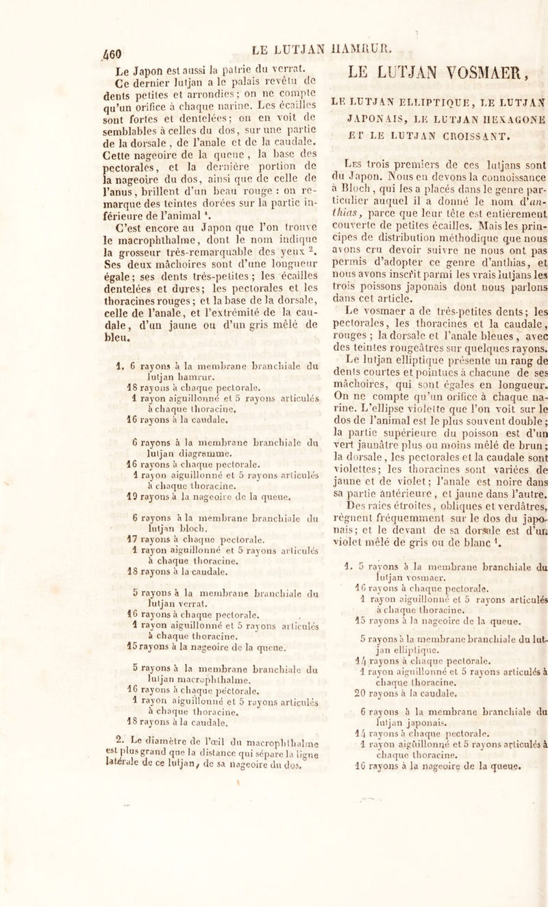 LE LUTJAN 11 AMU U IL 460 Le Japon est aussi la pairie du verrat. Ce dernier lutjan a le palais revelu de dents petites et arrondies ; on ne compte qu’un orifice à chaque narine. Les écailles sont fortes et dentelées; on en voit de semblables à celles du dos, sur une partie de la dorsale , de l’anale et de la caudale. Cette nageoire de la queue , la base des pectorales, et la dernière portion de la nageoire du dos, ainsi que de celle de l’anus, brillent d’un beau rouge : on re- marque des teintes dorées sur la partie in- férieure de l’animal *. C’est encore au Japon que l’on trouve le macrophthalme, dont le nom indique la grosseur très-remarquable des yeux 2. Ses deux mâchoires sont d’une longueur égale; ses dents très-petites; les écailles dentelées et dures; les pectorales et les thoraçines rouges ; et la base de la dorsale, celle de l’anale, et l’extrémité de la cau- dale, d’un jaune ou d’un gris mêlé de bleu, 1, 6 rayons à la membrane branchiale du lutjan hamrur. 18 rayons à chaque pectorale. 1 rayon aiguillonné et 5 rayons articulés à chaque thoracine. 16 rayons à la caudale. 6 l'ayons à la membrane branchiale du lutjan diagramme. 16 rayons à chaque pectorale. 1 rayon aiguillonné et 5 rayons articulés à chaque thoracine. 19 rayons à la nageoire de la queue. 6 rayons à la membrane branchiale du lutjan blocb. 17 rayons à chaque pectorale. 1 rayon aiguillonné et. 5 rayons articulés à chaque thoracine. 18 rayons à la caudale. 5 rayons à la membrane branchiale du lutjan verrat. 16 rayons à chaque pectorale. 1 rayon aiguillonné et 5 rayons articulés k chaque thoracine. 15 rayons à la nageoire de la queue. 5 rayons à la membrane branchiale du lutjan macrophthalme. 16 rayons à chaque pectorale. 1 rayon aiguillonné et 5 rayons articulés à chaque thoracine. 18 rayons à la caudale. 2. Le diamètre de l’œil du macrophthalme est plus grand que la distance qui sépare la ligne latérale de ce lutjan, de sa nageoire du dos. LE LUTJAN VOSMÀER, LF. LU T J AN ELLIPTIQUE, LE LUTJAN JAPONAIS, LE LUTJAN HEXAGONE ET LE LUTJAN CROISSANT. Les trois premiers de ces luljans sont du Japon. Nous en devons la connoissance à Bloch, qui les a placés dans le genre par- ticulier auquel il a donné le nom d’a/i- ihias, parce que leur tète est entièrement couverte de petites écailles. Mais les prin- cipes de distribution méthodique que nous avons cru devoir suivre ne nous ont pas permis d’adopter ce genre d’anlhias, et nous avons inscéit parmi les vrais îutjans les trois poissons japonais dont nous parlons dans cet article. Le vosmaer a de très-petites dents ; les pectorales, les thoraçines et la caudale, rouges ; la dorsale et l’anale bleues , avec des teintes rougeâtres sur quelques rayons. Le lutjan elliptique présente un rang de dents courtes et pointues à chacune de ses mâchoires, qui sont égales en longueur. On ne compte qu’un orifice à chaque na- rine. L’ellipse violette que l’on voit sur le dos de l’animal est le plus souvent double ;; la partie supérieure du poisson est d’un vert jaunâtre plus ou moins mêlé de brun;; la dorsale, les pectorales et la caudale sont violettes; les thoraçines sont variées de jaune et de violet ; l’anale est noire dans sa partie antérieure, et jaune dans l’autre. Des raies étroites, obliques et verdâtres, régnent fréquemment sur le dos du japo- nais; et le devant de sa dorsale est d’uni violet mêlé de gris ou de blanc K 1. 5 rayons à la membrane branchiale du lutjan vosmaer. 16 rayons à chaque pectorale. 1 rayon aiguillonné et 5 rayons articulés à chaque thoracine. 15 rayons à la nageoire de la queue. 5 rayons à la membrane branchiale du lut- jan elliptique. 14 rayons à chaque pectorale. 1 rayon aiguillonné et 5 rayons articulés à chaque thoracine. 20 rayons à la caudale. 6 rayons à la membrane branchiale du lutjan japonais. 14 rayons à chaque pectorale. 1 rayon aiguillonné et 5 rayons articulés à chaque thoracine. 16 rayons à la nageoire de la queue.