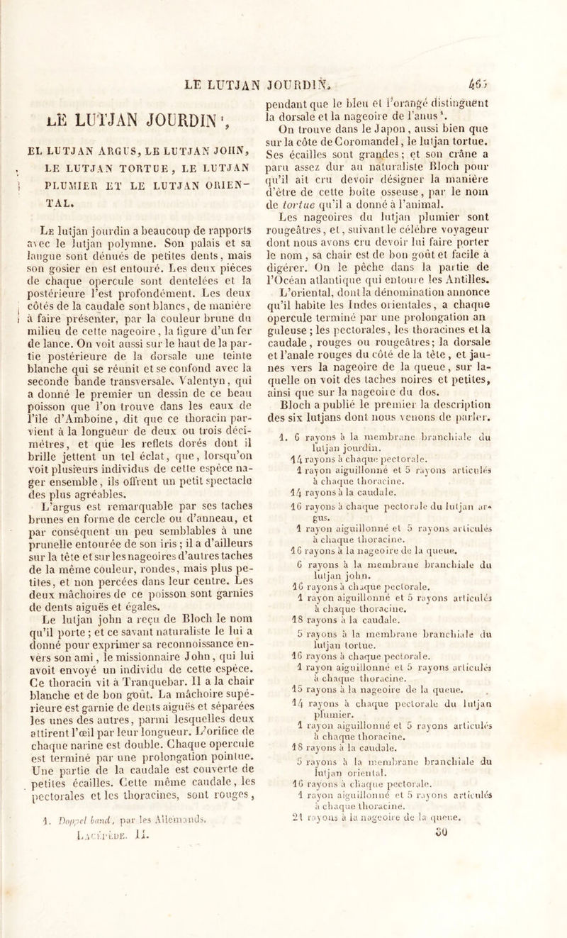 lE lutjan JOURDIN j, EL LUTJAN ARGUS, LE LUTJAN JOIIN, LE LUTJAN TORTUE, LE LUTJAN ! PLUMIER ET LE LUTJAN ORIEN- TAL, Le lutjan jourdin a beaucoup de rapports r^ec le lutjan polymne. Son palais et sa langue sont dénués de petites dents, mais son gosier en est entouré. Les deux pièces de chaque opercule sont dentelées et la postérieure l’est profondément. Les deux . côtés de la caudale sont blancs, de manière i à faire présenter, par la couleur brune du milieu de cette nageoire, la ligure d’un fer de lance. On voit aussi sur le haut de la par- tie postérieure de la dorsale une teinte blanche qui se réunit et se confond avec la seconde bande transversale* Yalentyn, qui a donné le premier un dessin de ce beau poisson que l’on trouve dans les eaux de i’île d’Amboine, dit que ce thoracin par- vient à la longueur de deux ou trois déci- mètres, et que les reflets dorés dont il brille jettent un tel éclat, que, lorsqu’on voit plusieurs individus de cette espèce na- ger ensemble, ils offrent un petit spectacle des plus agréables. L’argus est remarquable par scs taches brunes en forme de cercle ou d’anneau, et par conséquent un peu semblables à une prunelle entourée de son iris ; il a d’ailleurs sur la tète et sur les nageoires d’autres taches de la même couleur, rondes, mais plus pe- tites, et non percées dans leur centre. Les deux mâchoires de ce poisson sont garnies de dents aiguës et égales. Le lutjan john a reçu de Bloch le nom qu’il porte ; et ce savant naturaliste le lui a donné pour exprimer sa reconnoissance en- vers son ami, le missionnaire John, qui lui avoit envoyé un individu de cette espèce. Ce thoracin vit à Tranquebar. Il a la chair blanche et de bon goût. La mâchoire supé- rieure est garnie de dents aiguës et séparées les unes des autres, parmi lesquelles deux attirent l’œil par leur longueur. L’orilice de chaque narine est double. Chaque opercule est terminé par une prolongation pointue. Une partie de la caudale est couverte de petites écailles. Cette même caudale, les pectorales et les thoracines, sont rouges, 1. Doppel band, par les Allemands, Lacéeèoe. IL pendant que le bleu et Lorangé distinguent la dorsale et la nageoire de l’anus \ On trouve dans le J apon, aussi bien que sur la côte de Coromandel, le lutjan tortue. Ses écailles sont grandes ; et son crâne a paru assez dur au naturaliste Bloch pour qu’il ait cru devoir désigner la manière d’être de celte boîte osseuse, par le nom de tortue qu’il a donné à l’animal. Les nageoires du lutjan plumier sont rougeâtres, et, suivant le célèbre voyageur dont nous avons cru devoir lui faire porter le nom, sa chair est de bon goût et facile à digérer. On le pêche dans la partie de l’Océan atlantique qui entoure les Antilles. L’oriental, dont la dénomination annonce qu’il habite les Indes orientales, a chaque opercule terminé par une prolongation an guleuse ; les pectorales, les thoracines et la caudale, rouges ou rougeâtres; la dorsale et l’anale rouges du côté de la tète, et jau- nes vers la nageoire de la queue, sur la- quelle on voit des taches noires et petites, ainsi que sur la nageoiic du dos. Bloch a publié le premier la description des six lutjans dont nous venons de parler. 1. 6 rayons a la membrane branchiale du lutjan jourdin. 14 rayons à chaque pectorale. i rayon aiguillonné et 5 rayons articulés h chaque thoracine. 14 rayons à la caudale. 16 rayons à chaque pectorale du lutjan ar- gus. 1 rayon aiguillonné et 5 rayons articulés à chaque tlioraciue. 16 rayons à la nageoire de la queue. 6 rayons â la membrane branchiale du lutjan john. 16 rayons à chaque pectorale. 1 j'ayon aiguillonné et 5 rayons articulés à chaque thoracine. 18 rayons à la caudale. 5 rayons à la membrane branchiale du lutjan tortue. 16 rayons à chaque pectorale. 1 rayon aiguillonné et 5 rayons articulés à chaque thoracine. 15 rayons à la nageoire de la queue. 14 rayons à chaque pectorale du lutjan plumier. 1 rayon aiguillonné et 5 rayons articulés â chaque thoracine. 18 rayons à la caudale. 5 rayons h la membrane branchiale du lutjan oriental. 16 rayons à chaque pectorale. 1 rayon aiguillonné et 5 rayons articulés à chaque thoracine. 21 rayons à la nageoire de la queue. oU