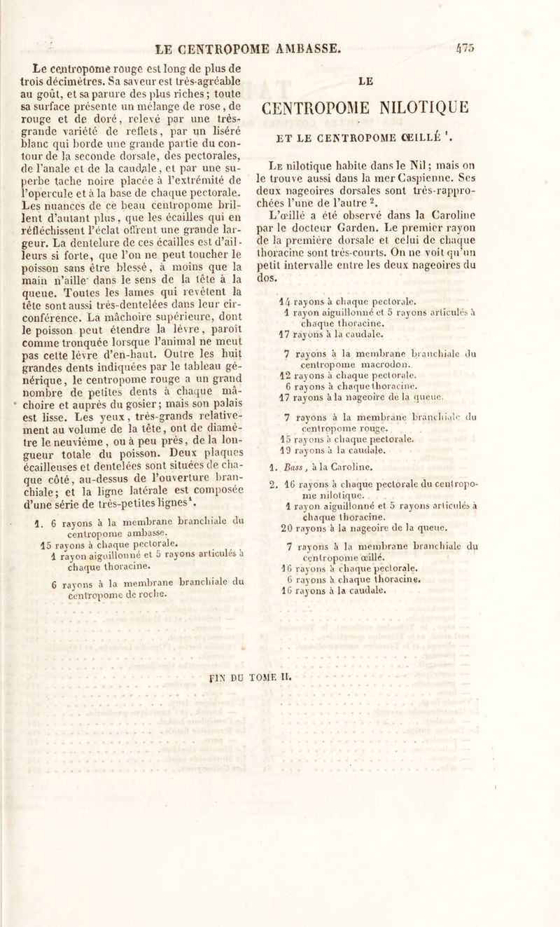 Le centropome rouge est long de plus de trois décimètres. Sa saveur est très-agréable au goût, et sa parure des plus riches ; toute sa surface présente un mélange de rose, de rouge et de doré, relevé par une très- grande variété de reflets, par un liséré blanc qui borde une grande partie du con- tour de la seconde dorsale, des pectorales, de l’anale et de la caud/de, et par une su- perbe facile noire placée à l’extrémité de l’opercule et à la base de chaque pectorale. Les nuances de ce beau centropome bril- lent d’autant plus, que les écailles qui en .réfléchissent l’éclat offrent une grande lar- geur. La dentelure de ces écailles est d’ail- leurs si forte, que l’on ne peut toucher le poisson sans être blessé, à moins que la main n’aille' dans le sens de la tête à la queue. Toutes les lames qui revêtent la tête sont aussi très-dentelées dans leur cir- conférence. La mâchoire supérieure, dont le poisson peut étendre la lèvre, paroît comme tronquée lorsque l’animal ne meut pas cette lèvre d’en-haut. Outre les huit grandes dents indiquées par le tableau gé- nérique, le cenfropome rouge a un grand nombre de petites dents à chaque mâ- • choire et auprès du gosier; mais son palais est lisse. Les yeux, très-grands relative- ment au volume de la tête, ont de diamè- tre le neuvième , ou à peu près, de la lon- gueur totale du poisson. Deux plaques écailleuses et dentelées sont situées de cha- que côté, au-dessus de l’ouverture bran- chiale; et la ligne latérale est composée d’une série de très-petites lignes1. 1. 6 rayons à la membrane branchiale du centropome ambasse. 15 rayons à chaque pectorale. 1 rayon aiguillonne et 5 rayons aiticules a chaque thoi'acine. 6 rayons à la membrane branchiale du centropome de roche. LE CENTROPOME NILOTIQUE ET LE CENTROPOME COLLÉ Le nilotique habite dans le Nil ; mais on le trouve aussi dans la mer Caspienne. Scs deux nageoires dorsales sont très-rappro- chées l’une de l’autre 2. L’œillé a été observé dans la Caroline par le docteur Garden. Le premier rayon de la première dorsale et celui de chaque thoracine sont très-courts. On ne voit qu’un petit intervalle entre les deux nageoires du dos. 14 rayons à chaque pectorale. 1 rayon aiguillonné et 5 rayons articulés h chaque thoracine. 17 rayons à la caudale. 7 rayons à la membrane branchiale du centropome macrodon. 12 rayons à chaque pectorale. 6 rayons à chaque thoracine. 17 rayons à la nageoire de la queue. 7 rayons à la membrane branchiale du centropome rouge. 15 rayons à chaque pectorale. 19 rayons à la caudale. 1. Bass , a la Caroline. 2. 16 rayons à chaque pectorale du centropo- me nilotique. 1 rayon aiguillonné et 5 rayons articulés à chaque thoracine. 20 rayons à la nageoire de la queue. 7 rayons à la membrane branchiale du centropome oeillé. 16 rayons à chaque pectorale. 6 rayons h chaque thoracine. 16 rayons à la caudale. FIN DU TOME II.