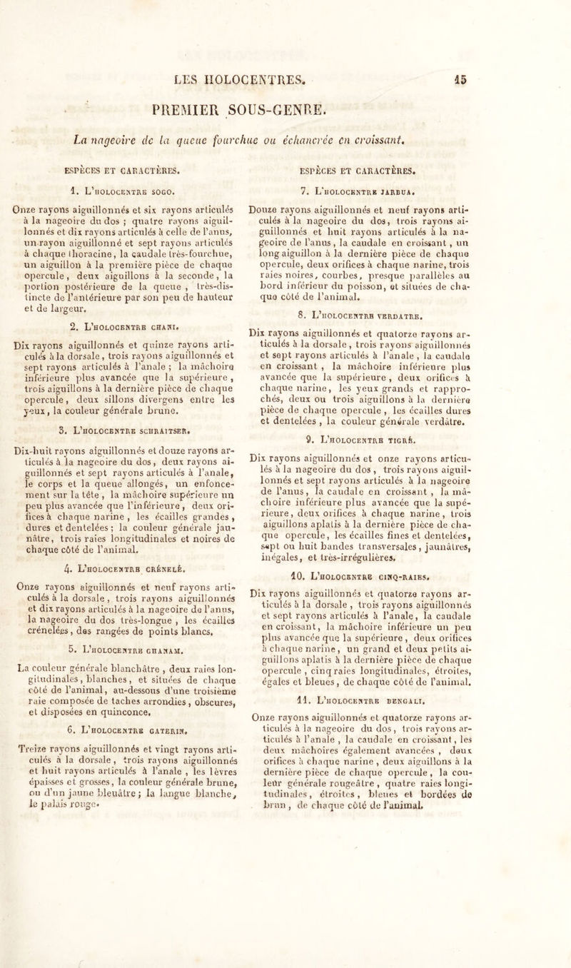 PREMIER SOUS-GENRE. La nageoire clc la queue fourchue ou échancrée en croissant. ESPÈCES ET CARACTÈRES. 1. L’iiolocentre sogo. Onze rayons aiguillonnés et six rayons articulés à la nageoire du dos ; quatre rayons aiguil- lonnés et dix rayons articulés à celle de l’anus, un rayon aiguillonné et sept rayons articulés à chaque ihoracine, la caudale très-fourchue, un aiguillon à la première pièce de chaque opercule , deux aiguillons à la seconde , la portion postérieure de la queue , très-dis- tincte de l’antérieure par son peu de hauteur et de largeur. 2. L’holocentre chani. Dix rayons aiguillonnés et quinze rayons arti- culés à la dorsale, trois rayons aiguillonnés et sept rayons articulés à l’anale ; la mâchoire inférieure plus avancée que la supérieure , trois aiguillons à la dernière pièce de chaque opercule, deux sillons divergens entre les yeux, la couleur générale brune. S. L’HOLOCENTRE SCURA1TSER. Dix-huit rayons aiguillonnés et douze rayons ar- ticulés à la nageoire du dos, deux rayons ai- guillonnés et sept rayons articulés à l’anale, le corps et la queue allongés, un enfonce- ment sur la tête , la mâchoire supérieure un peu plus avancée que l’inférieure , deux ori- fices à chaque narine , les écailles grandes , dures et dentelées ; la couleur générale jau- nâtre, trois raies longitudinales et noires de chaque côté de l’animal. 4. L’holocehtrb crénelé. Onze rayons aiguillonnés et neuf rayons arti- culés à la dorsale , trois rayons aiguillonnés et dix rayons articulés à la nageoire de l’anus, la nageoire du dos très-longue , les écailles crénelées, des rangées de points blancs. 5. L’holocentrb ghanam. La couleur générale blanchâtre , deux raies lon- gitudinales , blanches, et situées de chaque côté de l’animal, au-dessous d’une troisième raie composée de taches arrondies, obscures, et disposées en quinconce, 6. L’hOLOCENTRE GATERîN, Treize rayons aiguillonnés et vingt rayons arti- culés à la dorsale , trois rayons aiguillonnés et huit rayons articulés à l’anale , les lèvres épaisses et grosses, la couleur générale brune, ou d’un jaune bleuâtre j la langue blanche, le palais rouge. ESrÈCES ET CARACTÈRES. 7. L'uolocentue jarbua. Douze rayons aiguillonnés et neuf rayons arti- culés à la nageoire du dos, trois rayons ai- guillonnés et huit rayons articulés à la na- geoire de l’anus, la caudale en croissant , un long aiguillon à la dernière pièce de chaque opercule, deux orifices à chaque narine, trois raies noires, courbes, presque parallèles au bord inférieur du poisson, et situées de cha- que côté de l’animal. 8. L’iiOLOCENTRB VERDATRE. Dix rayons aiguillonnés et quatorze rayons ar- ticulés à la dorsale, trois rayons aiguillonnés et sept rayons articulés h l’anale , la caudale en croissant , la mâchoire inférieure plus avancée que la supérieure , deux orifices â chaque narine, les yeux grands et rappro- chés, deux ou trois aiguillons à la dernière pièce de chaque opercule , les écailles dures et dentelées , la couleur générale verdâtre. 9. L’HOLOCENTRE TIGRÉ. Dix rayons aiguillonnés et onze rayons articu- lés à la nageoire du dos , trois rayons aiguil- lonnés et sept rayons articulés à la nageoire de l’anus, la caudale en croissant , la mâ- choire inférieure plus avancée que la supé- rieure , deux orifices à chaque narine, trois aiguillons aplatis à la dernière pièce de cha- que opercule, les écailles fines et dentelées, s«pt ou huit bandes transversales, jaunâtres, inégales, et très-irrégulières. 10. L’holocentrb cinq-raies. Dix rayons aiguillonnés et quatorze rayons ar- ticulés à la dorsale , trois rayons aiguillonnés et sept rayons articulés à l’anale, la caudale en croissant, la mâchoire inférieure un peu plus avancée que la supérieure , deux orifices à chaque narine, un grand et deux petits ai- guillons aplatis h la dernière pièce de chaque opercule, cinqraies longitudinales, étroites, égales et bleues , de chaque côté de l’animal. 11. L’iiolocentre bengali. Onze rayons aiguillonnés et quatorze rayons ar- ticulés à la nageoire du dos , trois rayons ar- ticulés à l’anale , la caudale en croissant, les deux mâchoires également avancées , deux orifices h chaque narine , deux aiguillons à la dernière pièce de chaque opercule , la cou- leur générale rougeâtre , quatre raies longi- tudinales, étroites, bleues et bordées do bran , de chaque côté de l’animal.