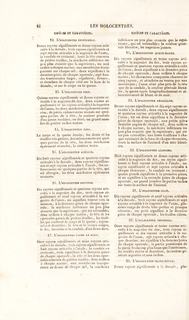 ESPECES ET CARACTÈRES. V 12. L’HOLOCENTRE ÉPINÉPHÉLE, Douze rayons aiguillonnés et douze rayons arti- culés Il la dorsale , trois rayons aiguillonnés et sept rayons articulés à la nageoire de l’anns, la caudale en croissant, toute la tête couverte de petites écailles, la mâchoire inférieure un peu plus avancée que la supérieure, un seul orifice à chaque narine, une membrane trans- parente sur chaque œil, deux aiguillons à la dernière pièce de chaque opercule , sept ban- des transversales larges, régulières, brunes, et étendues de chaque côté sur la base de la dorsale, et sur le corps ou la queue. 13. L’holocentre post. Quinze rayons aiguillonnés et douze rayons ar- ticulés k la nageoire du dos, deux rayons ai- guillonnés et six rayons articulés k la nageoire de l’anus, les deux mâchoires également avan- cées , de petits enfoncemens creusés sur quel- ques parties de 'a tète, la couleur générale d’un jaune verdâtre, ou doré; un grand nom- bre de petites taches noires. 1/j. L’uolocentre noir. Le corps et la queue étroits , les dents et les écailles très petites, des enfoncemens sur quel- ques parties de la Lêlo, les deux mâchoires également avancées, la couleur noire, 15. L’holocentre acérine. Dix-huit rayons aiguillonnés et quatorze rayons articqlés à la dorsale , deux rayons aiguillon- nés et sept rayons articulés k l’anale, des en- foncemens sur quelques parties de la tête, qui est allongea, les deux mâchoires également avancées. 16. L’holocent-re boutton. Dix rayons aiguillonnés et quatorze rayons arti- culés à la nageoire du dos, trois rayons ai- guillonnés et neuf rayons articulés à la na- geoire de l’anus, un aiguillon tourné vers le museau, k la dernière pièce de chaque oper- cule ; la mâchoire inférieure un peu plus avancée que la supérieure , qui est extensible; deux orifices k chaque narine , la tête et les opercules garnis de petites écailles , les écail- les qui revêtent le corps et la queue , rayon- nées et dentelées; la tète et le ventre rouges, le dos, les côtés et la caudale, d’un brun doré. 47. L’holocentre jaune et bleu. Onze rayons aiguillonnés et seize rayons arti- culés k la dorsale , trois rayons aiguillonnés et huit rayons articulés k l’anale , la caudale en croissant, trois aiguillons à la dernière pièce de chaque opercule , la tête et les deux oper- cules couverts de petites écailles, deux orifices k chaque narine, une membrane transpa- rente au dessus de chaque ceil, la mâchoire ESPÈCE} ET CARACTÈRES. inférieure un peu plus avancée que la supé- rieure , qui est extensible ; la couleur géné- rale bleuâtre, les nageoires jaunes. 48, L’holocentre queue-ratée. Dix rayons aiguillonnés et treize rayons arti- culés k la nageoire du dos, trois rayons ai- guillonnés et quatorze rayons articulés k celle de l’anus, deux aiguillons k la dernière pièce de chaque opercule, deux orifices k chaque narine , les thoracines composées chacune de cinq rayons, et attachées au ventre par une membrane ; l’anus situé plus près de la tête que de la caudale, la couleur générale bleuâ- tre, la queue rayée longitudinalement et al- ternativement de blanc et de noir. 19. L’holocentre négrillon. Douze rayons aiguillonnés et dix-sept rayons ar- ticulés k la dorsale, deux rayons aiguillonnés et quatorze rayons articulés k la nageoire de l’anus , un ou deux aiguillons k la dernière pièce de chaque opercule, une petite pièce dentelée auprès de chaque œil, deux orifices k chaque narine, la mâchoire inférieure un peu plus avancée que la supérieure , qui est un peu extensible; une lame écailleuse k cha- que extrémité de la base de chaque thoraeine, toute la surface de l’animal d’un noir bleuâ- tre. 20. L’holocentre léoparu. Huit rayons aiguillonnés et douze rayons arti- culés k la nageoire du dos , un rayon aiguil- lonné et huit rayons articulés k l’anale, un rayon aiguillonné et sept rayons articulés k chaque thoraeine , la caudale en croissant ; quatre grands aiguillons k la première pièce, et un aiguillon k la seconde pièce de chaque opercule ; un grand nombre de petites taches sur toute la surface de l’animal. 24. L’holocentre cilié. Dix rayons aiguillonnés et neuf rayons articulés k la dorsale , trois rayons aiguillonnés et sept rayons articulés k la nageoire de l’anus, plu- sieurs rangs de dents très-petites et presque cétacées, un petit aiguillon k la dernière pièce de chaque opercule, les écailles ciliées. 22. L’holocektre thunberg. Onze rayons aiguillonnés et treize rayons arti- culés à la nageoire du dos, trois rayons ai- guillonnés et dix rayons articulés k la na- geoire de l’anus, sept rayons articulés k cha- que thorcine, un aiguillon k la dernière'piète de chaque opercule, la partie postérieure de la queue beaucoup plus basse que l’antérieure, les écailles striées et dentelées, la couleur gé- nérale argentée et sans taches. 23. L’holocentre blanc-rouge. Douze rayons aiguillonnés k la dorsale , plu-