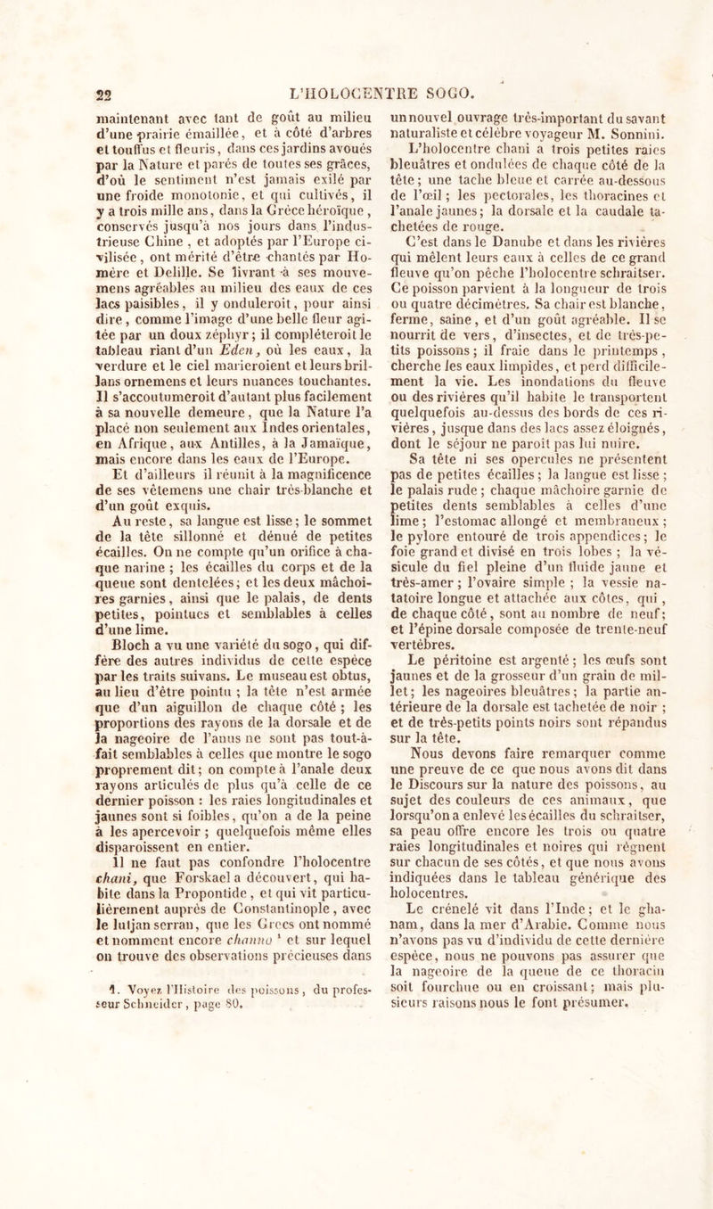 maintenant avec tant de goût au milieu d’une prairie émaillée, et à côté d’arbres et touffus et fleuris, dans ces jardins avoués par la Nature et parés de toutes ses grâces, d’où le sentiment n’est jamais exilé par une froide monotonie, et qui cultivés, il y a trois mille ans, dans la Grèce héroïque , conservés jusqu’à nos jours dans l’indus- trieuse Chine , et adoptés par l’Europe ci- vilisée , ont mérité d’être chantés par Ho- mère et Delille. Se livrant à ses mouve- mens agréables au milieu des eaux de ces lacs paisibles, il y onduleroit, pour ainsi dire , comme l’image d’une belle fleur agi- tée par un doux zéphyr; il compléteroit le tableau riant d’un Eden, où les eaux, la verdure et le ciel marieroient et leurs bril- lans ornemens et leurs nuances touchantes. Il s’accoutumeroit d’autant plus facilement à sa nouvelle demeure, que la Nature l’a placé non seulement aux Indes orientales, en Afrique, aux Antilles, à la Jamaïque, mais encore dans les eaux de l’Europe. Et d’ailleurs il réunit à la magnificence de ses vètemens une chair très blanche et d’un goût exquis. Au reste, sa langue est lisse; le sommet de la tête sillonné et dénué de petites écailles. On ne compte qu’un orifice à cha- que narine ; les écailles du corps et de la queue sont dentelées ; et les deux mâchoi- res garnies, ainsi que le palais, de dents petites, pointues et semblables à celles d’une lime. Bloch a vu une variété du sogo, qui dif- fère des autres individus de celte espèce parles traits suivans. Le museau est obtus, au lieu d’ètre pointu ; la tète n’est armée que d’un aiguillon de chaque côté ; les proportions des rayons de la dorsale et de la nageoire de l’anus ne sont pas tout-à- fait semblables à celles que montre le sogo proprement dit; on compte à l’anale deux rayons articulés de plus qu’à celle de ce dernier poisson : les raies longitudinales et jaunes sont si foibles, qu’on a de la peine à les apercevoir ; quelquefois même elles disparoissent en entier. 11 ne faut pas confondre l’holocentre chani, que Forslcacl a découvert, qui ha- bite dans la Propontide , et qui vit particu- lièrement auprès de Constantinople , avec le lutjan serran, que les Grecs ont nommé et nomment encore channo 1 et sur lequel on trouve des observations précieuses dans A Voyez l’IIistoire des poissons , du profes- seur Schneider, page 80. unnouvel ouvrage très-important du savant naturaliste et célèbre voyageur M. Sonnini. L’holocentre chani a trois petites raies bleuâtres et ondulées de chaque côté de la tête; une tache bleue et carrée au-dessous de l’œil ; les pectorales, les thoracines et l’anale jaunes ; la dorsale et la caudale ta- chetées de rouge. C’est dans le Danube et dans les rivières qui mêlent leurs eaux à celles de ce grand fleuve qu’on pêche l’holocentre schraitser. Ce poisson parvient à la longueur de trois ou quatre décimètres. Sa chair est blanche, ferme, saine, et d’un goût agréable. Il se nourrit de vers, d’insectes, et de très-pe- tits poissons ; il fraie dans le printemps , cherche les eaux limpides, et perd difficile- ment la vie. Les inondations du fleuve ou des rivières qu’il habite le transportent quelquefois au-dessus des bords de ces ri- vières , jusque dans des lacs assez éloignés, dont le séjour ne paroît pas lui nuire. Sa tête ni ses opercules ne présentent pas de petites écailles ; la langue est lisse ; le palais rude ; chaque mâchoire garnie de petites dents semblables à celles d’une lime ; l’estomac allongé et membraneux ; le pylore entouré de trois appendices ; le foie grand et divisé en trois lobes ; la vé- sicule du fiel pleine d’un fluide jaune et très-amer ; l’ovaire simple ; la vessie na- tatoire longue et attachée aux côtes, qui , de chaque côté, sont au nombre de neuf ; et l’épine dorsale composée de trente-neuf vertèbres. Le péritoine est argenté ; les œufs sont jaunes et de la grosseur d’un grain de mil- let ; les nageoires bleuâtres ; la partie an- térieure de la dorsale est tachetée de noir ; et de très-petits points noirs sont répandus sur la tête. Nous devons faire remarquer comme une preuve de ce que nous avons dit dans le Discours sur la nature des poissons, au sujet des couleurs de ces animaux, que lorsqu’on a enlevé les écailles du schraitser, sa peau offre encore les trois ou quatre raies longitudinales et noires qui régnent sur chacun de ses côtés, et que nous avons indiquées dans le tableau générique des holocentres. Le crénelé vit dans l’Inde ; et le gha- nam, dans la mer d’Arabie. Comme nous n’avons pas vu d’individu de cette dernière espèce, nous ne pouvons pas assurer que la nageoire de la queue de ce thoracin soit fourchue ou en croissant; mais plu- sieurs raisons nous le font présumer.