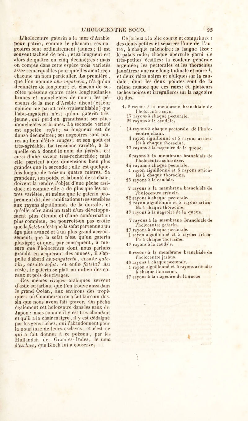 L’holoecnlre galevin a la mer d’Arabie pour patrie, comme le ghanam; ses na- geoires sont ordinairement jaunes ; il est souvent tacheté de noir ; et sa longueur est alors de quatre ou cinq décimètres : mais on compte dans celte espèce trois variétés assez remarquables pour qu’elles aient reçu chacune un nom particulier. La première , que l’on nomme abu-mgaterin, n’a qu’un décimètre de longueur; et chacun de ses côtés présente quatre raies longitudinales brunes et mouchetées de noir : les pé- cheurs de la mer d’Arabie disent (et leur opinion me paroît très-vraisemblable) que l’abu-mgaterin n’est qu’un gaterin très- jeune, qui perd en grandissant ses raies mouchétées et brunes. La seconde variété est appelée sofat ; sa longueur est de douze décimètres; ses nageoires sont noi- res au lieu d’être rouges ; et son goût est trés-agréable. La troisième variété, à la- quelle on a donné le nom de fœtela, est aussi d’une saveur très-recherchée; mais elle parvient à des dimensions bien plus grandes que la seconde ; elle est quelque- fois longue de trois ou quatre mètres. Sa grandeur, son poids, et la bonté de sa chair, doivent la rendre l’objet d’une pêche assi- due ; et comme elle a de plus que les au- tres variétés, et même que le gaterin pro- prement dit, des ramifications très-sensibles aux rayons aiguillonnés de la dorsale, et qu’elle offre ainsi un trait d’un- développe- ment plus étendu et d’une conformation plus complète, ne pourroit-on pas croire que la fœtela n’est que la sofat parvenue à un âge plus avancé et à un plus grand accrois- sement; que la sofat n’est qu’un gaterin plus âgé; et que, par conséquent, à me- sure que l’holocentre dont nous parlons grandit en acquérant des années, il s’ap- pelle d’abord abu-mgaterin , ensuite gate- rin , ensuite sofat, et enfin fœtela? Au reste, le gaterin se plaît au milieu des co- raux et près des rivages. Ces mêmes rivages arabiques servent d’asile au jarbua, que l’on trouve aussi dans le grand Océan, aux environs des tropi1- ques, où Commerson en a fait faire un des- sin que nous avons fait graver. On pêche également cet holocentre dans les eaux du Japon : mais comme il y est très-abondant et qu’ii a la chair maigre , il y est dédaigné par les gens riches, qui l’abandonnent pour la nourilure de leurs- esclaves, et c’est ce qui a fait donner à ce poisson , par les Hollandais des Grandes-Indes, le nom d'esclave, que Bloch lui a conservé. Ce jarbua a la tète courte et comprimée ; des dents petites et séparées l’une de l’au tre, à chaque mâchoire; la langue lisse; le palais rude ; chaque opercule garni de très-petites écailles ; la couleur générale argentée; les pectorales et les thoraciues jaunâtres ; une raie longitudinale et noire *, et deux raies noires et obliques sur la cau- dale , dont les deux pointes sont de la même nuance que ces raies ; et plusieurs taches noires et irrégulières sur la nageoire du dos. 1. 8 rayons à la membrane branchiale de fiholocentre sogo. 17 rayons à chaque pectorale. 29 rayons h la caudale. 15 rayons à chaque pectorale de l’holo- centre chani. 1 rayon aiguillonné et 5 rayons articu- lés à chaque thoracine. 17 rayons à la nageoire de la queue. 6 rayons à la membrane branchiale de l’holocentre schraitser. 14 rayons à chaque pectorale, 1 rayon aiguillonné et 5 rayons articu- lés à chaque thoracine. 45 rayons à la caudale. 7 rayons à la membrane branchiale de l’holocentre crénelé. 12 rayons à chaque pectorale. 1 rayon aiguillonné et 5 rayons articu- lés à chaque thoracine. 17 rayons à la nageoire de ta queue. 7 rayons h la membrane branchiale de l’holocentre gaterin. 17 rayons à chaque pectorale. 1 rayon aiguillonné et 5 rayons articu- lés à chaque thoracine. 17 rayons à la caudale. 6 rayons à la membrane branchiale do l’holocentre jarbua. 18 rayons à chaque pectorale. 1 rayon aiguillonné et 5 rayons articulés à chaque thoracine. 47 rayons à la nageoire de la queue