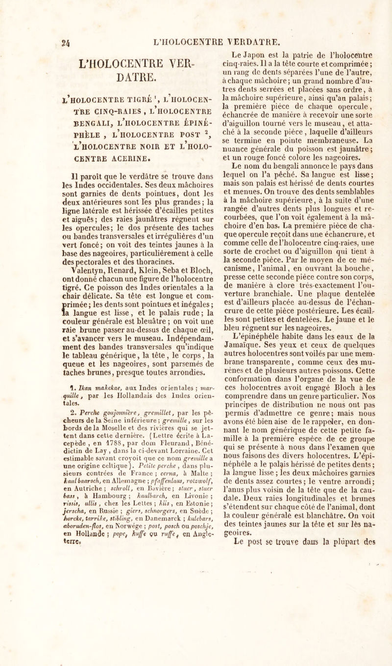 L'HOLOCENTRE VER- DATRE. l’holocentre tigré l’iiolocen- TRE CINQ-RAIES , l’iIOLOCENTRE BENGALI, L’iIOLOCENTRE ÉPINÉ- PHÉLE , LTlOLOCENTRE POST 1 2, l’hOLOCENTRE NOIR ET l’hOLO- CENTRE ACERINE. 11 paroît que le verdâtre se trouve dans les Indes occidentales. Ses deux mâchoires sont garnies de dents pointues, dont les deux antérieures sont les plus grandes ; la ligne latérale est hérissée d’écailles petites et aiguës; des raies jaunâtres régnent sur les opercules; le dos présente des taches ou bandes transversales et irrégulières d’un vert foncé ; on voit des teintes jaunes à la base des nageoires, particulièrement à celle des pectorales et des thoracines. Valentyn, Renard, Klein, Seba et Bloch, ont donné chacun une figure de l’holocentre tigré. Ce poisson des Indes orientales a la chair délicate. Sa tête est longue et com- i&gt;rimée ; les dents sont pointues et inégales ; a langue est lisse, et le palais rude ; la couleur générale est bleuâtre ; on voit une raie brune passer au-dessus de chaque œil, et s’avancer vers le museau. Indépendam- ment des bandes transversales qu’indique le tableau générique, la tête, le corps, la queue et les nageoires, sont parsemés de taches brunes, presque toutes arrondies. 1. Ikan makekae, aux Indes orientales ; mar- tjuille, par les Hollandais des Indes orien- tales. 2. Perche gouj'onni'ere, gremillet, par les pê- cheurs delà Seine inférieure; gremille, sur les bords delà Moselle et des rivières qui se jet- tent dans cette dernière. (Lettre écrite à La- cepède , en 1788, par dom Fleurand, Béné- dictin de Lay , dans la ci-devant Lorraine. Cet estimable savant croyoit que ce nom gremille a une origine celtique ). Petite perche , dans plu- sieurs contrées de France ; cerna, h Malte ; laulbaarsch, en Allemagne ; pfaffenlaus, roizxvolf, en Autriche ; schroll, en Bavière; stuer, stuer hass , à Hambourg ; kaulbarch, en Livonie ; rissis, ullis , chez les Lettes ; kiis , en Estonie; jerscha, en Russie ; giers, schfiorgers, en Suède ; horcke, tarrike, stibling, en Danemarck ; kulebars, aboruden-flos, en Norwége ; post, posch ou poschje, en Hollande ; popcf kuffe pu ruffe, en Angle- terre) Le Japon est la patrie de l’holocentre cinq-raies. Il a la tète courte et comprimée ; un rang de dents séparées l’une de l’autre, à chaque mâchoire ; un grand nombre d’au- tres dents serrées et placées sans ordre, à la mâchoire supérieure, ainsi qu’au palais; la première pièce de chaque opercule, échancrée de manière à recevoir une sorte d’aiguillon tourné vers le museau, et atta- ché à la seconde pièce , laquelle d’ailleurs se termine en pointe membraneuse. La nuance générale du poisson est jaunâtre ; et un rouge foncé colore les nageoires. Le nom du bengali annonce le pays dans lequel on l’a pêché. Sa langue est lisse ; mais son palais est hérissé de dents courtes et menues. On trouve des dents semblables à la mâchoire supérieure, à la suite d’une rangée d’autres dents plus longues et re- courbées, que l’on voit également à la mâ- choire d’en bas, La première pièce de cha- que opercule reçoit dans une échancrure, et comme celle de l’holocentre cinq-raies, une sorte de crochet ou d’aiguillon qui tient à la seconde pièce. Par le moyen de ce mé- canisme, l’animal, en ouvrant la bouche, presse cette seconde pièce contre son corps, de manière à clore très-exactement l’ou- verture branchiale. Une plaque dentelée est d’ailleurs placée au-dessus de l’échan- crure de cette pièce postérieure. Les écailr les sont petites et dentelées. Le jaune et le bleu régnent sur les nageoires. L’épinéphéle habile dans les eaux de la Jamaïque. Ses yeux et ceux de quelques autres holocentres sont voilés par une mem- brane transparente, comme ceux des mu- rènes et de plusieurs autres poissons. Cette conformation dans l’organe de la vue de ces holocentres avoit engagé Bloch à les comprendre dans un genre particulier. Nos principes de distribution ne nous ont pas permis d’admettre ce genre; mais nous avons été bien aise de le rappeler, en don- nant le nom générique de cette petite fa- mille à la première espèce de ce groupe qui se présente à nous dans l’examen que nous faisons des divers holocentres. L’épi- néphèle a le palais hérissé de petites dents ; la langue lisse ; les deux mâchoires garnies de dents assez courtes; le ventre arrondi; l’anus plus voisin de la tête que de la cau- dale. Deux raies longitudinales et brunes s’étendent sur chaque coté de l’animal, dont la couleur générale est blanchâtre. On voit des teintes jaunes sur la tète et sur lès na- geoires. Le post se trouve dans la plupart des