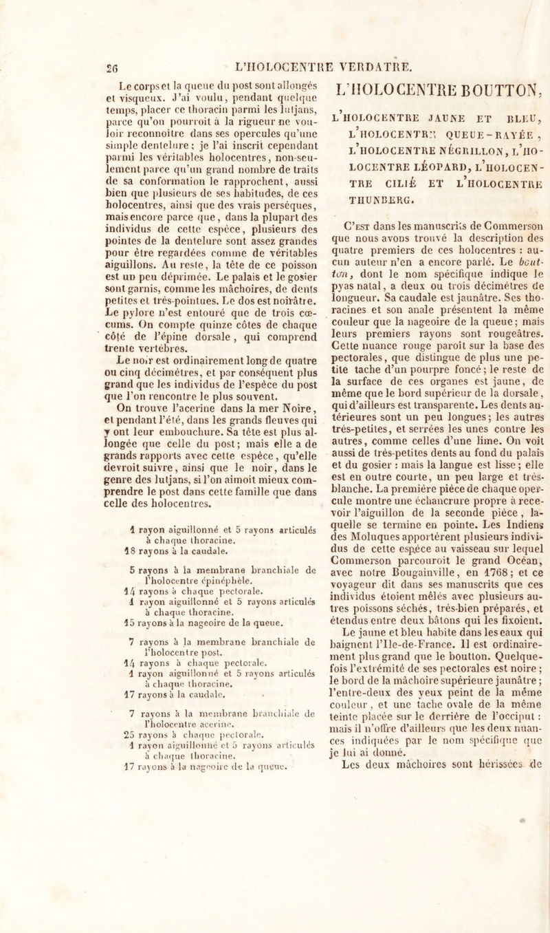 Le corps et la queue du post sont allongés et visqueux. J’ai voulu, pendant quelque temps, placer ce thoracin parmi les lutjans, parce qu’on pourrait à la rigueur ne vou- loir reconnoître dans ses opercules qu’une simple dentelure ; je l’ai inscrit cependant parmi les véritables holocentres, non-seu- lement parce qu’un grand nombre de traits de sa conformation le rapprochent, aussi bien que plusieurs de ses habitudes, de ces holocentres, ainsi que des vrais perséques, mais encore parce que, dans la plupart des individus de cette espèce, plusieurs des pointes de la dentelure sont assez grandes pour être regardées comme de véritables aiguillons. Au reste, la tcte de ce poisson est un peu déprimée. Le palais et le gosier sont garnis, comme les mâchoires, de dents petites et très-pointues. Le dos est noirâtre. Le pylore n’est entouré que de trois cæ- cums. On compte quinze côtes de chaque côté de l’épine dorsale , qui comprend trente vertèbres. Le noir est ordinairement long de quatre ou cinq décimètres, et par conséquent plus grand que les individus de l’espèce du post que l’on rencontre le plus souvent. On trouve l’acerine dans la mer Noire, et pendant l’été, dans les grands fleuves qui y ont leur embouchure. Sa tête est plus al- longée que celle du post ; mais elle a de grands rapports avec cette espèce , qu’elle devrait suivre, ainsi que le noir, dans le genre des lutjans, si l’on aimoit mieux com- prendre le post dans cette famille que dans celle des holocentres. 1 rayon aiguillonné et 5 rayons articulés à chaque thoracine. 18 rayons à la caudale. 5 rayons à la membrane branchiale de l’holocentre épinéphèle. 14 rayons à chaque pectorale. 1 rayon aiguillonné et 5 rayons articulés à chaque thoracine. 15 rayons à la nageoire de la queue. 7 rayons à la membrane branchiale de l’holocentre post. 14 rayons à chaque pectorale. 1 rayon aiguillonné et 5 rayons articulés à chaque thoracine. 17 rayons à la caudale. 7 rayons h la membrane branchiale de l’holocentre acerine. 25 rayons k chaque pectorale. 1 rayon aiguilloniic et 5 rayons articulés à chaque thoracine. 17 rayons à la nageoire de la queue. LIIQLO CENTRE BOETTON, l’holocentre jaune et bleu, l’holocentr:’. queue-rayée , l’iIOLOCENTRE NÉGRILLON, l’iIO- LOCENTRE LÉOPARD, l’hOLOCEN- TRE CILIÉ ET L’HOLOCENTRE TIIUNBERG. C’est dans les manuscrits de Commerson que nous avons trouvé la description des quatre premiers de ces holocentres : au- cun auteur n’en a encore parlé. Le bout- tan, dont le nom spécifique indique le pyas natal, a deux ou trois décimètres de longueur. Sa caudale est jaunâtre. Ses tho- racines et son anale présentent la même couleur que la nageoire de la queue; mais leurs premiers rayons sont rougeâtres. Cette nuance rouge paraît sur la base des pectorales, que distingue de plus une pe- tite tache d’un pourpre foncé ; le reste de la surface de ces organes est jaune, de même que le bord supérieur de la dorsale, qui d’ailleurs est transparente. Les dents an- térieures sont un peu longues ; les autres très-petites, et serrées les unes contre les autres, comme celles d’une lime. On voit aussi de très-petites dents au fond du palais et du gosier : mais la langue est lisse ; elle est en outre courte, un peu large et très- blanche. La première pièce de chaque oper- cule montre une échancrure propre à rece- voir l’aiguillon de la seconde pièce, la- quelle se termine en pointe. Les Indiens des Moluques apportèrent plusieurs indivi- dus de cette espèce au vaisseau sur lequel Commerson parcourait le grand Océan, avec notre Bougainville, en 1768 ; et ce voyageur dit dans ses manuscrits que ces individus étoient mêlés avec plusieurs au- tres poissons séchés, très-bien préparés, et étendus entre deux bâtons qui les fixoient. Le jaune et bleu habite dans les eaux qui baignent l’Ile-de-France. 11 est ordinaire- ment plus grand que le boutton. Quelque- fois l’extrémité de ses pectorales est noire ; le bord de la mâchoire supérieure jaunâtre ; l’entre-deux des yeux peint de la même couleur, et une tache ovale de la même teinte placée sur le derrière de l’occiput : mais il n’offre d’ailleurs que les deux nuan- ces indiquées par le nom spécifique que je lui ai donné. Les deux mâchoires sont hérissées de