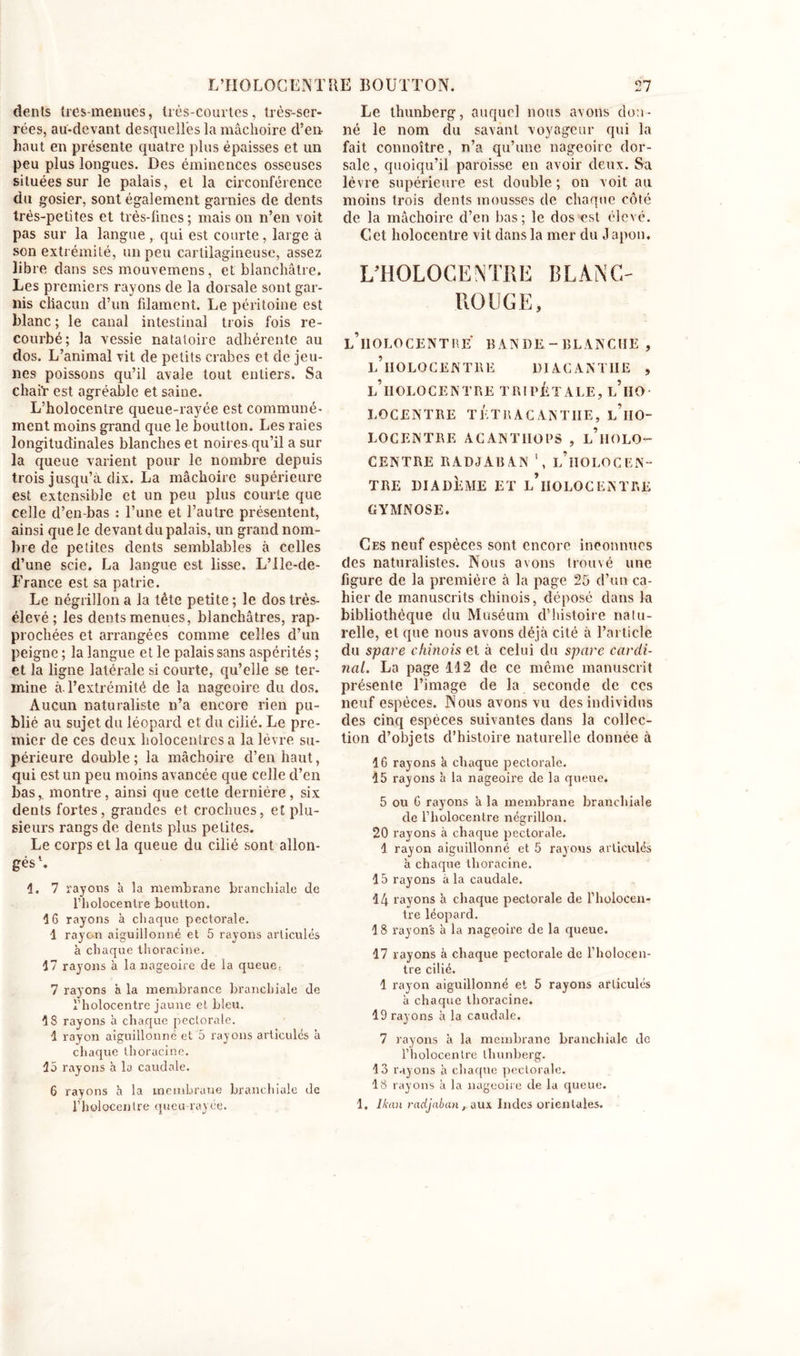 dents Ires-menues, très-courtes, très-ser- rées, au-devant desquelles la mâchoire d’en- haut en présente quatre plus épaisses et un peu plus longues. Des éminences osseuses situées sur le palais, et la circonférence du gosier, sont également garnies de dents très-petites et très-fines ; mais on n’en voit pas sur la langue, qui est courte, large à son extrémité, un peu cartilagineuse, assez libre dans ses mouvemens, et blanchâtre. Les premiers rayons de la dorsale sont gar- nis chacun d’un filament. Le péritoine est blanc ; le canal intestinal trois fois re- courbé; la vessie natatoire adhérente au dos. L’animal vit de petits crabes et de jeu- nes poissons qu’il avale tout entiers. Sa chai'r est agréable et saine. L’holocentre queue-rayée est communé- ment moins grand que le boutton. Les raies longitudinales blanches et noires qu’il a sur la queue varient pour le nombre depuis trois jusqu’à dix. La mâchoire supérieure est extensible et un peu plus courte que celle d’en-bas : l’une et l’autre présentent, ainsi que le devant du palais, un grand nom- bre de petites dents semblables à celles d’une scie. La langue est lisse. L’Ile-de- France est sa patrie. Le négrillon a la tête petite ; le dos très- élevé ; les dents menues, blanchâtres, rap- prochées et arrangées comme celles d’un peigne ; la langue et le palais sans aspérités ; et la ligne latérale si courte, qu’elle se ter- mine à-l’extrémité de la nageoire du dos. Aucun naturaliste n’a encore rien pu- blié au sujet du léopard et du cilié. Le pre- mier de ces deux holocentresa la lèvre su- périeure double ; la mâchoire d’en haut, qui est un peu moins avancée que celle d’en bas,, montre, ainsi que cette dernière, six dents fortes, grandes et crochues, et plu- sieurs rangs de dents plus petites. Le corps et la queue du cilié sont allon- gés1. 4. 7 rayons à la membrane branchiale de l’holocentre boutton. 4 6 rayons à chaque pectorale. 1 rayon aiguillonné et 5 rayons articulés à chaque thoracine. 17 rayons à la nageoire de la queue: 7 rayons h la membrance branchiale de l’holocentre jaune et bleu. 18 rayons à chaque pectorale. 1 rayon aiguillonné et 5 rayons articulés à chaque thoracine. 15 rayons à la caudale. 6 rayons h la membrane branchiale de fliolocentre queu rayée. Le thunberg, auquel nous avons don- né le nom du savant voyageur qui la fait connoître, n’a qu’une nageoire dor- sale , quoiqu’il paroisse eu avoir deux. Sa lèvre supérieure est double ; on voit au moins trois dents mousses de chaque côté de la mâchoire d’en bas; le dos est élevé. Cet holocentre vit dans la mer du Japon. L’HOLOCENTRE BLANC- BOUGE, L’HOLOCENTRE BAN DE - BLANCHE , l’iIOLOCENTRE DIACANT1IE , l’iiolocentre tri rit t ale, l’ho- locentre TÉTRACANTHE, LIIO- EOCENTRE ÀCANTIIOPS , L’iIOLO- CENTRE RADJARAN \ l’IIO ROC EN- TRE diadFme et l’iiolocentre GYMNOSE. Ces neuf espèces sont encore inconnues des naturalistes. Nous avons trouvé une figure de la première à la page 25 d’un ca- hier de manuscrits chinois, déposé dans la bibliothèque du Muséum d’histoire natu- relle, et que nous avons déjà cité à l’article du spave chinois et à celui du spave cardi- nal. La page 112 de ce même manuscrit présente l’image de la seconde de ces neuf espèces. Nous avons vu des individus des cinq espèces suivantes dans la collec- tion d’objets d’histoire naturelle donnée à 16 rayons k chaque pectorale. 45 rayons k la nageoire de la queue. 5 ou 6 rayons k la membrane branchiale de l’holocentre négrillon. 20 rayons à chaque pectorale. 4 rayon aiguillonné et 5 rayoxis articulés k chaque thoracine. 45 rayons à la caudale. 44 rayons k chaque pectorale de l’holocen- tre léopard. 48 rayons k la nageoire de la queue. 47 rayons à chaque pectorale de fholocen- tre cilié. 4 rayon aiguillonné et 5 rayons articulés k chaque thoracine. 49 rayons k la caudale. 7 rayons k la membrane branchiale de l’holocentre thunberg. 43 rayons k chaque pectorale. 18 rayons k la nageoire de la queue. 1, Ikan radjaban, au* Indes orientales.
