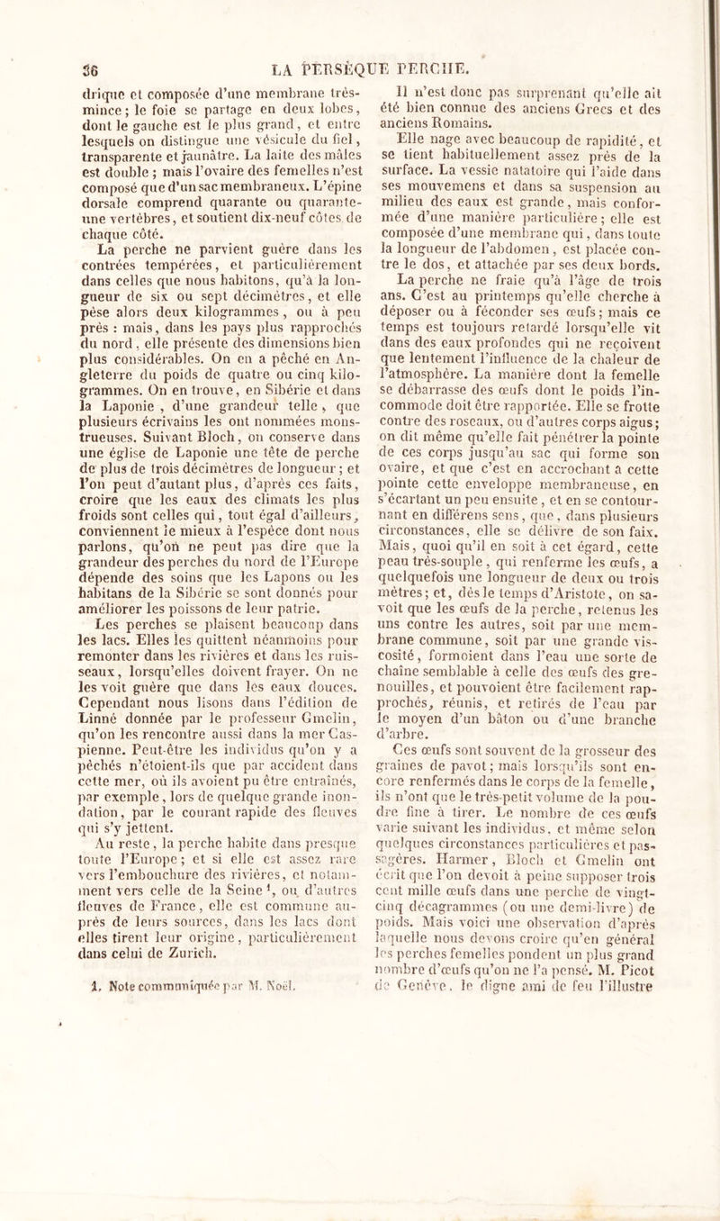 driquc et composée d’une membrane très- mince ; le foie se partage en deux lobes, dont le gauche est le plus grand, et entre lesquels on distingue une vésicule du bel, transparente et jaunâtre. La laite des mâles est double ; mais P ovaire des femelles n’est composé que d’un sac membraneux. L’épine dorsale comprend quarante ou quarantc- une vertèbres, et soutient dix-neuf côtes de chaque côté. La perche ne parvient guère dans les contrées tempérées, et particulièrement dans celles que nous habitons, qu’à la lon- gueur de six ou sept décimètres, et elle pèse alors deux kilogrammes , ou à peu près : mais, dans le9 pays plus rapprochés du nord , elle présente des dimensions bien plus considérables. On en a pêché en An- gleterre du poids de quatre ou cinq kilo- grammes. On en trouve, en Sibérie et dans la Laponie , cl’une grandeur telle &gt; que plusieurs écrivains les ont nommées mons- trueuses. Suivant Bloch, on conserve dans une église de Laponie une tête de perche de plus de trois décimètres de longueur ; et l’on peut d’autant plus, d’après ces faits, croire que les eaux des climats les plus froids sont celles qui, tout égal d’ailleurs, conviennent le mieux à l’espèce dont nous parlons, qu’on ne peut pas dire que la grandeur des perches du nord de l’Europe dépende des soins que les Lapons ou les habitans de la Sibérie se sont donnés pour améliorer les poissons de leur patrie. Les perches se plaisent beaucoup dans les lacs. Elles les quittent néanmoins pour remonter dans les rivières et dans les ruis- seaux , lorsqu’elles doivent frayer. On ne les voit guère que dans les eaux douces. Cependant nous lisons dans l’édition de Linné donnée par le professeur Gmelin, qu’on les rencontre aussi dans la mer Cas- pienne. Peut-être les individus qu’on y a pêchés n’étoient-iîs que par accident dans cette mer, où ils avoient pu être entraînés, par exemple, lors de quelque grande inon- dation, par le courant rapide des fleuves qui s’y jettent. Au reste, la perche habite dans presque toute l’Europe ; et si elle est assez rare vers l’embouchure des rivières, et notam- ment vers celle de la Seine *, ou d’autres fleuves de France, elle est commune au- près de leurs sources, dans les lacs dont elles tirent leur origine, particulièrement dans celui de Zurich. Il n’est donc pas surprenant qu’elle ait été bien connue des anciens Grecs et des anciens Romains. Elle nage avec beaucoup de rapidité, et se lient habituellement assez près de la surface. La vessie natatoire qui l’aide dans ses mouvemens et dans sa suspension au milieu des eaux est grande, mais confor- mée d’une manière particulière ; elle est composée d’une membrane qui, dans toute la longueur de l’abdomen, est placée con- tre le dos, et attachée par ses deux bords. La porche ne fraie qu’à l’âge de trois ans. C’est au printemps qu’elle cherche à déposer ou à féconder ses œufs; mais ce temps est toujours retardé lorsqu’elle vit dans des eaux profondes qui ne reçoivent que lentement l’influence de la chaleur de l’atmosphère. La manière dont la femelle se débarrasse des œufs dont le poids l’in- commode doit être rapportée. Elle se frotte contre des roseaux, ou d’autres corps aigus; on dit même qu’elle fait pénétrer la pointe de ces corps jusqu’au sac qui forme son ovaire, et que c’est en accrochant a cette pointe cette enveloppe membraneuse, en s’écartant un peu ensuite, et en se contour- nant en différens sens, que. dans plusieurs circonstances, elle se délivre de son faix. Mais, quoi qu’il en soit à cet égard, cette peau très-souple , qui renferme les œufs, a quelquefois une longueur de deux ou trois mètres; et, dès le temps d’Aristote, on sa- voit que les œufs de 3a perche, retenus les uns contre les autres, soit par une mem- brane commune, soit par une grande vis- cosité, formoient dans l’eau une sorte de chaîne semblable à celle des œufs des gre- nouilles, et pouvoient être facilement rap- prochés, réunis, et retirés de l’eau par le moyen d’un bâton ou d’une branche d’arbre. Ces œufs sont souvent de la grosseur des graines de pavot ; mais lorsqu’ils sont en- core renfermés dans le corps de la femelle, ils n’ont que le très-petit volume de la pou- dre fine à tirer. Le nombre de ces œufs varie suivant les individus, et même selon quelques circonstances particulières et pas- sagères. Harmer, Bloch et Gmelin ont écrit que l’on devoit à peine supposer trois ccnt mille œufs dans une perche de vingt- cinq décagrammes (ou une demi-livre) de poids. Mais voici une observation d’après laquelle nous devons croire qu’en général les perches femelles pondent un plus grand nombre d’œufs qu’ou ne l’a pensé. M. Picot do Genève, le digne ami de feu l’illustre 1, Note comminuquéo par M. Noël.