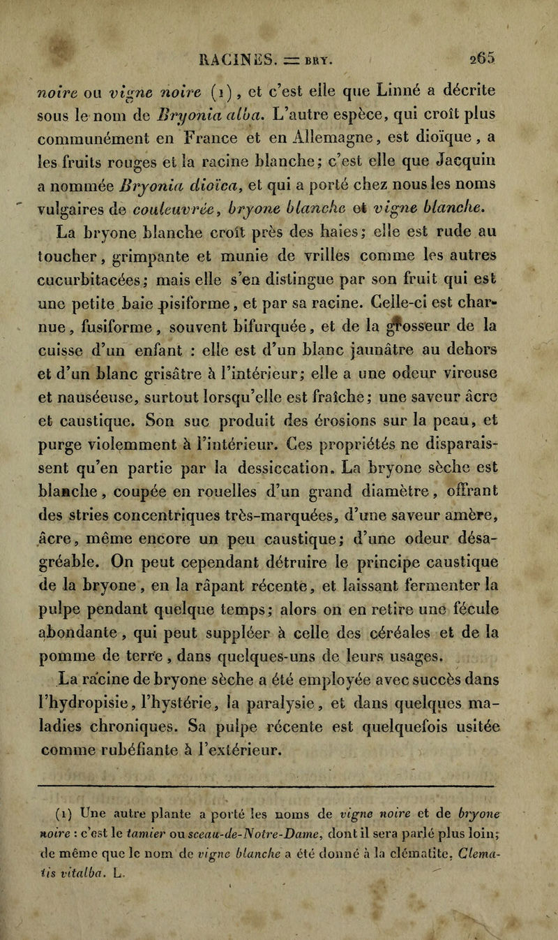 noire ou vigne noire (i), et c’est elle que Linné a décrite sous le nom de Bryonia alba. L’autre espèce, qui croît plus communément en France et en Allemagne, est dioïque , a les fruits rouges et la racine blanche; c’est elle que Jacquin a nommée Bryonia dioïca, et qui a porté chez nous les noms vulgaires de couleuvrée, bryone blanche et vigne blanche. La bryone blanche croît près des haies; elle est rude au toucher, grimpante et munie de vrilles comme les autres cucurbitacées; mais elle s’en distingue par son fruit qui est une petite baie ^pisiforme, et par sa racine. Celle-ci est char- nue , fusiforme, souvent bifurquée, et de la ^osseur de la cuisse d’un enfant : elle est d’un blanc jaunâtre au dehors et d’un blanc grisâtre à l’intérieur; elle a une odeur vireuse et nauséeuse, surtout lorsqu’elle est fraîche; une saveur âcre et caustique. Son suc produit des érosions sur la peau, et purge violemment à l’intérieur. Ces propriétés ne disparais- sent qu’en partie par la dessiccation. La bryone sèche est blanche, coupée en rouelles d’un grand diamètre, offrant des stries concentriques très-marquées, d’une saveur amère, âcre, même encore un peu caustique; d’une odeur désa- gréable. On peut cependant détruire le principe caustique de la bryone, en la râpant récente, et laissant fermenter la pulpe pendant quelque temps; alors on en retire une fécule abondante, qui peut suppléer à celle des céréales et de la pomme de terre, dans quelques-uns de leurs usages. La racine de bryone sèche a été employée avec succès dans l’hydropisie, l’hystérie, la paralysie, et dans quelques ma- ladies chroniques. Sa pulpe récente est quelquefois usitée comme rubéfiante à l’extérieur. (1) Une autre plante a porté les noms de vigne noire et de bryone noire : c’Gst le tamier on sceau-de-Notre-Dame, dont il sera parlé plus loin; de même que le nom de vigne blanche a. été donné à la clématite. Clema- iis vitalba. L.