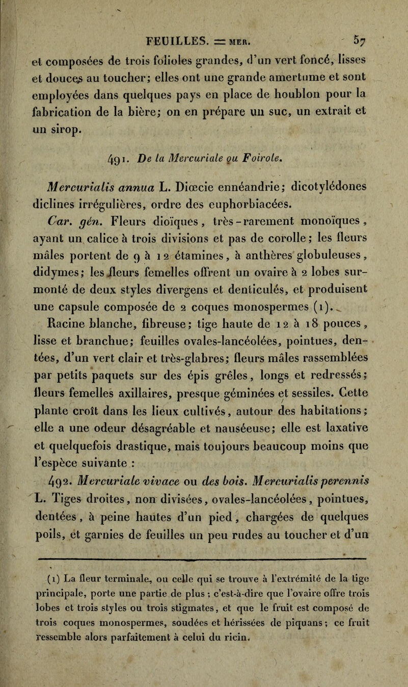 et composées de trois folioles grandes, d’un vert foncé, lisses et douces au toucher; elles ont une grande amertume et sont employées dans quelques pays en place de houblon pour la fabrication de la bière; on en prépare un suc, un extrait et un sirop. 491. De la Mercuriale ou Foiroie. Mercurialis annua L. Diœcie ennéandrie; dicotylédones diclines irrégulières, ordre des euphorbiacées. Car. gén. Fleurs dioïques, très - rarement monoïques, ayant un calice à trois divisions et pas de corolle; les fleurs mâles portent de 9 à 12 étamines, à anthères globuleuses, didymes ; les ileurs femelles offrent un ovaire à 2 lobes sur- monté de deux styles divergens et denticulés, et produisent une capsule composée de 2 coques monospermes (1).. Racine blanche, fibreuse; tige haute de 12 à 18 pouces, lisse et branchue; feuilles ovales-lancéolées, pointues, den- tées, d’un vert clair et très-glabres; fleurs mâles rassemblées par petits paquets sur des épis grêles, longs et redressés; Heurs femelles axillaires, presque géminées et sessiles. Cette plante croît dans les lieux cultivés, autour des habitations; elle a une odeur désagréable et nauséeuse; elle est laxative et quelquefois drastique, mais toujours beaucoup moins que l’espèce suivante : 492. Mercuriale vivace ou des bois. Mercurialis perennis L. Tiges droites, non divisées, ovales-lancéolées, pointues, dentées , à peine hautes d’un pied, chargées de quelques poils, et garnies de feuilles un peu rudes au toucher et d’un (1) La fleur terminale, ou celle qui se trouve à l’extrémité de la tige principale, porte une partie de plus ; c’est-à-dire que l’ovaire offre trois lobes et trois styles ou trois stigmates, et que le fruit est composé de trois coques monospermes, soudées et hérissées de piquans ; ce fruit ressemble alors parfaitement à celui du ricin.