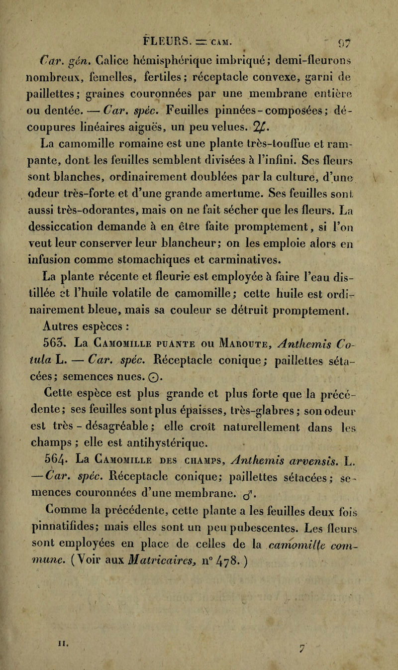 Car. gén. Calice hémisphérique imbriqué; demi-fleurons nombreux, femelles, fertiles; réceptacle convexe, garni de paillettes; graines couronnées par une membrane entière ou dentée. — Car, spéc. Feuilles pinnées-composées; dé- coupures linéaires aiguës, un peu velues. La camomille romaine est une plante très-touffue et ram- pante, dont les feuilles semblent divisées à l’infini. Ses fleurs sont blanches, ordinairement doublées par la culture, d’une odeur très-forte et d’une grande amertume. Ses feuilles sont aussi très-odorantes, mais on ne fait sécher que les fleurs. La dessiccation demande à en être faite promptement, si l’on veut leur conserver leur blancheur; on les emploie alors en infusion comme stomachiques et carminatives. La plante récente et fleurie est employée à faire l’eau dis- tillée et l’huile volatile de camomille ; cette huile est ordi- nairement bleue, mais sa couleur se détruit promptement. Autres espèces : 563. La Camomille puante ou Maroute, Anthémis Co- lulah.— Car. spéc. Réceptacle conique; paillettes séta- cées; semences nues. O. Cette espèce est plus grande et plus forte que la précé- dente; ses feuilles sont plus épaisses, très-glabres; son odeur est très - désagréable ; elle croît naturellement dans les champs ; elle est antihystérique. 564- La Camomille des champs. Anthémis arvensis. L. — Car. spéc. Réceptacle conique; paillettes sétacées; se- mences couronnées d’une membrane, çf. Comme la précédente, cette plante a les feuilles deux fois pinnatifides; mais elles sont un peu pubescentes. Les fleurs sont employées en place de celles de la camomille com- mime. (Voir aux Matricaires, n° 478- ) 11. 7