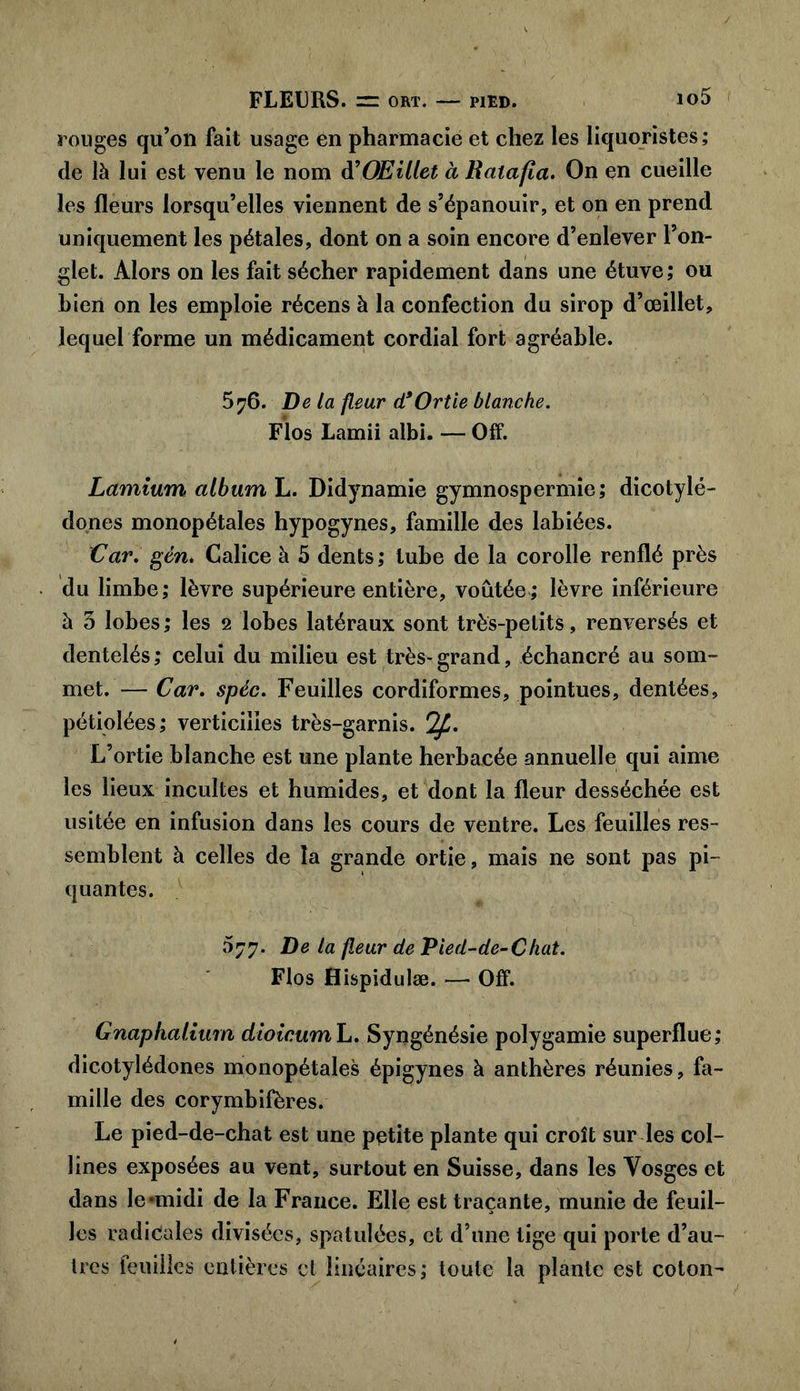 FLEURS. = ort. — pied. io5 rouges qu’on fait usage en pharmacie et chez les liquoristes; de là lui est venu le nom K Œillet à Ratafia. On en cueille les fleurs lorsqu’elles viennent de s’épanouir, et on en prend uniquement les pétales, dont on a soin encore d’enlever l’on- glet. Alors on les fait sécher rapidement dans une étuve; ou bien on les emploie récens à la confection du sirop d’œillet, lequel forme un médicament cordial fort agréable. 576. De la fleur d*Ortie blanche. Flos Lamii albi. — Off. Lamium album L. Didynamie gymnospermie; dicotylé- dones monopétales hypogynes, famille des labiées. Car. gên. Calice à 5 dents; tube de la corolle renflé près du limbe; lèvre supérieure entière, voûtée; lèvre inférieure à 3 lobes ; les 2 lobes latéraux sont très-petits, renversés et dentelés; celui du milieu est très-grand, échancré au som- met. — Car. spéc. Feuilles cordiformes, pointues, dentées, pétiolées; verticilies très-garnis. r2p. L’ortie blanche est une plante herbacée annuelle qui aime les lieux incultes et humides, et dont la fleur desséchée est usitée en infusion dans les cours de ventre. Les feuilles res- semblent à celles de la grande ortie, mais ne sont pas pi- quantes. 077. De la fleur de Pied-de-Chat. Flos Hispidulæ. — Off. Gnaphalium dioicumL. Syngénésie polygamie superflue; dicotylédones monopétales épigynes à anthères réunies, fa- mille des corymbifères. Le pied-de-chat est une petite plante qui croît sur les col- lines exposées au vent, surtout en Suisse, dans les Vosges et dans le*midi de la France. Elle est traçante, munie de feuil- les radicales divisées, spatulées, et d’une tige qui porte d’au- tres feuilles entières et linéaires; toute la plante est coton-